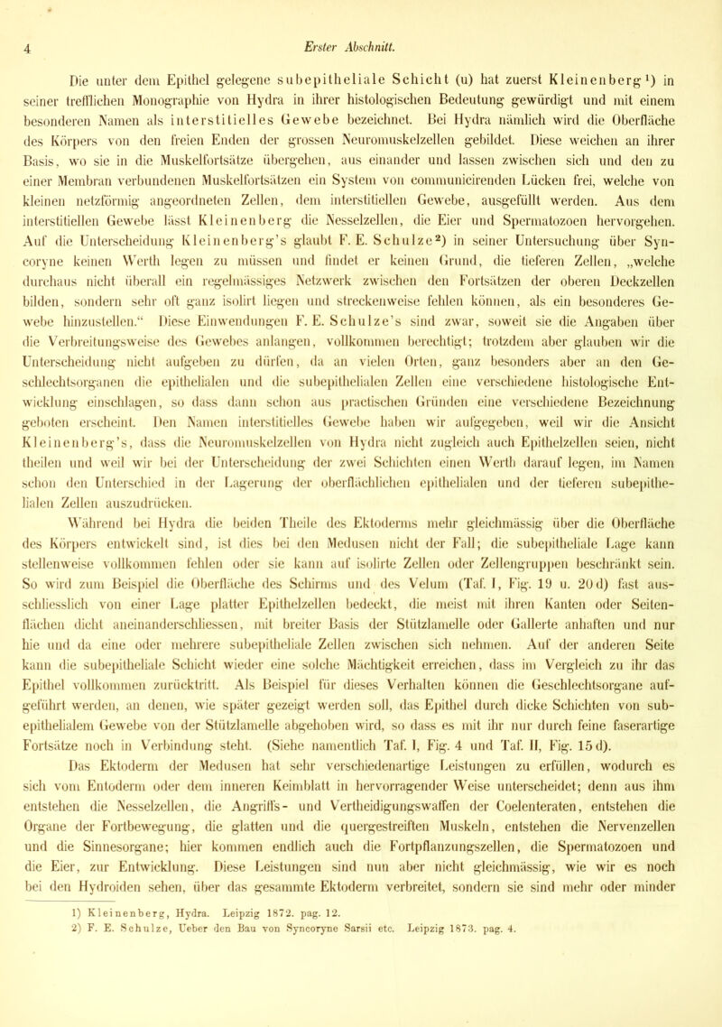 Die unter dem Epithel gelegene subepitheliale Schicht (u) hat zuerst Kleinenberg1) in seiner trefflichen Monographie von Hydra in ihrer histologischen Bedeutung gewürdigt und mit einem besonderen Namen als interstitielles Gewebe bezeichnet. Bei Hydra nämlich wird die Oberfläche des Körpers von den freien Enden der grossen Neuromuskelzellen gebildet. Diese weichen an ihrer Basis, wo sie in die Muskelfortsätze übergehen, aus einander und lassen zwischen sich und den zu einer Membran verbundenen Muskelfortsätzen ein System von eommunicirenden Lücken frei, welche von kleinen netzförmig angeordneten Zellen, dem interstitiellen Gewebe, ausgefüllt werden. Aus dem interstitiellen Gewebe lässt Kleinenberg die Nesselzellen, die Eier und Spermatozoen hervorgehen. Auf die Unterscheidung Kleinenberg’s glaubt F. E. Schulze2) in seiner Untersuchung über Syn- coryne keinen Werth legen zu müssen und findet er keinen Grund, die tieferen Zellen, „welche durchaus nicht überall ein regelmässiges Netzwerk zwischen den Fortsätzen der oberen Deckzellen bilden, sondern sehr oft ganz isolirt liegen und streckenweise fehlen können, als ein besonderes Ge- webe hinzustellen.“ Diese Einwendungen F. E. Schulze’s sind zwar, soweit sie die Angaben über die Verbreitungsweise des Gewebes anlangen, vollkommen berechtigt; trotzdem aber glauben wir die Unterscheidung nicht aufgeben zu dürfen, da an vielen Orten, ganz besonders aber an den Ge- schlechtsorganen die epithelialen und die subepithelialen Zellen eine verschiedene histologische Ent- wicklung einschlagen, so dass dann schon aus practischen Gründen eine verschiedene Bezeichnung geboten erscheint. Den Namen interstitielles Gewebe haben wir aufgegeben, weil wir die Ansicht Kleinenberg’s, dass die Neuromuskelzellen von Hydra nicht zugleich auch Epithelzellen seien, nicht theilen und weil wir bei der Unterscheidung der zwei Schichten einen Werth darauf legen, im Namen schon den Unterschied in der Lagerung der oberflächlichen epithelialen und der tieferen subepithe- lialen Zellen auszudrücken. Während bei Hydra die beiden Theile des Ektoderms mehr gleichmässig über die Oberfläche des Körpers entwickelt sind, ist dies bei den Medusen nicht der Fall; die subepitheliale Lage kann stellenweise vollkommen fehlen oder sie kann auf isolirte Zellen oder Zellengruppen beschränkt sein. So wird zum Beispiel die Oberfläche des Schirms und des Velum (Taf. I, Fig. 19 u. 20 d) fast aus- schliesslich von einer Lage platter Epithelzellen bedeckt, die meist mit ihren Kanten oder Seiten- flächen dicht aneinanderschliessen, mit breiter Basis der Stützlamelle oder Gallerte anhaften und nur hie und da eine oder mehrere subepitheliale Zellen zwischen sich nehmen. Auf der anderen Seite kann die subepitheliale Schicht wieder eine solche Mächtigkeit erreichen, dass im Vergleich zu ihr das Epithel vollkommen zurücktritt. Als Beispiel für dieses Verhalten können die Geschlechtsorgane auf- geführt werden, an denen, wie später gezeigt werden soll, das Epithel durch dicke Schichten von sub- epithelialem Gewebe von der Stützlamelle abgehoben wird, so dass es mit ihr nur durch feine faserartige Fortsätze noch in Verbindung steht. (Siehe namentlich Taf. I, Fig. 4 und Taf. 11, Fig. 15 d). Das Ektoderm der Medusen hat sehr verschiedenartige Leistungen zu erfüllen, wodurch es sich vom Entoderm oder dem inneren Keimblatt in hervorragender Weise unterscheidet; denn aus ihm entstehen die Nesselzellen, die Angriffs- und Vertheidigungswaffen der Coelenteraten, entstehen die Organe der Fortbewegung, die glatten und die quergestreiften Muskeln, entstehen die Nervenzellen und die Sinnesorgane; hier kommen endlich auch die Fortpflanzungszellen, die Spermatozoen und die Eier, zur Entwicklung. Diese Leistungen sind nun aber nicht gleichmässig, wie wir es noch bei den Hydroiden sehen, über das gesammte Ektoderm verbreitet, sondern sie sind mehr oder minder 1) Kleinenberg, Hydra. Leipzig 1872. pag. 12. 2) F. E. Schulze, lieber den Bau von Syncoryne Sarsii etc. Leipzig 1873. pag. 4.