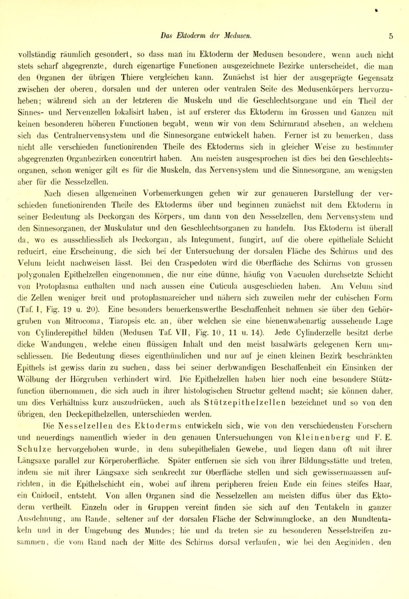 vollständig räumlich gesondert, so dass mail im Ektoderm der Medusen besondere, wenn auch nicht stets scharf abgegrenzte, durch eigenartige Functionen ausgezeichnete Bezirke unterscheidet, die man den Organen der übrigen Thiere vergleichen kann. Zunächst ist hier der ausgeprägte Gegensatz zwischen der oberen, dorsalen und der unteren oder ventralen Seite des Medusenkörpers hervorzu- heben; während sich an der letzteren die Muskeln und die Geschlechtsorgane und ein Theil der Sinnes- und Nervenzellen lokalisirt haben, ist auf ersterer das Ektoderm im Grossen und Ganzen mit keinen besonderen höheren Functionen begabt, wenn wir von dem Schirmrand absehen, an welchem sich das Centralnervensystem und die Sinnesorgane entwickelt haben. Ferner ist zu bemerken, dass nicht alle verschieden functionirenden Theile des Ektoderms sich in gleicher Weise zu bestimmter abgegrenzten Organbezirken concentrirt haben. Am meisten ausgesprochen ist dies bei den Geschlechts- organen, schon weniger gilt es für die Muskeln, das Nervensystem und die Sinnesorgane, am wenigsten aber für die Nesselzellen. Nach diesen allgemeinen Vorbemerkungen gehen wir zur genaueren Darstellung der ver- schieden functionirenden Theile des Ektoderms über und beginnen zunächst mit dem Ektoderm in seiner Bedeutung als Deckorgan des Körpers, um dann von den Nesselzellen, dem Nervensystem und den Sinnesorganen, der Muskulatur und den Geschlechtsorganen zu handeln. Das Ektoderm ist überall da, wo es ausschliesslich als Deckorgan, als Integument, fungirt, auf die obere epitheliale Schicht reducirt, eine Erscheinung, die sich bei der Untersuchung der dorsalen Fläche des Schirms und des Velum leicht nachweisen lässt. Bei den Craspedoten wird die Oberfläche des Schirms von grossen polygonalen Epithelzellen eingenommen, die nur eine dünne, häufig von Vacuolen durchsetzte Schicht von Protoplasma enthalten und nach aussen eine Cuticula ausgeschieden haben. Am Velum sind die Zellen weniger breit und protoplasmareicher und nähern sich zuweilen mehr der cubisehen Form (Taf. I, Fig. 19 u. 20). Eine besonders bemerkenswerthe Beschaffenheit nehmen sie über den Gehör- gruben von Mitrocoma, Tiaropsis etc. an, über welchen sie eine bienenwabenartig aussehende Lage von Cylinderepithel bilden (Medusen Taf. VII, Fig. 10, 11 u. 14). Jede Cylinderzelle besitzt derbe dicke Wandungen, welche einen flüssigen Inhalt und den meist basalwärts gelegenen Kern um- schliessen. Die Bedeutung dieses eigenthiimlichen und nur auf je einen kleinen Bezirk beschränkten Epithels ist gewiss darin zu suchen, dass bei seiner derbwandigen Beschaffenheit ein Einsinken der Wölbung der Hörgruben verhindert wird. Die Epithelzellen haben hier noch eine besondere Stütz- function übernommen, die sich auch in ihrer histologischen Structur geltend macht; sie können daher, um dies Verhältniss kurz auszudrücken, auch als Stützepithelzellen bezeichnet und so von den übrigen, den Deckepithelzellen, unterschieden werden. Die Nesselzellen des Ektoderms entwickeln sich, wie von den verschiedensten Forschern und neuerdings namentlich wieder in den genauen Untersuchungen von Kleinenberg und F. E. Schulze hervorgehoben wurde, in dem subepithelialen Gewebe, und liegen dann oft mit ihrer Längsaxe parallel zur Körperoberfläche. Später entfernen sie sich von ihrer Bildungsstätte und treten, indem sie mit ihrer Längsaxe sich senkrecht zur Oberfläche stellen und sich gewissermaassen auf- richten, in die Epithelschicht ein, wobei auf ihrem peripheren freien Ende ein feines steifes Haar, ein Cnidocil, entsteht. Von allen Organen sind die Nesselzellen am meisten diffus über das Ekto- derm vertheilt. Einzeln oder in Gruppen vereint finden sie sich auf den Tentakeln in ganzer Ausdehnung, am Rande, seltener auf der dorsalen Fläche der Schwimmglocke, an den Mundtenta- keln und in der Umgebung des Mundes; hie und da treten sie zu besonderen Nesselstreifen zu- sammen, die vom Rand nach der Mitte des Schirms dorsal verlaufen, wie bei den Aeginiden, den