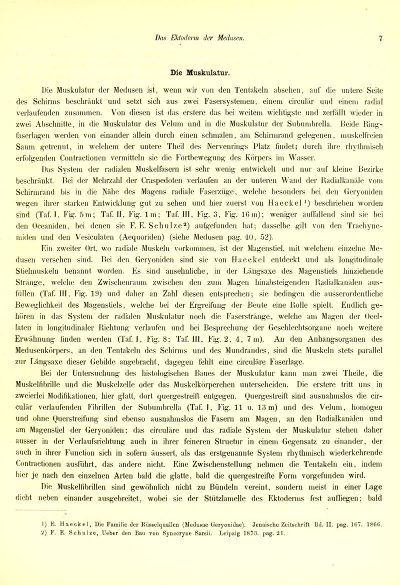 Die Muskulatur. Die Muskulatur der Medusen ist, wenn wir von den Tentakeln absehen, auf die untere Seite des Schirms beschränkt und setzt sich aus zwei Fasersystemen, einem circular und einem radial verlaufenden zusammen. Von diesen ist das erstere das bei weitem wichtigste und zerfällt wieder in zwei Abschnitte, in die Muskulatur des Velum und in die Muskulatur der Subumbrella. Beide Ring- faserlagen werden von einander allein durch einen schmalen, am Schirmrand gelegenen, muskelfreien Saum getrennt, in welchem der untere Theil des Nervenrings Platz findet; durch ihre rhythmisch erfolgenden Contractionen vermitteln sie die Fortbewegung des Körpers im Wasser. Das System der radialen Muskelfasern ist sehr wenig entwickelt und nur auf kleine Bezirke beschränkt. Bei der Mehrzahl der Craspedoten verlaufen an der unteren Wand der Badialkanäle vom Schirmrand bis in die Nähe des Magens radiale Faserzüge, welche besonders bei den Geryoniden wegen ihrer starken Entwicklung gut zu sehen und hier zuerst von Haeckel1) beschrieben worden sind (Taf. I, Fig. 5m; Taf. 11, Fig. Im; Taf. III, Fig. 3, Fig. 16m); weniger auffallend sind sie bei den Oceaniden, bei denen sie F. E. Schulze2) aufgefunden hat; dasselbe gilt von den Trachyne- miden und den Vesiculaten (Aequoriden) (siehe Medusen pag. 40, 52). Ein zweiter Ort, wo radiale Muskeln Vorkommen, ist der Magenstiel, mit welchem einzelne Me- dusen versehen sind. Bei den Geryoniden sind sie von Haeckel entdeckt und als longitudinale Stielmuskeln benannt worden. Es sind ansehnliche, in der Längsaxe des Magenstiels hinziehende Stränge, welche den Zwischenraum zwischen den zum Magen hinabsteigenden Radialkanälen aus- füllen (Taf. III, Fig. 19) und daher an Zahl diesen entsprechen; sie bedingen die ausserordentliche Beweglichkeit des Magenstiels, welche bei der Ergreifung der Beute eine Bolle spielt. Endlich ge- hören in das System der radialen Muskulatur noch die Faserstränge, welche am Magen der Ocel- laten in longitudinaler Richtung verlaufen und bei Besprechung der Geschlechtsorgane noch weitere Erwähnung finden werden (Taf. I, Fig. 8; Taf. III, Fig. 2, 4, 7 m). An den Anhangsorganen des Medusenkörpers, an den Tentakeln des Schirms und des Mundrandes, sind die Muskeln stets parallel zur Längsaxe dieser Gebilde angebracht, dagegen fehlt eine circuläre Faserlage. Bei der Untersuchung des histologischen Baues der Muskulatur kann man zwei Theile, die Muskelfibrille und die Muskelzelle oder das Muskelkörperchen unterscheiden. Die erstere tritt uns in zweierlei Modifikationen, liier glatt, dort quergestreift entgegen. Quergestreift sind ausnahmslos die cir- culär verlaufenden Fibrillen der Subumbrella (Taf. 1, Fig. 11 u. 13 m) und des Velum, homogen und ohne Querstreifung sind ebenso ausnahmslos die Fasern am Magen, an den Radialkanälen und am Magenstiel der Geryoniden; das circuläre und das radiale System der Muskulatur stehen daher ausser in der Verlaufsrichtung auch in ihrer feineren Structur in einem Gegensatz zu einander, der auch in ihrer Function sich in sofern äussert, als das erstgenannte System rhythmisch wiederkehrende Contractionen ausführt, das andere nicht. Eine Zwischenstellung nehmen die Tentakeln ein, indem hier je nach den einzelnen Arten bald die glatte, bald die quergestreifte Form vorgefunden wird. Die Muskelfibrillen sind gewöhnlich nicht zu Bündeln vereint, sondern meist in einer Lage dicht neben einander ausgebreitet, wobei sie der Stützlamelle des Ektoderms fest aufliegen; bald 1) E. Haeckel, Die Familie der Küsselquallen (Medusae Geryonidae). Jenaische Zeitschrift Bd. II. pag. 167. 1866. 2) F. E. Schulze, lieber den Bau von Syncoryne Sarsii. Leipzig 1873. pag. 21.