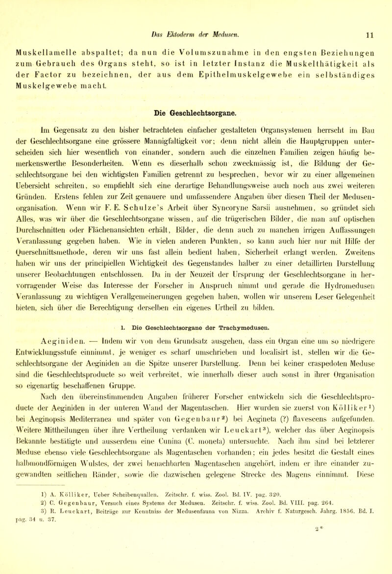 Muskellamelle abspaltet; da nun die Volumszunahme in den engsten Beziehungen zum Gebrauch des Organs steht, so ist in letzter Instanz die Muskelthätigkeit als der Factor zu bezeichnen, der aus dem Epithelmuskelgewebe ein selbständiges Muskelgewebe macht. Die Geschlechtsorgane. Im Gegensatz zu den bisher betrachteten einfacher gestalteten Organsystemen herrscht im Bau der Geschlechtsorgane eine grössere Mannigfaltigkeit vor; denn nicht allein die Hauptgruppen unter- scheiden sich hier wesentlich von einander, sondern auch die einzelnen Familien zeigen häufig be- merkenswerthe Besonderheiten. Wenn es dieserhalb schon zweckmässig ist, die Bildung der Ge- schlechtsorgane bei den wichtigsten Familien getrennt zu besprechen, bevor wir zu einer allgemeinen Uebersicht schreiten, so empfiehlt sich eine derartige Behandlungsweise auch noch aus zwei weiteren Gründen. Erstens fehlen zur Zeit genauere und umfassendere Angaben über diesen Theil der Medusen- organisation. Wenn wir F. E. Schulze’s Arbeit über Syncoryne Sarsii ausnehmen, so gründet sich Alles, was wir über die Geschlechtsorgane wissen, auf die trügerischen Bilder, die man auf optischen Durchschnitten oder Flächenansichten erhält, Bilder, die denn auch zu manchen irrigen Auffassungen Veranlassung gegeben haben. Wie in vielen anderen Punkten, so kann auch hier nur mit Hilfe der (juerschnittsmethode, deren wir uns fast allein bedient haben, Sicherheit erlangt werden. Zweitens haben wir uns der principiellen Wichtigkeit des Gegenstandes halber zu einer detaillirten Darstellung unserer Beobachtungen entschlossen. Da in der Neuzeit der Ursprung der Geschlechtsorgane in her- vorragender Weise das Interesse der Forscher in Anspruch nimmt und gerade die Hydromedusen Veranlassung zu wichtigen Verallgemeinerungen gegeben haben, wollen wir unserem Leser Gelegenheit bieten, sich über die Berechtigung derselben ein eigenes Urtheil zu bilden. 1. Die Geschlechtsorgane der Trachymedusen. Aeginiden. — Indem wir von dem Grundsatz ausgehen, dass ein Organ eine um so niedrigere Entwicklungsstufe einnimmt, je weniger es scharf umschrieben und localisirt ist, stellen wir die Ge- schlechtsorgane der Aeginiden an die Spitze unserer Darstellung. Denn bei keiner craspedoten Meduse sind die Geschlechtsproducte so weit verbreitet, wie innerhalb dieser auch sonst in ihrer Organisation so eigenartig beschaffenen Gruppe. Nach den übereinstimmenden Angaben früherer Forscher entwickeln sich die Geschlechtspro- ducte der Aeginiden in der unteren Wand der Magentaschen. Hier wurden sie zuerst von K öl liker1) bei Aeginopsis Mediterranea und später von Gegenbaur2) bei Aegineta (?) flavescens aufgefunden. Weitere Mittheilungen über ihre Vertheilung verdanken wir Leuckart3), welcher das über Aeginopsis Bekannte bestätigte und ausserdem eine Cunina (C. moneta) untersuchte. Nach ihm sind bei letzterer Meduse ebenso viele Geschlechtsorgane als Magentaschen vorhanden; ein jedes besitzt die Gestalt eines halbmondförmigen Wulstes, der zwei benachbarten Magentaschen angehört, indem er ihre einander zu- gewandten seitlichen Bänder, sowie die dazwischen gelegene Strecke des Magens einnimmt. Diese 1) A. Kölliker, Ueber Scheibenquallen. Zeitschr. f. wiss. Zool. Bd. IV. pag. 320. 2) C. Gegenbaur, Versuch eines Systems der Medusen. Zeitschr. f. wiss. Zool. Bd. VIII. pag. 264. 3) R. Leuckart, Beiträge zur Kenntniss der Medusenfauna von Nizza. Archiv f. Naturgesch. Jahrg. 1856. Bd. I. pag. 34 u. 37. 2*