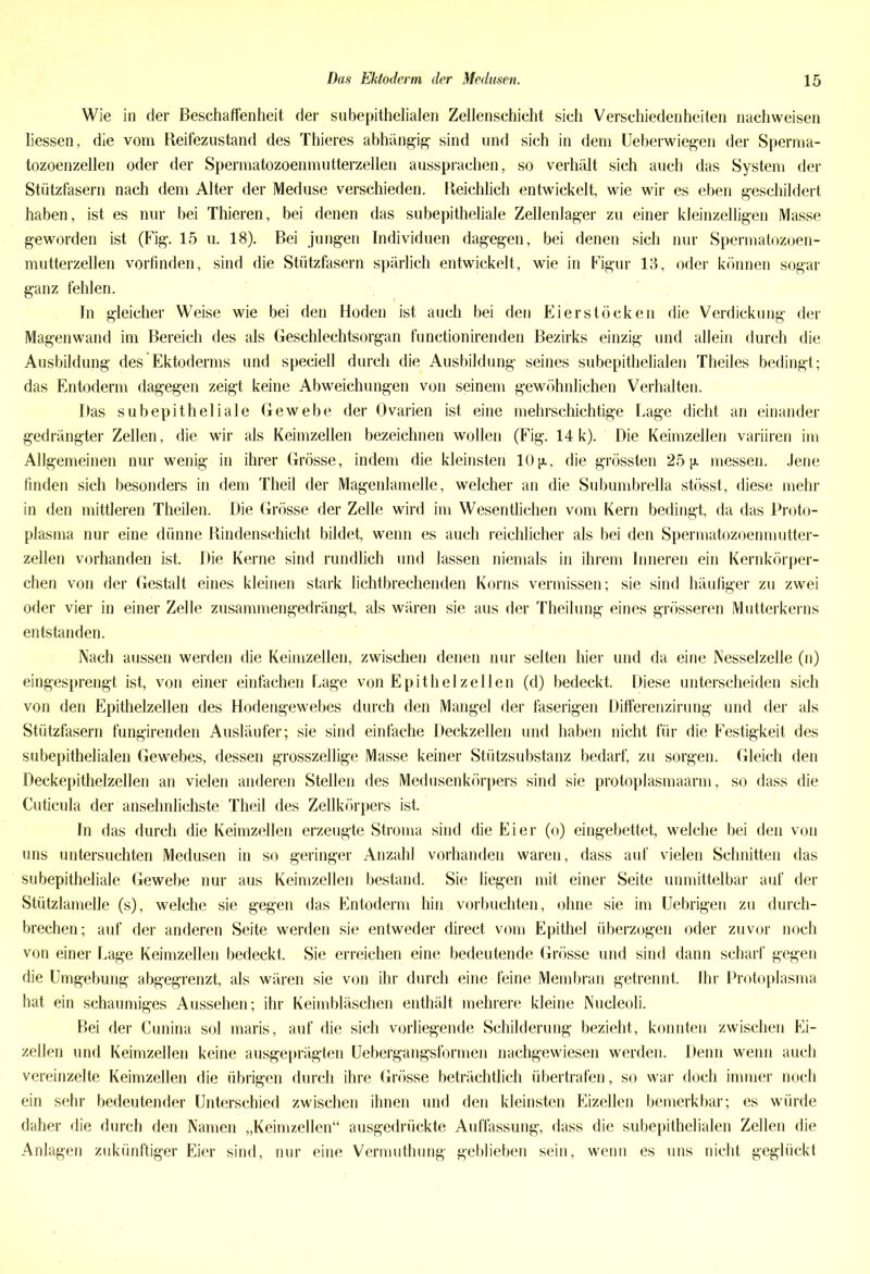 Wie in der Beschaffenheit der subepithelialen Zellenschicht sich Verschiedenheiten nachweisen Messen, die vom Reifezustand des Thieres abhängig sind und sich in dem Ueberwiegen der Sperma- tozoenzellen oder der Spermatozoenmutterzellen aussprachenso verhält sich auch das System der Stützfasern nach dem Alter der Meduse verschieden. Reichlich entwickelt, wie wir es eben geschildert haben, ist es nur bei Thieren, bei denen das subepitheliale Zellenlager zu einer kleinzelligen Masse geworden ist (Fig. 15 u. 18). Bei jungen Individuen dagegen, bei denen sich nur Spermatozoen- mutterzellen vorfinden, sind die Stützfasern spärlich entwickelt, wie in Figur 13, oder können sogar ganz fehlen. In gleicher Weise wie bei den Hoden ist auch bei den Eier stocken die Verdickung der Magenwand im Bereich des als Geschlechtsorgan functionirenden Bezirks einzig und allein durch die Ausbildung des Ektoderms und speciell durch die Ausbildung seines subepithelialen Theiles bedingt; das Entoderm dagegen zeigt keine Abweichungen von seinem gewöhnlichen Verhalten. Das subepitheliale Gewebe der Ovarien ist eine mehrschichtige Lage dicht an einander gedrängter Zellen, die wir als Keimzellen bezeichnen wollen (Fig. 14k). Die Keimzellen variiren im Allgemeinen nur wenig in ihrer Grösse, indem die kleinsten 10 jx, die grössten 25 p. messen. Jene finden sich besonders in dem Theil der Magenlamelle, welcher an die Subumbrella stösst, diese mehr in den mittleren Theilen. Die Grösse der Zelle wird im Wesentlichen vom Kern bedingt, da das Proto- plasma nur eine dünne Rindenschicht bildet, wenn es auch reichlicher als bei den Spermatozoenmutter- zellen vorhanden ist. Die Kerne sind rundlich und lassen niemals in ihrem Inneren ein Kernkörper- chen von der Gestalt eines kleinen stark lichtbrechenden Korns vermissen; sie sind häufiger zu zwei oder vier in einer Zelle zusammengedrängt, als wären sie aus der Theilung eines grösseren Mutterkerns entstanden. Nach aussen werden die Keimzellen, zwischen denen nur selten hier und da eine Nesselzelle (n) eingesprengt ist, von einer einfachen Lage von Epithelzellen (d) bedeckt. Diese unterscheiden sich von den Epithelzellen des Hodengewebes durch den Mangel der faserigen Differenzirung und der als Stützfasern fungirenden Ausläufer; sie sind einfache Deckzellen und haben nicht für die Festigkeit des subepithelialen Gewebes, dessen grosszeilige Masse keiner Stützsubstanz bedarf, zu sorgen. Gleich den Deckepithelzellen an vielen anderen Stellen des Medusenkörpers sind sie protoplasmaarm, so dass die Cuticula der ansehnlichste Theil des Zellkörpers ist. In das durch die Keimzellen erzeugte Stroma sind die Eier (o) eingebettet, welche bei den von uns untersuchten Medusen in so geringer Anzahl vorhanden waren, dass auf vielen Schnitten das subepitheliale Gewebe nur aus Keimzellen bestand. Sie liegen mit einer Seite unmittelbar auf der Stützlamelle (s), welche sie gegen das Entoderm hin vorbuchten, ohne sie im Uebrigen zu durch- brechen; auf der anderen Seite werden sie entweder direct vom Epithel überzogen oder zuvor noch von einer Lage Keimzellen bedeckt. Sie erreichen eine bedeutende Grösse und sind dann scharf gegen die Umgebung abgegrenzt, als wären sie von ihr durch eine feine Membran getrennt. Ihr Protoplasma hat ein schaumiges Aussehen; ihr Keimbläschen enthält mehrere kleine Nucleoli. Bei der Cunina sol maris, auf die sich vorliegende Schilderung bezieht, konnten zwischen Ei- zellen und Keimzellen keine ausgeprägten Uebergangsformen nachgewiesen werden. Denn wenn auch vereinzelte Keimzellen die übrigen durch ihre Grösse beträchtlich übertrafen, so war doch immer noch ein sehr bedeutender Unterschied zwischen ihnen und den kleinsten Eizellen bemerkbar; es würde daher die durch den Namen „Keimzellen“ ausgedrückte Auffassung, dass die subepithelialen Zellen die Anlagen zukünftiger Eier sind, nur eine Vermuthnng geblieben sein, wenn es uns nicht geglückt