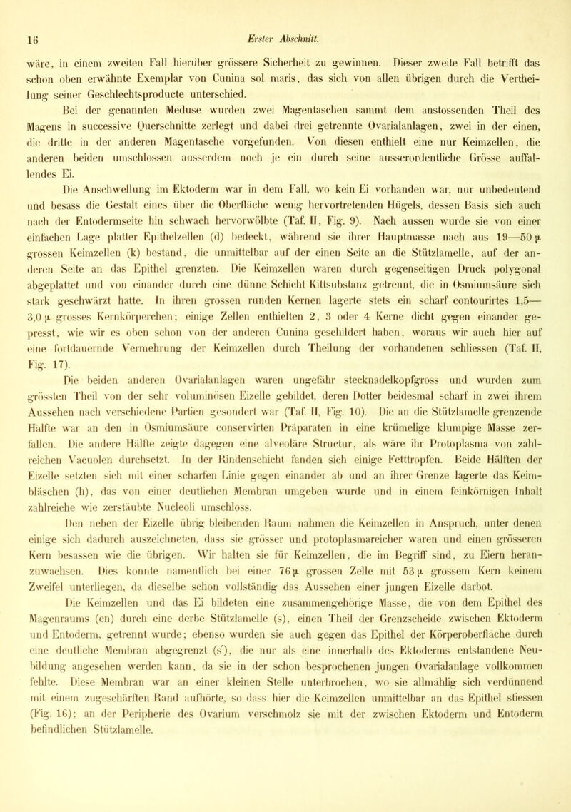 wäre, in einem zweiten Fall hierüber grössere Sicherheit zu gewinnen. Dieser zweite Fall betrifft das schon oben erwähnte Exemplar von Cunina sol maris, das sich von allen übrigen durch die Verkei- lung seiner Geschlechtsproducte unterschied. Bei der genannten Meduse wurden zwei Magentaschen sammt dem anstossenden Theil des Magens in successive Querschnitte zerlegt und dabei drei getrennte Ovarialanlagen, zwei in der einen, die dritte in der anderen Magentasche vorgefunden. Von diesen enthielt eine nur Keimzellen, die anderen beiden umschlossen ausserdem noch je ein durch seine ausserordentliche Grösse auffal- lendes Ei. Die Anschwellung im Ektoderm war in dem Fall, wo kein Ei vorhanden war, nur unbedeutend und besass die Gestalt eines über die Oberfläche wenig hervortretenden Hügels, dessen Basis sich auch nach der Entodermseite hin schwach hervorwölbte (Taf. II, Fig. 9). Nach aussen wurde sie von einer einfachen Lage platter Epithelzellen (d) bedeckt, während sie ihrer Hauptmasse nach aus 19—50 p. grossen Keimzellen (k) bestand, die unmittelbar auf der einen Seite an die Stützlamelle, auf der an- deren Seite an das Epithel grenzten. Die Keimzellen waren durch gegenseitigen Druck polygonal abgeplattet und von einander durch eine dünne Schicht Kittsubstanz getrennt, die in Osmiumsäure sich stark geschwärzt hatte, ln ihren grossen runden Kernen lagerte stets ein scharf contourirtes 1,5— 3,0 jx grosses Kernkörperehen; einige Zellen enthielten 2, 3 oder 4 Kerne dicht gegen einander ge- presst, wie wir es oben schon von der anderen Cunina geschildert haben, woraus wir auch hier auf eine fortdauernde Vermehrung der Keimzellen durch Theilung der vorhandenen schliessen (Taf. II, Fig. 17). Die beiden anderen Ovarialanlagen waren ungefähr stecknadelkopfgross und wurden zum grössten Theil von der sehr voluminösen Eizelle gebildet, deren Dotter beidesmal scharf in zwei ihrem Aussehen nach verschiedene Partien gesondert war (Taf. II, Fig. 10). Die an die Stützlamelle grenzende Hälfte war an den in Osmiumsäure eonservirten Präparaten in eine krümelige klumpige Masse zer- fallen. Die andere Hälfte zeigte dagegen eine alveoläre Structur, als wäre ihr Protoplasma von zahl- reichen Vacuolen durchsetzt. In der Bindenschicht fanden sich einige Fetttropfen. Beide Hälften der Eizelle setzten sich mit einer scharfen Linie gegen einander ab und an ihrer Grenze lagerte das Keim- bläschen (h), das von einer deutlichen Membran umgeben wurde und in einem feinkörnigen Inhalt zahlreiche wie zerstäubte Nucleoli umschloss. Den neben der Eizelle übrig bleibenden Kaum nahmen die Keimzellen in Anspruch, unter denen einige sich dadurch auszeichneten, dass sie grösser und protoplasmareicher waren und einen grösseren Kern besassen wie die übrigen. Wir halten sie für Keimzellen, die im Begriff sind, zu Eiern heran- zuwachsen. Dies konnte namentlich bei einer 76 jx grossen Zelle mit 53 [x grossem Kern keinem Zweifel unterliegen, da dieselbe schon vollständig das Aussehen einer jungen Eizelle darbot. Die Keimzellen und das Ei bildeten eine zusammengehörige Masse, die von dem Epithel des Magenraums (en) durch eine derbe Stützlamelle (s), einen Theil der Grenzscheide zwischen Ektoderm und Entoderm, getrennt wurde; ebenso wurden sie auch gegen das Epithel der Körperoberfläche durch eine deutliche Membran abgegrenzt (s), die nur als eine innerhalb des Ektoderms entstandene Neu- bildung angesehen werden kann, da sie in der schon besprochenen jungen Ovarialanlage vollkommen fehlte. Diese Membran war an einer kleinen Stelle unterbrochen, wo sie allmählig sich verdünnend mit einem zugeschärften Hand aufhörte, so dass hier die Keimzellen unmittelbar an das Epithel stiessen (Fig. 16); an der Peripherie des Ovarium verschmolz sie mit der zwischen Ektoderm und Entoderm befindlichen Stützlamelle.