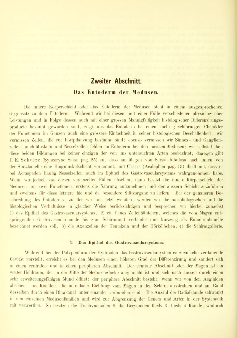 Zweiter Abschnitt. Das Entoderm der Medusen. Die innere Körperschicht oder das Entoderm der Medusen steht in einem ausgesprochenen Gegensatz zu dem Ektoderm. Während wir bei diesem mit einer Fülle verschiedener physiologischer Leistungen und in Folge dessen auch mit einer grossen Mannigfaltigkeit histologischer Differenzirungs- producte bekannt geworden sind, zeigt uns das Entoderm bei einem mehr gleichförmigen Charakter der Functionen im Ganzen auch eine grössere Einfachheit in seiner histologischen Beschaffenheit; wir vermissen Zellen, die zur Fortpflanzung bestimmt sind; ebenso vermissen wir Sinnes- und Ganglien- zellen ; auch Muskeln und Nesselzellen fehlen im Entoderm bei den meisten Medusen; wir selbst haben diese beiden Bildungen bei keiner einzigen der von uns untersuchten Arten beobachtet; dagegen gibt F. E. Schulze (Syncoryne Sarsii pag. 25) an, dass am Magen von Sarsia tubulosa nach innen von der Stützlamelle eine Ringmuskelschicht vorkommt, und Claus (Acalephen pag. 13) theilt mit, dass er bei Acraspeden häufig Nesselzellen auch im Epithel des Gastrovascularsystems wahrgenommen habe. Wenn wir jedoch von diesen vereinzelten Fällen absehen, dann besitzt die innere Körperschicht der Medusen nur zwei Functionen, erstens die Nahrung aufzunehmen und der äussern Schicht zuzuführen und zweitens für diese letztere hie und da besondere Stützorgane zu liefern. Bei der genaueren Be- schreibung des Entoderms, zu der wir uns jetzt wenden, werden wir die morphologischen und die histologischen Verhältnisse in gleicher Weise berücksichtigen und besprechen wir hierbei zunächst 1) das Epithel des Gastrovascularsystems, 2) ein feines Zellenhäutchen, welches die vom Magen ent- springenden Gastrovascularkanäle bis zum Schirmrand verbindet und kurzweg als Entodermlamelle bezeichnet werden soll, 3) die Axenzellen der Tentakeln und der Hörkölbchen, 4) die Schirmgallerte. 1. Das Epithel des Gastro vascularsystems. Während bei der Polypenform der Hydroiden das Gastro vascularsy stem eine einfache verdauende Cavität vorstellt, erreicht es bei den Medusen einen höheren Grad der Differenzirung und sondert sich in einen centralen und in einen peripheren Abschnitt. Der centrale Abschnitt oder der Magen ist ein weiter Hohlraum, der in der Mitte der Medusenglocke angebracht ist und sich nach aussen durch einen sehr erweiterungsfähigen Mund öffnet; der periphere Abschnitt besteht, wenn wir von den Aeginiden absehen, aus Kanälen, die in radialer Richtung vom Magen in den Schirm ausstrahlen und am Rand desselben durch einen Ringkanal unter einander verbunden sind. Die Anzahl der Radialkanäle schwankt in den einzelnen Medusenfamilien und wird zur Abgrenzung der Genera und Arten in der Systematik