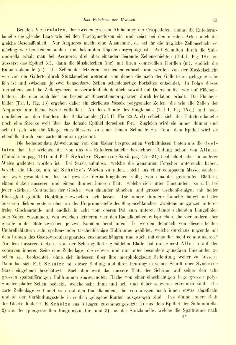 Bei den Vesiculaten, der zweiten grossen Abtheilung der Craspedoten, nimmt die Entoderm- lamelle die gleiche Lage wie bei den Trachymedusen ein und zeigt bei den meisten Arten auch die gleiche Beschaffenheit. Nur Aequorea macht eine Ausnahme, da bei ihr die fragliche Zellenschicht so mächtig wie bei keinem andern uns bekannten Objecte ausgeprägt ist. Auf Schnitten durch die Sub- umbrella erhält man bei Aequorea drei über einander liegende Zellenschichten (Taf. I, Fig. 18); zu äusserst das Epithel (d), dann die Muskelzellen (mz) mit ihren contractilen Fibrillen (m), endlich die Entodermlamelle (el). Die Zellen der letzteren erscheinen cubisch und werden von der Muskelschicht wie von der Gallerte durch Stützlamellen getrennt, von denen die nach der Gallerte zu gelegene sehr fein ist und zwischen je zwei benachbarte Zellen scheiden artige Fortsätze entsendet. In Folge dieses Verhaltens sind die Zellengrenzen ausserordentlich deutlich sowohl auf Querschnitts- wie auf Flächen- bildern, die man auch hier am besten an Macerationspräparaten durch Isolation erhält. Die Flächen- bilder (Taf. I, Fig. 13) ergeben daher ein zierliches Mosaik polygonaler Zellen, die wie alle Zellen der Aequorea nur kleine Kerne enthalten. An dem Rande des Ringkanals (Taf. I, Fig. 15 el) und noch deutlicher an den Rändern der Radialkanäle (Taf. II, Fig. 22 A, el) schiebt sich die Entodermlamelle noch eine Strecke weit über das dorsale Epithel derselben fort. Zugleich wird sie immer dünner und schärft sich wie die Klinge eines Messers zu einer feinen Schneide zu. Von dem Epithel wird sie ebenfalls durch eine zarte Membran getrennt. Die bedeutendste Abweichung von den bisher besprochenen Verhältnissen bieten uns die Ocel- laten dar, bei welchen die von uns als Entodermlamelle bezeichnete Bildung schon von A lim an (Tubularien pag. 114) und F. E. Schulze (Syncoryne Sarsn pag. 15—31) beobachtet, aber in anderer Weise gedeutet worden ist. Bei Sarsia tubulosa, welche die genannten Forscher untersucht haben, besteht die Glocke, um mit Schulze’s Worten zu reden, „nicht aus einer compacten Masse, sondern aus zwei gesonderten, bis auf gewisse Verbindungslinien völlig von einander getrennten Blättern, einem dicken äusseren und einem dünnen inneren Blatt, welche sich unter Umständen, so z. B. bei jeder stärkern Contraction der Glocke, von einander abheben und grosse taschenförmige, mit heller Flüssigkeit gefüllte Hohlräume zwischen sich lassen. Die innere dünnere Lamelle hängt mit der äusseren dicken erstens oben an der Ursprungsstelle des Magenschlauches, zweitens am ganzen unteren freien Glockenrande und endlichen acht vom oberen Pol zum unteren Rande ziehenden Längslinien oder Zonen zusammen, von welchen letzteren vier den Radialkanälen entsprechen, die vier andern aber gerade in der Mitte zwischen je zwei Kanälen herablaufen. Es werden demnach von diesen beiden Umbrellablättern acht spalten- oder taschenförmige Hohlräume gebildet, welche durchaus nirgends mit dem Lumen des Gastrovascularapparates Zusammenhängen und auch mit einander nicht communiciren.“ An dem äusseren dicken, von der Schirmgallerte gebildeten Blatte hat nun zuerst All man auf der concaven inneren Seite eine Zellenlage, die schwer und nur unter besonders günstigen Umständen zu sehen sei, beobachtet, ohne sich indessen über ihre morphologische Bedeutung weiter zu äussern. Dann hat sich F. E. Schulze mit dieser Bildung und ihrer Deutung in seiner Schrift über Syncoryne Sarsii eingehend beschäftigt. Nach ihm wird das äussere Blatt des Schirms auf seiner den acht grossen spaltenförmigen Hohlräumen zugewandten Fläche von einer einschichtigen Lage grosser poly- gonaler platter Zellen bedeckt, welche sehr dünn und hell und daher schwerer erkennbar sind. Die zarte Zellenlage verbindet sich mit den Radialkanälen, die von aussen nach innen etwas abgeflacht und an der Verbindungsstelle in seitlich gelegene Kanten ausgezogen sind. Das dünne innere Blatt der Glocke findet F. E. Schulze aus 3 Lagen zusammengesetzt: 1) aus dem Epithel der Subumbrella, 2) aus der quergestreiften Ringmuskulatur, und 3) aus der Stützlamelle, welche die Spalträume nach