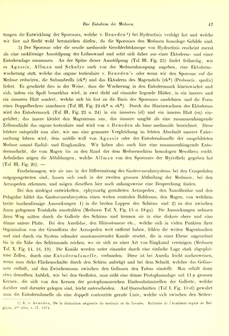 tungen die Entwicklung der Sporosacs, welche v. Beneden1) bei Hydractinia verfolgt hat und welche wir hier mit Recht wohl heranziehen dürfen, da die Sporosacs den Medusen homologe Gebilde sind. 3) Der Sporosac oder die sessile medusoide Geschlechtsknospe von Hydractinia erscheint zuerst als eine sackförmige Ausstülpung der Leibeswand und setzt sich daher aus einer Ektoderm- und einer Entodermlage zusammen. An der Spitze dieser Ausstülpung (Taf. III, Fig. 23) findet frühzeitig, wie es Agassiz, Allman und Schulze auch von der Medusenknospung angeben, eine Ektoderm- wucherung statt, welche das Organe testiculaire v. Beneden’s oder wenn wir den Sporosac auf die Meduse reduciren, die Subumbrella (ek2) und das Ektoderm des Magenstiels (ek3) (Proboscis, spadix) liefert. Es geschieht dies in der Weise, dass die Wucherung in den Entodermsack hineinwächst und sich, indem ein Spalt bemerkbar wird, in zwei dicht auf einander liegende Blätter, in ein inneres und ein äusseres Blatt sondert, welche sich bis fast an die Basis des Sporosacs ausdehnen und die Form eines Doppelbechers annehmen (Taf. III, Fig. 24 ek2 u. ek3). Durch das Hineinwachsen des Ektoderms wird der Entodermsack (Taf. III, Fig. 23 u. 24) in ein äusseres (el) und ein inneres Blatt (en) ein- gefaltet; das innere kleidet den Magenraum aus, das äussere umgibt als eine zusammenhängende Zellenschicht das Organe testiculaire und wird von v. Beneden als lame medusoide bezeichnet. Diese letztere entspricht nun aber, wie uns eine genauere Vergleichung im letzten Abschnitt unserer Unter- suchung lehren wird, dem middle wall von Agassiz oder der Entodermlamelle der ausgebildeten Meduse sammt Radial- und Ringkanälen. Wir haben also auch hier eine zusammenhängende Ento- dermschicht, die vom Magen bis an den Rand der dem Medusenschirm homologen Mesotheca reicht. Aehnliches zeigen die Abbildungen, welche Allman von den Sporosacs der Myriothela gegeben hat (Taf. III, Fig. 20). — Erscheinungen, wie sie uns in der Differenzirung des Gastrovascularsystems bei den Craspedoten entgegengetreten sind, lassen sich auch in der zweiten grossen Abtheilung der Medusen, bei den Acraspeden erkennen, und mögen dieselben hier noch anhangsweise eine Besprechung finden. Bei den niedrigst entwickelten, ephyraartig gestalteten Acraspeden, den Nausithoidae und den Pelagidae bildet das Gastrovascularsystem einen weiten centralen Hohlraum, den Magen, von welchem breite taschenförmige Aussackungen 1) in die breiten Lappen des Schirms und 2) zu den zwischen ihnen gelegenen Tentakeln ausstrahlen (Medusen Taf. X, Fig. 15 u. 18 ga). Die Aussackungen nehmen ihren Weg mitten durch die Gallerte des Schirms und trennen sie in eine dickere obere und eine dünne untere Platte. Bei den Aurelidae, den Rhizostomeae etc., welche sich in vielen Punkten ihrer Organisation von der Grundform der Acraspeden weit entfernt haben, fehlen die weiten Magentaschen und sind durch ein System schmaler anastomosirender Kanäle ersetzt, die in einer Ebene angeordnet bis in die Nähe des Schirmrands reichen, wo sie sich zu einer Art von Ringkanal vereinigen (Medusen Taf. X, Fig. 14, 16, 19).. Die Kanäle werden unter einander durch eine einfache Lage stark abgeplat- teter Zellen, durch eine Entodermlamelle, verbunden. Diese ist bei Aurelia leicht nachzuweisen, wenn man dicke Flächenschnitte durch den Schirm anfertigt und bei dem Schnitt, welcher das Gefäss- netz enthält, auf den Zwischenraum zwischen den Gefässen den Tubus einstellt. Man erhält dann etwa denselben Anblick, wie bei den Ocellaten, man sieht eine dünne Protoplasmalage mit 11 y. grossen Kernen, die sich von den Kernen der protoplasmareichen Bindesubstanzzellen der Gallerte, welche darüber und darunter gelegen sind, leicht unterscheiden. Auf Querschnitten (Taf. I, Fig. 10 el) gewahrt man die Entodermlamelle als eine doppelt contourirte gerade Linie, welche sich zwischen den Seiten- 1) E. v. Beneden, De la distiuction originelle du testicule et de l’ovaire. Bulletins de l’Academie royale de Bel- gique, 2rae sdrie, t. 37. 1874.