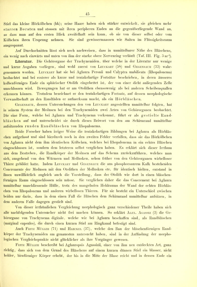 Stiel das kleine Hörkölbchen (hk); seine Haare haben sich stärker entwickelt, sie gleichen mehr starren Borsten und stossen mit ihren peripheren Enden an die gegenüberliegende Wand an, so dass man auf den ersten Blick zweifelhaft sein kann, ob sie von dieser selbst oder vom Kölbchen ihren Ursprung nehmen. Sie sind gewissermaassen wie Saiten im Flüssigkeitsraum ausgespannt. Auf Durchschnitten lässt sich noch nachweisen, dass in unmittelbarer Nähe des Bläschens, ein wenig nach einwärts und unten von ihm der starke obere Nervenring verläuft (Taf. III. Fig. 3 nr'). Literatur. Die Gehörorgane der Trachynemiden, über welche in der Literatur nur wenige und kurze Angaben vorliegen, sind wohl zuerst von Leuckart (58) und Gegenbaur (33) wahr- genommen worden. Leuckart hat sie bei Aglaura Peronii und Calyptra umbilicata (Rhopalonema) beobachtet und bei ersterer als kurze und tentakelartige Fortsätze beschrieben, in deren äusseres kolbenförmiges Ende ein sphärischer Otolith eingebettet ist, der von einer dicht anliegenden Zelle umschlossen wird. Bewegungen hat er am Otolitlien ebensowenig als bei anderen Scheibencpiallen erkennen können. Trotzdem bezeichnet er den tentakelartigen Fortsatz, auf dessen morphologische Verwandtschaft zu den Randfäden er aufmerksam macht, als ein Hörbläschen. Gegenbaur, dessen Untersuchungen den von Leuckart angestellten unmittelbar folgten, hat in seinem System der Medusen bei den Trachynemiden zwei Arten von Gehörorganen beobachtet. Die eine Form, welche bei Aglaura und Trachynema vorkommt, führt er als gestielte Rand- bläschen auf und unterscheidet sie durch dieses Beiwort von den am Schirmrand unmittelbar aufsitzenden runden R a n d b 1 ä s c h e n von Rhopalonema. Beide Forscher haben irriger Weise die tentakelartigen Bildungen bei Aglaura als Hörbläs- chen aufgefasst und sind hierdurch noch in den zweiten Fehler verfallen, dass sie das Hörkölbchen von Aglaura nicht dem ihm identischen Kölbchen, welches bei Rhopalonema in ein echtes Bläschen eingeschlossen ist, sondern dem letzteren selbst verglichen haben. Es erklärt sich dieser Irrthum aus dem Bestreben, die Randkörper der Medusen auf das Schema zurückzuführen, welches man sich, ausgehend von den Würmern und Mollusken, schon früher von den Gehörorganen wirbelloser Thiere gebildet hatte. Indem Leuckart und Gegenbaur die aus phosphorsaurem Kalk bestehenden Concremente der Medusen mit den Otolitlien der Mollusken etc. für identisch hielten, entstand in ihnen unwillkürlich zugleich auch die Vorstellung, dass der Otolith wie dort in einen bläschen- förmigen Raum eingeschlossen sein müsse. Sie verglichen daher die das Concrement bei Aglaura unmittelbar umschliessende Hülle, trotz des mangelnden Hohlraums der Wand der echten Hörbläs- chen von Rhopalonema und anderen wirbellosen Thieren. Für sie besteht ein Unterschied zwischen beiden nur darin, dass in dem einen Fall die Bläschen dem Schirmrand unmittelbar aufsitzen, in dem anderen Falle dagegen gestielt sind. Von dieser irrthiimlichen Vergleichung morphologisch ganz verschiedener Theile haben sich alle nachfolgenden Untersucher nicht frei machen können. So erklärt Alex. Agassiz (2) die Ge- hörorgane von Trachynema digitale, welclie wie bei Aglaura beschaffen sind, als Randbläschen (marginal capsules), die durch einen kurzen Stiel am Ringkanal befestigt sind. Auch Fritz Müller (71) und Haeckel (37), welche den Bau der bläschenförmigen Rand- körper der Trachynemiden am genauesten untersucht haben, sind in der Auffindung der morpho- logischen Vergleichspunkte nicht glücklicher als ihre Vorgänger gewesen. Fritz Müller beschreibt bei Aglauropsis Agassizii, einer von ihm neu entdeckten Art, ganz richtig, dass sich von dem Grund des Bläschens auf einem kurzen dünnen Stiel ein blasser, nicht hohler, bimförmiger Körper erhebt, der bis in die Mitte der Blase reicht und in dessen Ende ein