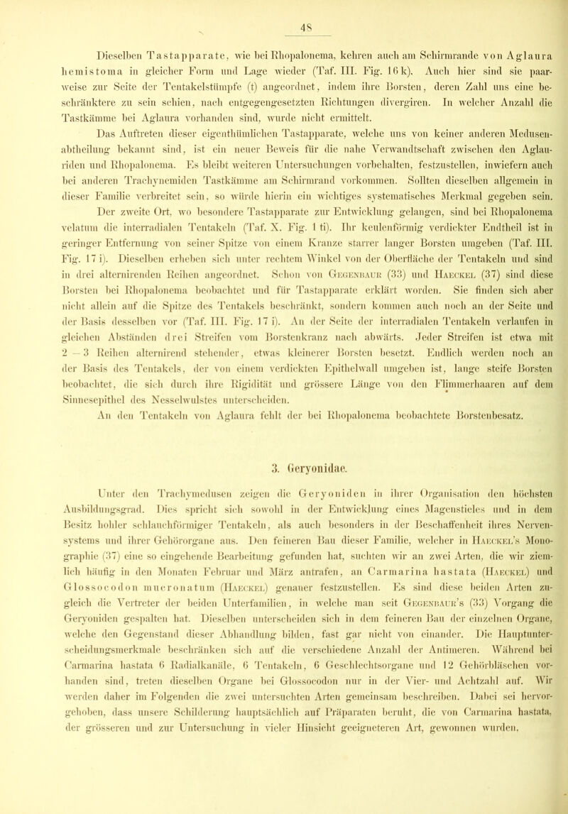 Dieselben Tastapparate, wie bei Rliopalonema, keliren auch am Schirmrande von Aglaura hemistoma in gleicher Form und Lage wieder (Taf. III. Fig. 16k), Auch hier sind sie paar- weise zur Seite der Tentakelstümpfe (t) angeordnet, indem ihre Borsten, deren Zahl uns eine be- schränktere zu sein schien, nach entgegengesetzten Richtungen divergiren. In welcher Anzahl die Tastkämme bei Aglaura vorhanden sind, wurde nicht ermittelt. Das Auftreten dieser eigenthümlichen Tastapparate, welche uns von keiner anderen Medusen- abtheilung bekannt sind, ist ein neuer Beweis für die nahe Verwandtschaft zwischen den Aglau- riden und Rliopalonema. Es bleibt weiteren Untersuchungen Vorbehalten, festzustellen, inwiefern auch bei anderen Trachynemiden Tastkämme am Schirmrand Vorkommen. Sollten dieselben allgemein in dieser Familie verbreitet sein, so würde hierin ein wichtiges systematisches Merkmal gegeben sein. Der zweite Ort, wo besondere Tastapparate zur Entwicklung gelangen, sind bei Rliopalonema velatum die interradialen Tentakeln (Taf. X. Fig. 1 ti). Ihr keulenförmig verdickter Endtheil ist in geringer Entfernung von seiner Spitze von einem Kranze starrer langer Borsten umgeben (Taf. III. Fig. 17 i). Dieselben erheben sich unter rechtem Winkel von der Oberfläche der Tentakeln und sind in drei alternirenden Reihen angeordnet. Schon von Gegenbaur (33) und Haeckel (37) sind diese Borsten bei Rliopalonema beobachtet und für Tastapparate erklärt worden. Sie finden sich aber nicht allein auf die Spitze des Tentakels beschränkt, sondern kommen auch noch an der Seite und der Basis desselben vor (Taf. III. Fig. 17 i). An der Seite der interradialen Tentakeln verlaufen in gleichen Abständen drei Streifen vom Borstenkranz nach abwärts. Jeder Streifen ist etwa mit 2—3 Reihen alternirend stehender, etwas kleinerer Borsten besetzt. Endlich werden noch an der Basis des Tentakels, der von einem verdickten Epithelwall umgeben ist, lange steife Borsten beobachtet, die sich durch ihre Rigidität und grössere Länge von den Flimmerhaaren auf dem Sinnesepithel des Nesselwulstes unterscheiden. An den Tentakeln von Aglaura fehlt der bei Rliopalonema beobachtete Borstenbesatz. 3. Geryonidae. Unter den Trachymedusen zeigen die Geryoniden in ihrer Organisation den höchsten Ausbildungsgrad. Dies spricht sich sowohl in der Entwicklung eines Magenstieles und in dem Besitz hohler schlauchförmiger Tentakeln, als auch besonders in der Beschaffenheit ihres Nerven- systems und ihrer Gehörorgane aus. Den feineren Bau dieser Familie, welcher in Haeckel’s Mono- graphie (37) eine so eingehende Bearbeitung gefunden hat, suchten wir an zwei Arten, die wir ziem- lich häufig in den Monaten Februar und März antrafen, an Carmarina hastata (Haeckel) und Glossocodon mucronatum (Haeckel) genauer festzustellen. Es sind diese beiden Arten zu- gleich die Vertreter der beiden Unterfamilien, in welche man seit Gegenbauk’s (33) Vorgang die Geryoniden gespalten hat. Dieselben unterscheiden sich in dem feineren Bau der einzelnen Organe, welche den Gegenstand dieser Abhandlung bilden, fast gar nicht von einander. Die Hauptunter- scheidungsmerkmale beschränken sich auf die verschiedene Anzahl der Antimeren. Während bei Carmarina hastata 6 Radialkanäle, 6 Tentakeln, 6 Geschlechtsorgane und 12 Gehörbläschen vor- handen sind, treten dieselben Organe bei Glossocodon nur in der Vier- und Achtzahl auf. Wir werden daher im Folgenden die zwei untersuchten Arten gemeinsam beschreiben. Dabei sei hervor- gehoben, dass unsere Schilderung hauptsächlich auf Präparaten beruht, die von Carmarina hastata, der grösseren und zur Untersuchung in vieler Hinsicht geeigneteren Art, gewonnen wurden,
