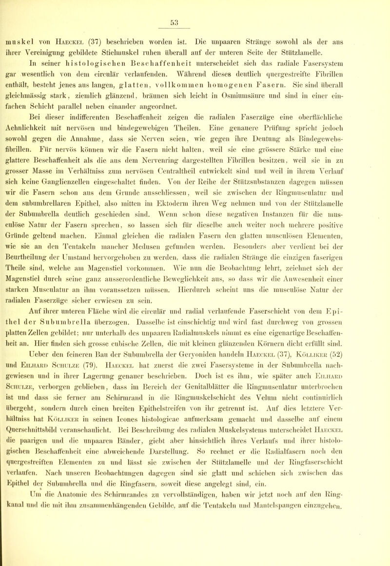 muskel von Haeckel (37) beschrieben worden ist. Die unpaaren Stränge sowohl als der aus ihrer Vereinigung gebildete Stielmuskel ruhen überall auf der unteren Seite der Stützlamelle. In seiner histologischen Beschaffenheit unterscheidet sich das radiale Fasersystem gar wesentlich von dem circular verlaufenden. Während dieses deutlich quergestreifte Fibrillen enthält, besteht jenes aus langen, glatten, vollkommen homogenen Fasern. Sie sind überall gleichmässig stark, ziemlich glänzend, bräunen sich leicht in Osmiumsäure und sind in einer ein- fachen Schicht parallel neben einander angeordnet. Bei dieser indifferenten Beschaffenheit zeigen die radialen Faserzüge eine oberflächliche Aehnlichkeit mit nervösen und bindegewebigen Theilen. Eine genauere Prüfung spricht jedoch sowohl gegen die Annahme, dass sie Nerven seien, wie gegen ihre Deutung als Bindegewebs- fibrillen. Für nervös können wir die Fasern nicht halten, weil sie eine grössere Stärke und eine glattere Beschaffenheit als die aus dem Nervenring dargestellten Fibrillen besitzen, weil sie in zu grosser Masse im Verhältniss zum nervösen Centraltheil entwickelt sind und weil in ihrem Verlauf sich keine Ganglienzellen eingeschaltet finden. Von der Reihe der Stützsubstanzen dagegen müssen wir die Fasern schon aus dem Grunde ausschliessen, weil sie zwischen der Ringmusculatur und dem subumbrellaren Epithel, also mitten im Ektoderm ihren Weg nehmen und von der Stützlamelle der Subumbrella deutlich geschieden sind. Wenn schon diese negativen Instanzen für die mus- culöse Natur der Fasern sprechen, so lassen sich für dieselbe auch weiter noch mehrere positive Gründe geltend machen. Einmal gleichen die radialen Fasern den glatten musculösen Elementen, wie sie an den Tentakeln mancher Medusen gefunden werden. Besonders aber verdient bei der Beurtheilung der Umstand hervorgehoben zu werden, dass die radialen Stränge die einzigen faserigen Theile sind, welche am Mag’enstiel Vorkommen. Wie nun die Beobachtung lehrt, zeichnet sich der Magenstiel durch seine ganz ausserordentliche Beweglichkeit aus, so dass wir die Anwesenheit einer starken Musculatur an ihm voraussetzen müssen. Hierdurch scheint uns die musculöse Natur der radialen Faserzüge sicher erwiesen zu sein. Auf ihrer unteren Fläche wird die circulär und radial verlaufende Faser Schicht von dem Epi- thel der Subumbrella überzogen. Dasselbe ist einschichtig und wird fast durchweg von grossen platten Zellen gebildet; nur unterhalb des unpaaren Radialmuskels nimmt es eine eigenartige Beschaffen- heit an. Hier finden sich grosse cubische Zellen, die mit kleinen glänzenden Körnern dicht erfüllt sind. Ueber den feineren Bau der Subumbrella der Geryoniden handeln Haeckel (37), Kölliker (52) und Eilhard Schulze (79). Haeckel hat zuerst die zwei Fasersysteme in der Subumbrella nach- gewiesen und in ihrer Lagerung genauer beschrieben. Doch ist es ihm, wie später auch Eilhard Schulze, verborgen geblieben, dass im Bereich der Genitalblätter die Ringmusculatur unterbrochen ist und dass sie ferner am Schirmrand in die Ringmuskelschicht des Velum nicht continuirlich übergeht, sondern durch einen breiten Epithelstreifen von ihr getrennt ist. Auf dies letztere Ver- hältniss hat Kölliker in seinen Icones histologicae aufmerksam gemacht und dasselbe auf einem Querschnittsbild veranschaulicht. Bei Beschreibung des radialen Muskelsystems unterscheidet Haeckel die paarigen und die unpaaren Bänder, giebt aber hinsichtlich ihres Verlaufs und ihrer histolo- gischen Beschaffenheit eine abweichende Darstellung. So rechnet er die Radialfasern noch den quergestreiften Elementen zu und lässt sie zwischen der Stützlamelle und der Ringfaserschicht verlaufen. Nach unseren Beobachtungen dagegen sind sie glatt und schieben sich zwischen das Epithel der Subumbrella und die Ringfasern, soweit diese angelegt sind, ein. Um die Anatomie des Schirmrandes zu vervollständigen, haben wir jetzt noch auf den Ring- kanal und die mit ihm zusammenhängenden Gebilde, auf die Tentakeln und Mantelspangen einzugehen.