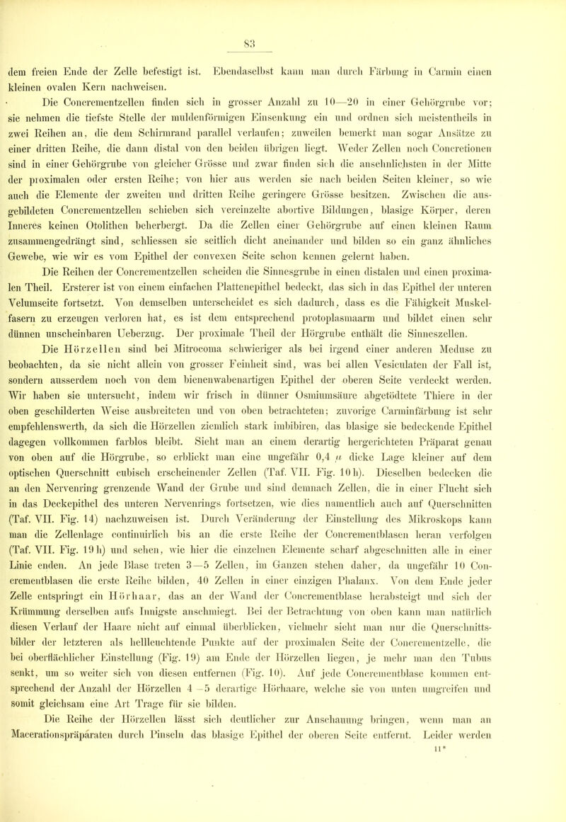 dem freien Ende der Zelle befestigt ist. Ebendaselbst kann man durch Färbung in Carmin einen kleinen ovalen Kern nacliweisen. Die Concrementzellen finden sich in grosser Anzahl zu 10—20 in einer Gehörgrube vor; sie nehmen die tiefste Stelle der muldenförmigen Einsenkung ein und ordnen sich meistentheils in zwei Reihen an, die dem Schirmrand parallel verlaufen; zuweilen bemerkt man sogar Ansätze zu einer dritten Reihe, die dann distal von den beiden übrigen liegt. Weder Zellen noch Concretionen sind in einer Gehörgrube von gleicher Grösse und zwar finden sich die ansehnlichsten in der Mitte der proximalen oder ersten Reihe; von hier aus werden sie nach beiden Seiten kleiner, so wie auch die Elemente der zweiten und dritten Reihe geringere Grösse besitzen. Zwischen die aus- gebildeten Concrementzellen schieben sich vereinzelte abortive Bildungen, blasige Körper, deren Inneres keinen Otolithen beherbergt. Da die Zellen einer Gehörgrube auf einen kleinen Raum zusammengedrängt sind, schliessen sie seitlich dicht aneinander und bilden so ein ganz ähnliches Gewebe, wie wir es vom Epithel der convexen Seite schon kennen gelernt haben. Die Reihen der Concrementzellen scheiden die Sinnesgrube in einen distalen und einen proxima- len Theil. Ersterer ist von einem einfachen Plattenepithel bedeckt, das sich in das Epithel der unteren Yelumseite fortsetzt. Von demselben unterscheidet es sich dadurch, dass es die Fähigkeit Muskel- fasern zu erzeugen verloren hat, es ist dem entsprechend protoplasmaarm und bildet einen sehr dünnen unscheinbaren Ueberzug. Der proximale Theil der Hörgrube enthält die Sinneszellen. Die Hör zellen sind bei Mitrocoma schwieriger als bei irgend einer anderen Meduse zu beobachten, da sie nicht allein von grosser Feinheit sind, was bei allen Vesiculaten der Fall ist, sondern ausserdem noch von dem bienenwabenartigen Epithel der oberen Seite verdeckt werden. Wir haben sie untersucht, indem wir frisch in dünner Osmiumsäure abgetödtete Thiere in der oben geschilderten Weise ausbreiteten und von oben betrachteten; zuvorige Carminfärbung ist sehr empfehlenswerth, da sich die Hörzellen ziemlich stark imbibiren, das blasige sie bedeckende Epithel dagegen vollkommen farblos bleibt. Sieht man an einem derartig hergerichteten Präparat genau von oben auf die Hörgrube, so erblickt man eine ungefähr 0,4 a dicke Lage kleiner auf dem optischen Querschnitt cubisch erscheinender Zellen (Taf. YII. Fig. 10 h). Dieselben bedecken die an den Nervenring grenzende Wand der Grube und sind demnach Zellen, die in einer Flucht sich in das Deckepithel des unteren Nervenrings fortsetzen, wie dies namentlich auch auf Querschnitten (Taf. VII. Fig. 14) nachzuweisen ist. Durch Veränderung der Einstellung des Mikroskops kann man die Zellenlage continuirlich bis an die erste Reihe der Concrementblasen heran verfolgen (Taf. VII. Fig. 19 h) und sehen, wie hier die einzelnen Elemente scharf abgeschnitten alle in einer Linie enden. An jede Blase treten 3—5 Zellen, im Ganzen stehen daher, da ungefähr 10 Con- crementblasen die erste Reihe bilden, 40 Zellen in einer einzigen Phalanx. Von dem Ende jeder Zelle entspringt ein Hör haar, das an der Wand der Concrementblase herabsteigt und sich der Krümmung derselben aufs Innigste anschmiegt. Bei der Betrachtung von oben kann man natürlich diesen Verlauf der Haare nicht auf einmal überblicken, vielmehr sieht man nur die Querschnitts- bilder der letzteren als hellleuchtende Punkte auf der proximalen Seite der Concrementzelle, die bei oberflächlicher Einstellung (Fig. 19) am Ende der Hörzellen liegen, je mehr man den Tubus senkt, um so weiter sich von diesen entfernen (Fig. 10). Auf jede Concrementblase kommen ent- sprechend der Anzahl der Hörzellen 4-5 derartige Hörhaare, welche sie von unten umgreifen und somit gleichsam eine Art Trage für sie bilden. Die Reihe der Hörzellen lässt sich deutlicher zur Anschauung bringen, wenn man an Macerationspräparaten durch Pinseln das blasige Epithel der oberen Seite entfernt. Leider werden li*