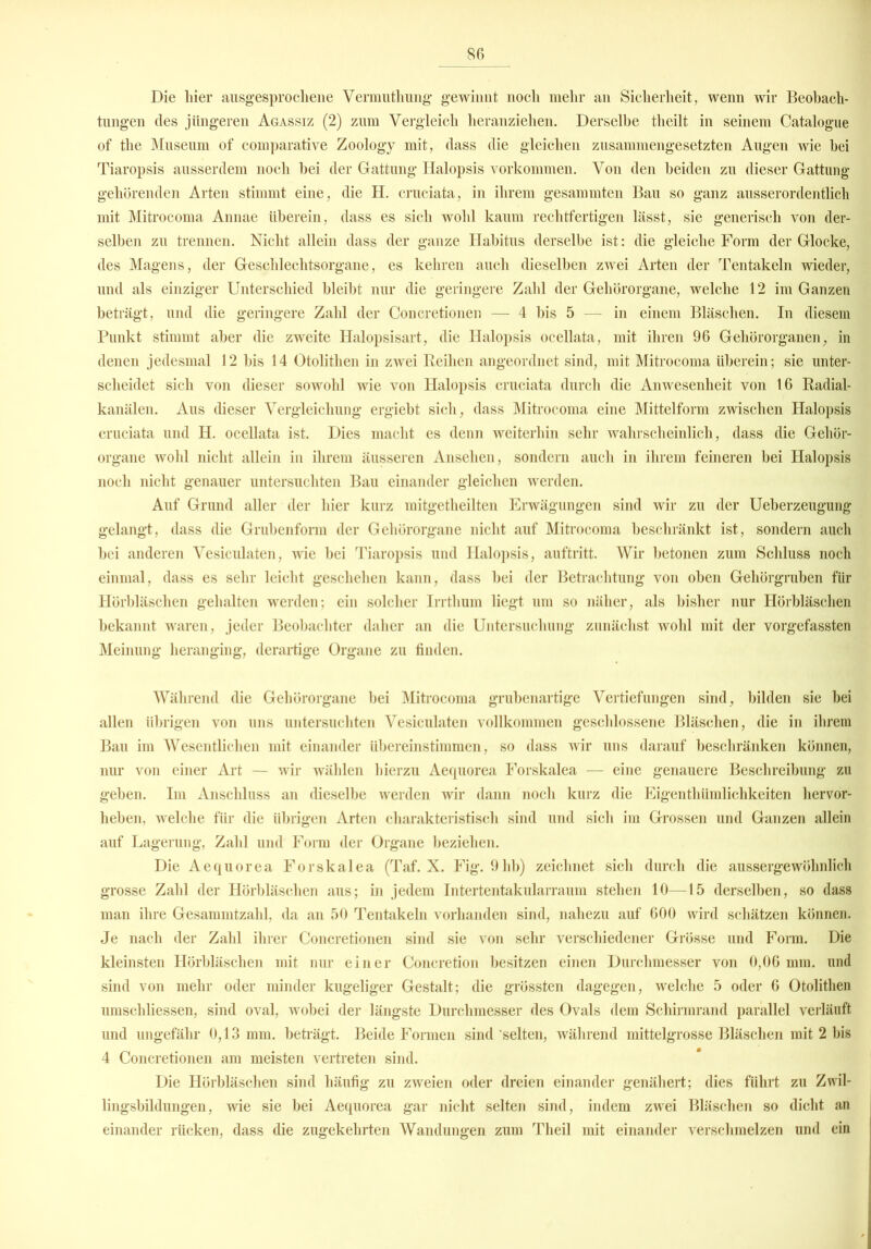 Die hier ausgesprochene Vermuthung gewinnt noch mehr an Sicherheit, wenn wir Beobach- tungen des jüngeren Agassiz (2) zum Vergleich heranziehen. Derselbe theilt in seinem Catalogue of tlie Museum of comparative Zoology mit, dass die gleichen zusammengesetzten Augen wie hei Tiaropsis ausserdem noch hei der Gattung Halopsis Vorkommen. Von den beiden zu dieser Gattung gehörenden Arten stimmt eine, die H. cruciata, in ihrem gesammten Bau so ganz ausserordentlich mit Mitrocoma Annae überein, dass es sich wohl kaum rechtfertigen lässt, sie generisch von der- selben zu trennen. Nicht allein dass der ganze Habitus derselbe ist: die gleiche Form der Glocke, des Magens, der Geschlechtsorgane, es kehren auch dieselben zwei Arten der Tentakeln wieder, und als einziger Unterschied bleibt nur die geringere Zahl der Gehörorgane, welche 12 im Ganzen beträgt, und die geringere Zahl der Concretionen — 4 bis 5 — in einem Bläschen. In diesem Punkt stimmt aber die zweite Halopsisart, die Halopsis ocellata, mit ihren 96 Gehörorganen, in denen jedesmal 12 bis 14 Otolithen in zwei Reihen angeordnet sind, mit Mitrocoma überein; sie unter- scheidet sich von dieser sowohl wie von Halopsis cruciata durch die Anwesenheit von 16 Radial- kanälen. Aus dieser Vergleichung ergiebt sich, dass Mitrocoma eine Mittelform zwischen Halopsis cruciata und H. ocellata ist. Dies macht es denn weiterhin sehr wahrscheinlich, dass die Gehör- organe wohl nicht allein in ihrem äusseren Ansehen, sondern auch in ihrem feineren hei Halopsis noch nicht genauer untersuchten Bau einander gleichen werden. Auf Grund aller der hier kurz mitgetheilten Erwägungen sind wir zu der Ueberzeugung gelangt, dass die Grubenform der Gehörorgane nicht auf Mitrocoma beschränkt ist, sondern auch hei anderen Vesiculaten, wie bei Tiaropsis und Halopsis, auftritt. Wir betonen zum Schluss noch einmal, dass es sehr leicht geschehen kann, dass hei der Betrachtung von oben Gehörgruben für Hörbläschen gehalten werden; ein solcher Irrthum liegt um so näher, als bisher nur Hörbläschen bekannt waren, jeder Beobachter daher an die Untersuchung zunächst wohl mit der vorgefassten Meinung heranging, derartige Organe zu finden. Während die Gehörorgane bei Mitrocoma grubenartige Vertiefungen sind, bilden sie bei allen übrigen von uns untersuchten Vesiculaten vollkommen geschlossene Bläschen, die in ihrem Bau im Wesentlichen mit einander übereinstimmen, so dass wir uns darauf beschränken können, nur von einer Art — wir wählen hierzu Aequorea Forskalea — eine genauere Beschreibung zu geben. Im Anschluss an dieselbe werden wir dann noch kurz die Eigenthiimlichkeiten hervor- heben, welche für die übrigen Arten charakteristisch sind und sich im Grossen und Ganzen allein auf Lagerung, Zahl und Form der Organe beziehen. Die Aequorea Forskalea (Taf. X. Fig. 9hb) zeichnet sich durch die aussergewöhnlich grosse Zahl der Hörbläschen aus; in jedem Intertentakularraum stehen 10—15 derselben, so dass man ihre Gesammtzahl, da an 50 Tentakeln vorhanden sind, nahezu auf 600 wird schätzen können. Je nach der Zahl ihrer Concretionen sind sie von sehr verschiedener Grösse und Form. Die kleinsten Hörbläschen mit nur einer Concretion besitzen einen Durchmesser von 0,06 mm. und sind von mehr oder minder kugeliger Gestalt; die grössten dagegen, welche 5 oder 6 Otolithen umschliessen, sind oval, wobei der längste Durchmesser des Ovals dem Schirmrand parallel verläuft und ungefähr 0,13 mm. beträgt. Beide Formen sind selten, während mittelgrosse Bläschen mit 2 bis 4 Concretionen am meisten vertreten sind. Die Hörbläschen sind häufig zu zweien oder dreien einander genähert; dies führt zu Zwil- lingsbildungen, wie sie bei Aequorea gar nicht selten sind, indem zwei Bläschen so dicht an einander rücken, dass die zugekehrten Wandungen zum Theil mit einander verschmelzen und ein