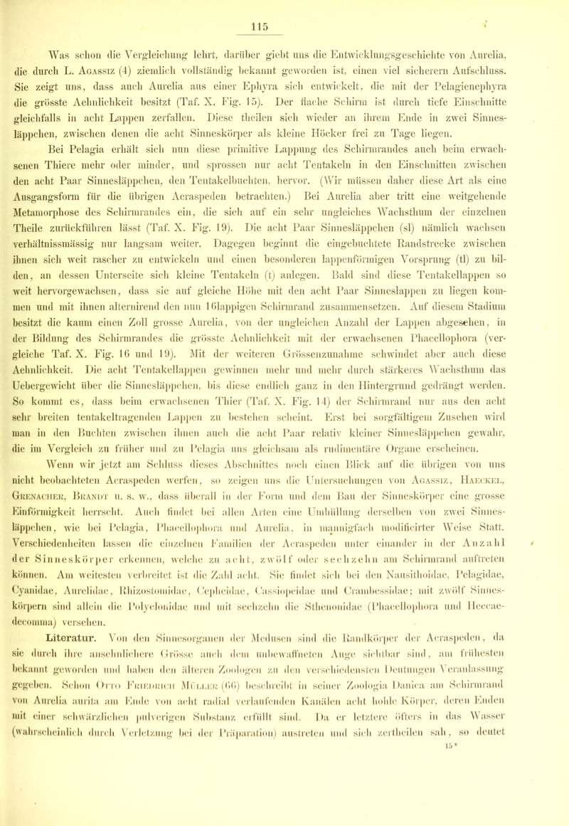 Was schon die Vergleichung' lehrt, darüber giebt uns die Entwicklungsgeschichte von Aurelia, die durch L. Agassiz (4) ziembeb vollständig bekannt geworden ist, einen viel sicherem Aufschluss. Sie zeigt uns, dass auch Aurelia aus einer Ephyra sich entwickelt, die mit der Pelagienephyra die grösste Aehnlichkeit besitzt (Taf. X. Fig. 15). Der flache Schirm ist durch tiefe Einschnitte gleichfalls in acht Lappen zerfallen. Diese theilen sich wieder an ihrem Ende in zwei Sinnes- läppchen, zwischen denen die acht Sinneskörper als kleine Höcker frei zu Tage liegen. Bei Pelagia erhält sich nun diese primitive Lappung des Schirmrandes auch heim erwach- senen Thiere mehr oder minder, und sprossen nur acht Tentakeln in den Einschnitten zwischen den acht Paar Sinnesläppchen, den Tentakelbuchten, hervor. (Wir müssen daher diese Art als eine Ausgangsform für die übrigen Acraspeden betrachten.) Bei Aurelia aber tritt eine weitgehende Metamorphose des Schirmrandes ein, die sich auf ein sehr ungleiches Wachsthum der einzelnen Theile zurückführen lässt (Taf. X. Fig. 19). Die acht Paar Sinnesläppchen (sl) nämlich wachsen verhältnissmässig nur langsam weiter. Dagegen beginnt die eingebuchtete Randstrecke zwischen ihnen sich weit rascher zu entwickeln und einen besonderen lappenförmigen Vorsprung (tl) zu bil- den, an dessen Unterseite sich kleine Tentakeln (t) anlegen. Bald sind diese Tentakellappen so weit hervorgewachsen, dass sie auf gleiche Höhe mit den acht Paar Sinneslappen zu liegen kom- men und mit ihnen alternirend den nun 1 Glappigen Schirmrand zusammensetzen. Auf diesem Stadium besitzt die kaum einen Zoll grosse Aurelia, von der ungleichen Anzahl der Lappen abgesehen, in der Bildung des Schirmrandes die grösste Aehnlichkeit mit der erwachsenen Phacellophora (ver- gleiche Taf. X. Fig. 16 und 19). Mit der weiteren Grössenzunahme schwindet aber auch diese Aehnlichkeit. Die acht Tentakellappen gewinnen mehr und mehr durch stärkeres Wachstkum das Uebergewicht über die Sinnesläppchen, bis diese endlich ganz in den Hintergrund gedrängt werden. So kommt es, dass beim erwachsenen Thier (Taf. X. Fig. 14) der Schirmrand nur aus den acht sehr breiten tentakeltragenden Lappen zu bestehen scheint. Erst bei sorgfältigem Zusehen wird man in den Buchten zwischen ihnen auch die acht Paar relativ kleiner Sinnesläppchen gewahr, die im Vergleich zu früher und zu Pelagia uns gleichsam als rudimentäre Organe erscheinen. Wenn wir jetzt am Schluss dieses Abschnittes noch einen Blick auf die übrigen von uns nicht beobachteten Acraspeden werfen, so zeigen uns die Untersuchungen von Agassiz, Haeckel, Grenacher, Brandt u. s. w., dass überall in der Form und dem Bau der Sinneskörper eine grosse Einförmigkeit herrscht. Auch findet bei allen Arten eine Umhüllung derselben von zwei Sinnes- läppchen, wie bei Pelagia, Phacellophora und Aurelia, in mannigfach modificirter Weise Statt. Verschiedenheiten lassen die einzelnen Familien der Acraspeden unter einander in der Anzahl der Sinneskörper erkennen, welche zu acht, zwölf oder sechzehn am Schirmrand auftreten können. Am weitesten verbreitet ist die Zahl acht. Sie findet sich bei den Nausithoidae, Pelagidae, Cyanidae, Aurelidae, Rhizostomidae, Cepheidae, Cassiopeidae und Crambessidae; mit zwölf Sinnes- körpern sind allein die Polyclonidae und mit sechzehn die Sthenonidae (Phacellophora und Heccae- decomma) versehen. Literatur. Von den Sinnesorganen der Medusen sind die Randkörper der Acraspeden, da sie durch ihre ansehnlichere Grösse auch dem unbewaffneten Auge sichtbar sind, am frühesten bekannt geworden und haben den älteren Zoologen zu den verschiedensten Deutungen Veranlassung gegeben. Schon Otto Friedrich Müller (66) beschreibt in seiner Zoologia Danica am Schirmrand von Aurelia aurita am Ende von acht radial verlaufenden Kanälen acht hohle Körper, deren Enden mit einer schwärzlichen pulverigen Substanz erfüllt sind. Da er letztere öfters in das Wasser (wahrscheinlich durch Verletzung bei der Präparation) austreten und sich zertheilen sah, so deutet 15*