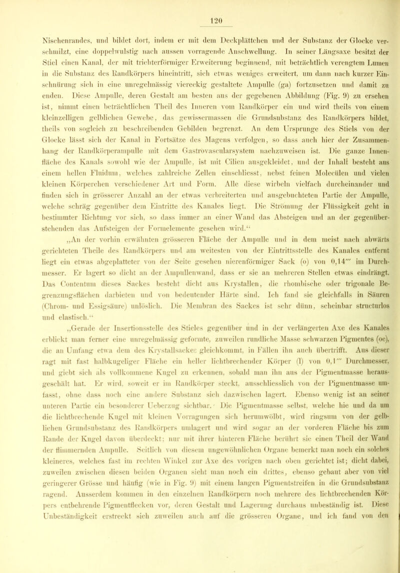 Nischenrandes, und bildet dort, indem er mit dem Deckplättchen und der Substanz der Glocke ver- schmilzt, eine doppelwulstig- nach aussen vorragende Anschwellung. In seiner Längsaxe besitzt der Stiel einen Kanal, der mit trichterförmiger Erweiterung beginnend, mit beträchtlich verengtem Lumen in die Substanz des Randkörpers hineintritt, sich etwas weniges erweitert, um dann nach kurzer Ein- schnürung sich in eine unregelmässig viereckig gestaltete Ampulle (ga) fortzusetzen und damit zu enden. Diese Ampulle, deren Gestalt am besten aus der gegebenen Abbildung* (Fig. 9) zu ersehen ist, nimmt einen beträchtlichen Tlieil des Inneren vom Randkörper ein und wird theils von einem kleinzelligen gelblichen Gewebe, das gewissermassen die Grundsubstanz des Randkörpers bildet, theils von sogleich zu beschreibenden Gebilden begrenzt. An dem Ursprünge des Stiels von der Glocke lässt sich der Kanal in Fortsätze des Magens verfolgen, so dass auch hier der Zusammen- hang der Randkörperampulle mit dem Gastrovascularsystem nachzuweisen ist. Die ganze Innen- fläche des Kanals sowohl wie der Ampulle, ist mit Cilien ausgekleidet, und der Inhalt besteht aus einem hellen Fluidum, welches zahlreiche Zellen einschliesst, nebst feinen Molecülen und vielen kleinen Körperchen verschiedener Art und Form. Alle diese wirbeln vielfach durcheinander und finden sich in grösserer Anzahl an der etwas verbreiterten und ausgebuchteten Partie der Ampulle, welche schräg gegenüber dem Eintritte des Kanales liegt. Die Strömung der Flüssigkeit geht in bestimmter Richtung vor sich, so dass immer an einer Wand das Absteigen und an der gegenüber- stehenden das Aufsteigen der Formelemente gesehen wird.“ „An der vorhin erwähnten grösseren Fläche der Ampulle und in dem meist nach abwärts gerichteten Theile des Randkörpers und am weitesten von der Eintrittsstelle des Kanales entfernt liegt ein etwas abgeplatteter von der Seite gesehen nierenförmiger Sack (o) von 0,14' im Durch- messer. Er lagert so dicht an der Ampullenwand, dass er sie an mehreren Stellen etwas eindrängt. Das Contentum dieses Sackes besteht dicht aus Krystallen, die rhombische oder trigonale Be- grenzungsfiächen darbieten und von bedeutender Härte sind. Ich fand sie gleichfalls in Säuren (Chrom- und Essigsäure) unlöslich. Die Membran des Sackes ist sehr dünn, scheinbar structurlos und elastisch.“ „Gerade der Insertionsstelle des Stieles gegenüber und in der verlängerten Axe des Kanales erblickt man ferner eine unregelmässig gefonnte, zuweilen rundliche Masse schwarzen Pigmentes (oc), die an Umfang etwa dem des Krystallsackee gleichkommt, in Fällen ihn auch übertrifft. Aus dieser ragt mit fast halbkugeliger Fläche ein heller lichtbrechender Körper (1) von 0,1' Durchmesser, und giebt sich als vollkommene Kugel zu erkennen, sobald man ihn aus der Pigmentmasse heraus- geschält hat. Er wird, soweit er im Randkörper steckt, ausschliesslich von der Pigmentmasse um- fasst, ohne dass noch eine andere Substanz sich dazwischen lagert. Ebenso wenig ist an seiner unteren Partie ein besonderer Ueberzug sichtbar. Die Pigmentmasse selbst, welche hie und da um die lichtbrechende Kugel mit kleinen Vorragungen sich herumwölbt, wird ringsum von der gelb- lichen Grundsubstanz des Randkörpers umlagert und wird sogar an der vorderen Fläche bis zum Rande der Kugel davon überdeckt; nur mit ihrer hinteren Fläche berührt sie einen Theil der Wand der flimmernden Ampulle. Seitlich von diesem ungewöhnlichen Organe bemerkt man noch ein solches kleineres, welches fast im rechten Winkel zur Axe des vorigen nach oben gerichtet ist; dicht dabei, zuweilen zwischen diesen beiden Organen sieht man noch ein drittes, ebenso gebaut aber von viel geringerer Grösse und häufig (wie in Fig. 9) mit einem langen Pigmentstreifen in die Grundsubstanz ragend. Ausserdem kommen in den einzelnen Randkörpern noch mehrere des lichtbrechenden Kör- pers entbehrende Pigmentflecken vor, deren Gestalt und Lagerung durchaus unbeständig ist. Diese Unbeständigkeit erstreckt sieb zuweilen auch auf die grösseren Organe, und ich fand von den