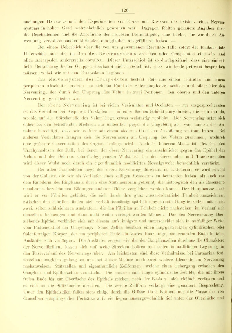 suchungen Haeckel’s und den Experimenten von Eimer und Romanes die Existenz eines Nerven- systems in hohem Grad wahrscheinlich geworden war. Dagegen fehlten genauere Angaben über die Beschaffenheit und die Anordnung der nervösen Bestandteile, eine Lücke, die wir durch An- wendung vervollkommneter Methoden nun glauben ausgefüllt zu haben. — Bei einem Ueberblick über die von uns gewonnenen Resultate fällt sofort der fundamentale Unterschied auf, der im Bau des Nervensystems zwischen allen Craspedoten einerseits und allen Acraspeden andererseits obwaltet. Dieser Unterschied ist so durchgreifend, dass eine einheit- liche Betrachtung beider Gruppen überhaupt nicht möglich ist, dass wir beide getrennt besprechen müssen, wobei wir mit den Craspedoten beginnen. Das Nervensystem der Craspedoten besteht stets aus einem centralen und einem peripheren Abschnitt; ersterer hat sich am Rand der Schwimmglocke localisirt und bildet hier den Nervenring, der durch den Ursprung des Velum in zwei Portionen, den oberen und den unteren Nervenring, geschieden wird. Der obere Nervenring ist bei vielen Vesiculaten und Ocellaten am ausgesprochensten ist das Verhalten bei Aequorea Forskalea — in einer Hachen Schicht ausgebreitet, die sich nur da, wo sie auf der Stützlamelle des Velum' liegt, etwas wulstartig verdickt. Der Nervenring setzt sich daher bei den betreffenden Medusen nur undeutlich gegen die Umgebung ab, was uns zu der An- nahme berechtigt, dass wir es hier mit einem niederen Grad der Ausbildung zu thun haben. Bei anderen Vesiculaten drängen sich die Nervenfasern am Ursprung des Velum zusammen, wodurch eine grössere Concentration des Organs bedingt wird. Noch in höherem Maass ist dies bei den Trachymedusen der Fall, bei denen der obere Nervenring ein ansehnlicher gegen das Epithel des Velum und des Schirms scharf abgegrenzter Wulst ist; bei den Gcryoniden und Trachynemiden wird dieser Wulst noch durch ein eigenthümlich modificirtes Nesselgewebe beträchtlich verstärkt. Bei allen Craspedoten liegt der obere Nervenring durchaus im Ektoderm; er wird sowohl von der Gallerte, die wir als Vorläufer eines zelligen Mesoderms zu betrachten haben, als auch von dem Entoderm des Ringkanals durch eine Stützmembran getrennt, die histologisch den als Basement- raembranes bezeichneten Bildungen anderer Thiere verglichen werden kann. Der Hauptmasse nach wird er von Fibrillen gebildet, die sich durch ihre ganz ausserordentliche Feinheit auszeichnen; zwischen den Eibrillen linden sich verhältnissmässig spärlich eingestreute Ganglienzellen mit meist zwei, selten zahlreicheren Ausläufern, die den Fibrillen an Feinheit nicht nachstehen, im Verlauf sich denselben beimengen und dann nicht weiter verfolgt werden können. Das den Nervenstrang über- ziehende Epithel verbindet sich mit diesem aufs innigste und unterscheidet sich in auffälliger Weise vom Plattenepithel der Umgebung. Seine Zellen besitzen einen langgestreckten cylindrischen oder fadenförmigen Körper, der am peripheren Ende ein zartes Haar trägt, am centralen Ende in feine Ausläufer sich verlängert. Die Ausläufer zeigen wie die der Ganglienzellen durchaus die Charaktere der Nervenfibrillen, lassen sich auf weite Strecken isoliren und treten in natürlicher Lagerung in den Faserverlauf des Nervenrings über. Am leichtesten sind diese Verhältnisse bei Carmarina fest- zustellen; zugleich gelang es uns bei dieser Meduse noch zwei weitere Elemente im Nervenring nachzuweisen: Stützzellen und eigenthiimliche Zeitformen, welche einen Uebergang zwischen den Ganglien- und Epithelzellen vermitteln. Die ersteren sind lange cylindrische Gebilde, die mit ihrem freien Ende bis zur Oberfläche des Epithels reichen, nach der Basis zu sich vielfach zerfasern und so sich an die Stützlamelle inseriren. Die zweite Zellform verlangt eine genauere Besprechung. Unter den Epithelzellen fallen stets einige durch die Grösse ihres Körpers und die Masse der von demselben entspringenden Fortsätze auf; sie liegen aussergewöhnlich tief unter der Oberfläche und