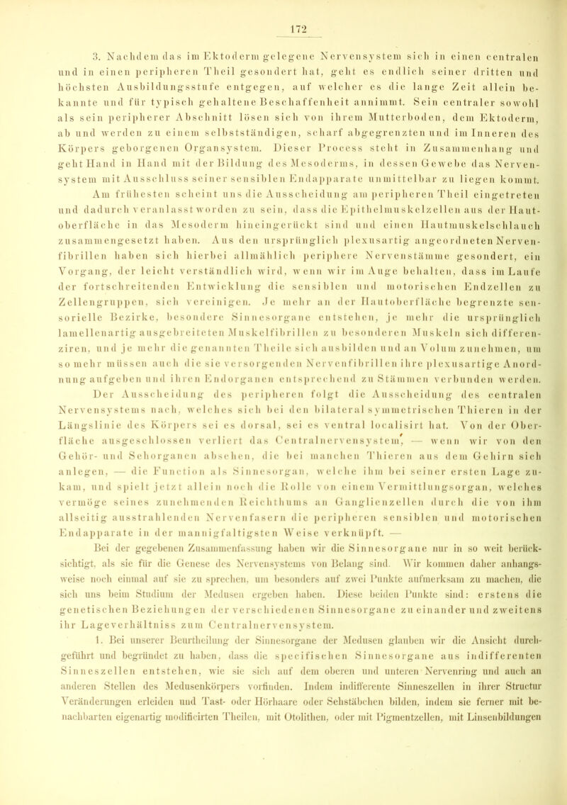 3. Nachdem das im Ektoderm gelegene Nervensystem sich in einen centralen und in einen peripheren Theil gesondert hat, geht es endlich seiner dritten und höchsten Ausbildungsstufe entgegen, auf welcher es die lange Zeit allein be- kannte und für typisch gehaltene Beschaffenheit annimmt. Sein centraler sowohl als sein peripherer Abschnitt lösen sich von ihrem Mutterboden, dem Ektoderm, ab und werden zu einem selbstständigen, scharf abgegrenzten und im Inneren des Körpers geborgenen Organsystem. Dieser Process steht in Zusammenhang und geht Hand in Hand mit der Bildung des Mesoderms, in dessen Gewebe das Nerven- system mit Ausschluss seiner sensiblen Endapparate unmittelbar zu liegen kommt. Am frühesten scheint uns die Ausscheidung am peripheren Theil eingetreten und dadurch veranlasst worden zu sein, dass die Epithelmuskelzellen aus der Haut- oberfläche in das Mesoderm hineingerückt sind und einen Hautmuskelschlauch zusammengesetzt haben. Aus den ursprünglich plexusartig angeordneten Nerven- fibrillen haben sich hierbei allmählich periphere Nervenstämme gesondert, ein Vorgang, der leicht verständlich wird, wenn wir im Auge behalten, dass im Laufe der fortschreitenden Entwicklung die sensiblen und motorischen Endzeilen zu Zellengruppen, sich vereinigen. Je mehr an der Hautoberfläche begrenzte sen- sorielle Bezirke, besondere Sinnesorgane entstehen, je mehr die ursprünglich lamellenartig ausgebreiteten Muskelfibrillen zu besonderen Muskeln sich differen- ziren, und je mehr die genannten Theile sich ausbilden und an Volum zunehmen, um so mehr müssen auch die sie versorgenden Nervenfibrillen ihre plexusartige Anord- nung aufgeben und ihren Endorganen entsprechend zu Stämmen verbunden werden. Der Ausscheidung des peripheren folgt die Ausscheidung des centralen Nervensystems nach, welches sich bei den bilateral symmetrischen Thieren in der Längslinie des Körpers sei es dorsal, sei es ventral localisirt hat. Von der Ober- fläche ausgeschlossen verliert das Centralnervensystem*, — wenn wir von den Gehör- und Sehorganen absehen, die bei manchen Thieren aus dem Gehirn sich anlegen, — die Function als Sinnesorgan, welche ihm bei seiner ersten Lage zu- kam, und spielt jetzt allein noch die Rolle von einem Vermittlungsorgan, welches vermöge seines zunehmenden Reichthums an Ganglienzellen durch die von ihm allseitig ausstrahlenden Nervenfasern die peripheren sensiblen und motorischen Endapparate in der mannigfaltigsten Weise verknüpft. — Bei der gegebenen Zusammenfassung haben wir die Sinnesorgane nur in so weit berück- sichtigt, als sie für die Genese des Nervensystems von Belang sind. Wir kommen daher anhangs- weise noch einmal auf sie zu sprechen, um besonders auf zwei Punkte aufmerksam zu machen, die sich uns beim Studium der Medusen ergeben haben. Diese beiden Punkte sind: erstens die genetischen Beziehungen der verschiedenen Sinnesorgane zu einander und zweitens ihr Lageverhältniss zum Centralnervensystem. 1. Bei unserer Beurtheilung der Sinnesorgane der Medusen glauben wir die Ansicht durch- geführt und begründet zu haben, dass die specifischen Sinnesorgane aus indifferenten Sinneszellen entstehen, wie sie sich auf dem oberen und unteren Nervenring und auch an anderen Stellen des Medusenkörpers vorfiuden. Indem indifferente Sinneszellen in ihrer Structur Veränderungen erleiden und Tast- oder Hörhaare oder Sehstäbchen bilden, indem sie ferner mit be- nachbarten eigenartig raodificirten Theilen, mit Otolithen, oder mit Pigmentzellen, mit Linsenbildungen