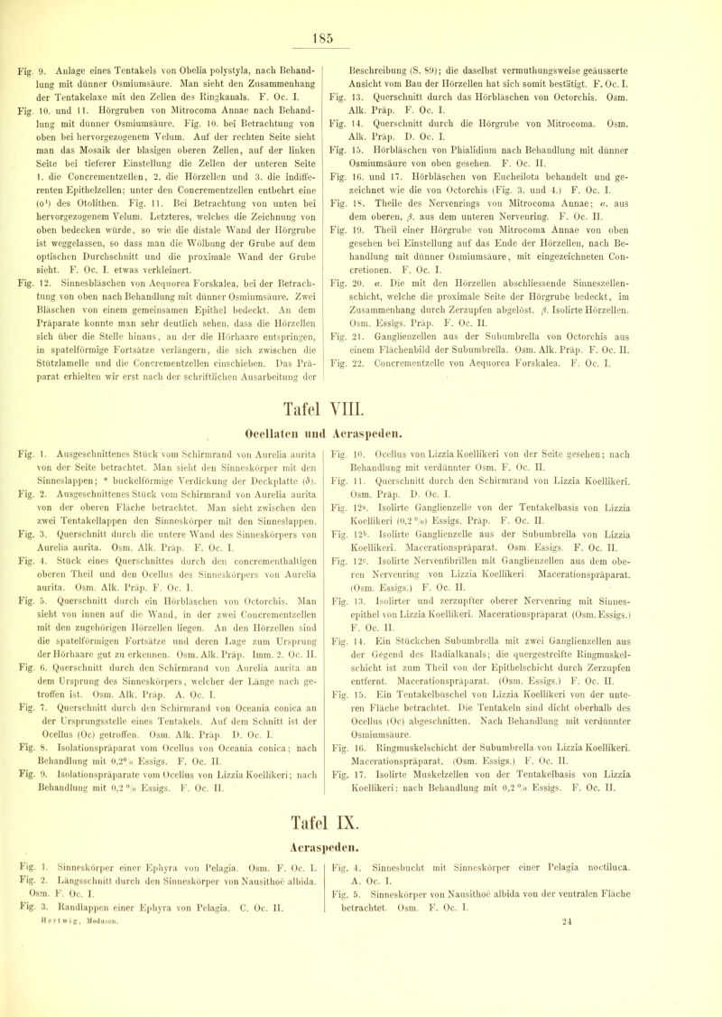 Fig. 9. Anlage eines Tentakels von Obelia polystyla, nach Behand- lung mit dünner Osmiumsäure. Man sieht den Zusammenhang der Tentakelaxe mit den Zellen des Kingkanals. F. Oc. I. Fig. 10. und 11. Hörgruben von Mitrocoma Annae nach Behand- lung mit dünner Osmiumsäure. Fig. 10. bei Betrachtung von oben bei hervorgezogenem Yelum. Auf der rechten Seite sieht man das Mosaik der blasigen oberen Zellen, auf der linken Seite bei tieferer Einstellung die Zellen der unteren Seite 1. die Concrementzellen, 2. die Hörzellen und 3. die indiffe- renten Epithelzellen; unter den Concrementzellen entbehrt eine (ol) des Otolithen. Fig. 11. Bei Betrachtung von unten bei hervorgezogenem Yelum. Letzteres, welches die Zeichnung von oben bedecken würde, so wie die distale Wand der Hörgrube ist weggelassen, so dass man die Wölbung der Grube auf dem optischen Durchschnitt und die proximale Wand der Grube sieht. F. Oc. I. etwas verkleinert. Fig. 12. Sinnesbläschen von Aequorea Forskalea, beider Betrach- tung von oben nach Behandlung mit dünner Osmiumsäure. Zwei Bläschen von einem gemeinsamen Epithel bedeckt. An dem Präparate konnte man sehr deutlich sehen, dass die Hörzellen sich über die Stelle hinaus, an der die Hörhaare entspringen, in spatelförmige Fortsätze verlängern, die sich zwischen die Stützlamelle und die Concrementzellen eiuschieben. Das Prä- parat erhielten wir erst nach der schriftlichen Ausarbeitung der Tafel Ocellaten un< Fig. 1. Ausgeschnittenes Stück vom Schirmrand von Aurelia aurita von der Seite betrachtet. Man sieht den Sinneskörper mit den Sinneslappen; * buckelförmige Verdickung der Deckplatte (5). Fig. 2. Ausgeschnittenes Stück vom Schirmrand von Aurelia aurita von der oberen Fläche betrachtet. Man sieht zwischen den zwei Tentakellappen den Sinneskörper mit den Sinneslappen. Fig. 3. Querschnitt durch die untere Wand des Sinneskörpers von Aurelia aurita. Osm. Alk. Präp. F. Oc. I. Fig. 4. Stück eines Querschnittes durch den concrementhalligen oberen Theil und den Ocellus des Sinneskörpers von Aurelia aurita. Osm. Alk. Präp. F. Oc. 1. Fig. 5. Querschnitt durch ein Hörbläschen von Octorchis. Man sieht von innen auf die Wand, in der zwei Concrementzellen mit den zugehörigen Hörzellen liegen. An den Hörzellen sind die spatelförmigen Fortsätze und deren Lage zum Ursprung der Hörhaare gut zu erkennen. Osm. Alk. Präp. Imm. 2. Oc. II. Fig. 6. Querschnitt durch den Schirmrand von Aurelia aurita an dem Ursprung des Sinneskörpers, welcher der Länge nach ge- troffen ist. Osm. Alk. Präp. A. Oc. I. Fig. 7. Querschnitt durch den Schirmrand von Oceania conica an der Ursprungsstelle eines Tentakels. Auf dem Schnitt ist der Ocellus (Oc) getroffen. Osm. Alk. Präp. D. Oc. I. Fig. 8. Isolationspräparat vom Ocellus von Oceania conica; hach Behandlung mit 0,2°,’o Essigs. F. Oc. II. Fig. 9. Isolationspräparate vom Ocellus von Lizzia Koellikeri; nach Behandlung mit 0,2 °/o Essigs. F. Oc. II. Beschreibung (S. 89); die daselbst vermuthungsweise geäusserte Ansicht vom Bau der Hörzellen hat sich somit bestätigt. F. Oc. I. Fig. 13. Querschnitt durch das Hörbläschen von Octorchis. Osm. Alk. Präp. F. Oc. I. Fig. 14. Querschnitt durch die Hörgrube von Mitrocoma. Osm. Alk. Präp. D. Oc. I. Fig. 15. Hörbläschen von Phialidium nach Behandlung mit dünner Osmiumsäure von oben gesehen. F. Oc. II. Fig. 16. und 17. Hörbläschen von Eucheilota behandelt und ge- zeichnet wie die von Octorchis (Fig. 3. und 4.) F. Oc. I. Fig. IS. Theile des Nervenrings von Mitrocoma Annae; a. aus dem oberen, ß. aus dem unteren Nervenring. F. Oc. II. Fig. 19. Theil einer Hörgrube von Mitrocoma Annae von oben gesehen bei Einstellung auf das Ende der Hörzellen, nach Be- handlung mit dünner Osmiumsäure, mit eingezeichneten Con- cretionen. F. Oc. I. Fig. 20. a. Die mit den Hörzellen abschliessende Sinneszellen- schicht, welche die proximale Seite der Hörgrube bedeckt, im Zusammenhang durch Zerzupfen abgelöst, ß. Isolirte Hörzellen. Osm. Essigs. Präp. F. Oc. II. Fig. 21. Ganglienzellen aus der Subumbrella von Octorchis aus einem Flächenbild der Subumbrella. Osm. Alk. Präp. F. Oc. II. Fig. 22. Concrementzelle von Aequorea Forskalea. F. Oc. I. VIII. Acraspeden. Fig. 10. Ocellus von Lizzia Koellikeri von der Seite gesehen; nach Behandlung mit verdünnter Osm. F. Oc. II. Fig. 11. Querschnitt durch den Schirmrand von Lizzia Koellikeri. Osm. Präp. D. Oc. I. Fig. 12». Isolirte Ganglienzelle von der Tentakelbasis von Lizzia Koellikeri (0,2 °/o) Essigs. Präp. F. Oc. II. Fig. 12i>. Isolirte Ganglienzelle aus der Subumbrella von Lizzia Koellikeri. Macerationspräparat. Osm. Essigs. F. Oc. II. Fig. 12c. Isolirte Nervenfibrillen mit Ganglienzellen aus dem obe- ren Nervenring von Lizzia Koellikeri. Macerationspräparat. (Osm. Essigs.) F. Oc. II. Fig. 13. Isolirter und zerzupfter oberer Nervenring mit Sinnes- epithel von Lizzia Koellikeri. Macerationspräparat (Osm. Essigs.) F. Oc. II. Fig. 14. Ein Stückchen Subumbrella mit zwei Ganglienzellen aus der Gegend des Radialkanals; die quergestreifte Ringmuskel- schicht ist zum Theil von der Epithelschicht durch Zerzupfen entfernt. Macerationspräparat. (Osm. Essigs.) F. Oc. H. Fig. 15. Ein Tentakelbüschel von Lizzia Koellikeri von der unte- ren Fläche betrachtet. Die Tentakeln sind dicht oberhalb des Ocellus (Oc) abgeschnitten. Nach Behandlung mit verdünnter Osmiumsäure. Fig. 16. Ringmuskelschicht der Subumbrella von Lizzia Koellikeri. Macerationspräparat. (Osm. Essigs.) F. Oc. II. Fig. 17. Isolirte Muskelzellen von der Tentakelbasis von Lizzia Koellikeri; nach Behandlung mit 0,2 °/o Essigs. F. Oc. II. Tafel IX. Acraspeden. Fig. 1. Sinneskörper einer Ephyra von Pelagia. Osm. F. Oc. I. Fig. 2. Längsschnitt durch den Sinneskörper von Nausithoe albida. Osm. F. Oc. I. Fig. 3. Randlappen einer Ephyra von Pelagia. C. Oc. II. Hertwig, Medusen. Fig. 4. Sinnesbucht mit Sinneskörper einer Pelagia noctiluca. A. Oc. I. Fig. 5. Sinneskörper von Nausithoe albida von der ventralen Fläche betrachtet. Osm. F. Oc. I. 24