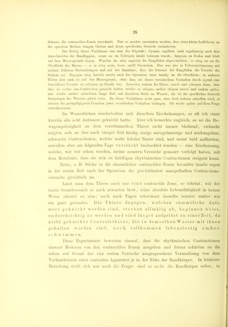 Scheere, die contractilen Zonen aussehnitt. Nur so mochte vermieden werden, dass etwa kleine Luftblasen an der operirten Meduse hängen blieben und deren specifisches Gewicht veränderten. Der Erfolg dieses Verfahrens war nun der folgende: Cyanea capillata sank regelmässig nach dem Ausschneiden der Kandlappen, wenn sie im Uebrigen intakt belassen wuide, langsam zu Boden und blieb auf dem Meeresgründe liegen. Wurden ihr aber zugleich die Fangfäden abgeschnitten, so stieg sie an die Oberfläche des Meeres — so in etwa sechs, bezw. zwölf Versuchen. Dies war also in Uebereinstimmung mit meinen früheren Beobachtungen und mit der Annahme, dass die Schwere der Fangfäden die Ursache des Sinkens sei. Dagegen stieg Aurelia aurita nach der Operation zwar häufig an die Oberfläche, in anderen Fällen aber sank sie auf den Meeresgrund, ohne dass ich dieses verschiedene Verhalten durch irgend eine bemerkbare Ursache zu erklären im Stande war. Zuweilen sanken die Thiere zuerst und schienen dann, ohne dass sie vorher eine Contraction gemacht hatten, wieder zu steigen; andere stiegen zuerst und sanken später, und wieder andere schwebten lange Zeit auf derselben Stelle im Wasser, als ob ihr specifisches Gewicht demjenigen des Wassers gleich wäre. Da dieses Verliältniss nicht ganz, aber doch nahezu zutretfen wird, so müssen die geringfügigsten Ursachen jenes verschiedene Verhalten bedingen. Ich werde später auf diese Frage zurückkommen. Im Wesentlichen wiederholten sich dieselben Erscheinungen, so oft ich einer Aurelia alle acht Antimere geknickt hatte. Aber ich bemerkte zugleich, es sei die Be- wegungslosigkeit au dem verstümmelten Thiere nicht immer bleibend, vielmehr zeigten sich an ihm nach einiger Zeit häufig einige unregelmässige und wirkungslose, schwache Contractionen, welche mehr lokaler Natur sind, und meist bald aufhörten, zuweilen aber am folgenden Tage verstärkt beobachtet wurden — eine Erscheinung, welche, wie wir sehen werden, meine neueren Versuche genauer verfolgt haben, mit dem Resultate, dass sie sich zu kräftigen rhythmischen Contractionen steigern kann. Reize, z. B. Stiche in die sämmtlicher contractiler Zonen beraubte Qualle regen in der ersten Zeit nach der Operation die geschilderten mangelhaften Contractions- versuche gleichfalls au. Lässt man dem Thiere auch nur eine contractile Zone, so scheint, wie der vierte Grundversuch es auch erwarten lässt, seine absolute Lebensfähigkeit in keiner Weise alterirt zu sein: noch nach Tägen schwimmt dasselbe munter umher wie ein ganz gesundes. Die Thiere dagegen, welchen sämmtliche Anti- me re geknickt worden sind, sterben allmälig ab, beginnen weiss, undurchsichtig zu werden und sind längst aufgelöst zu einerZeit, da nicht geknickte Controlethiere, die in demselben Wasser mit ihnen gehalten worden sind, noch vollkommen lebenslustig umher- schwimmen. Diese Experimente beweisen einmal, dass die rhythmischen Contractionen unserer Medusen von den contractilen Zonen ausgehen und ferner erhärten sie die schon auf Grund der vier ersten Versuche ausgesprochene Vermuthung von dem Vorhandensein eines centralen Apparates je in der Nähe der Randkörper. In letzterer Beziehung stellt sich nur noch die Frage: sind es nicht die Randkörper selbst, in