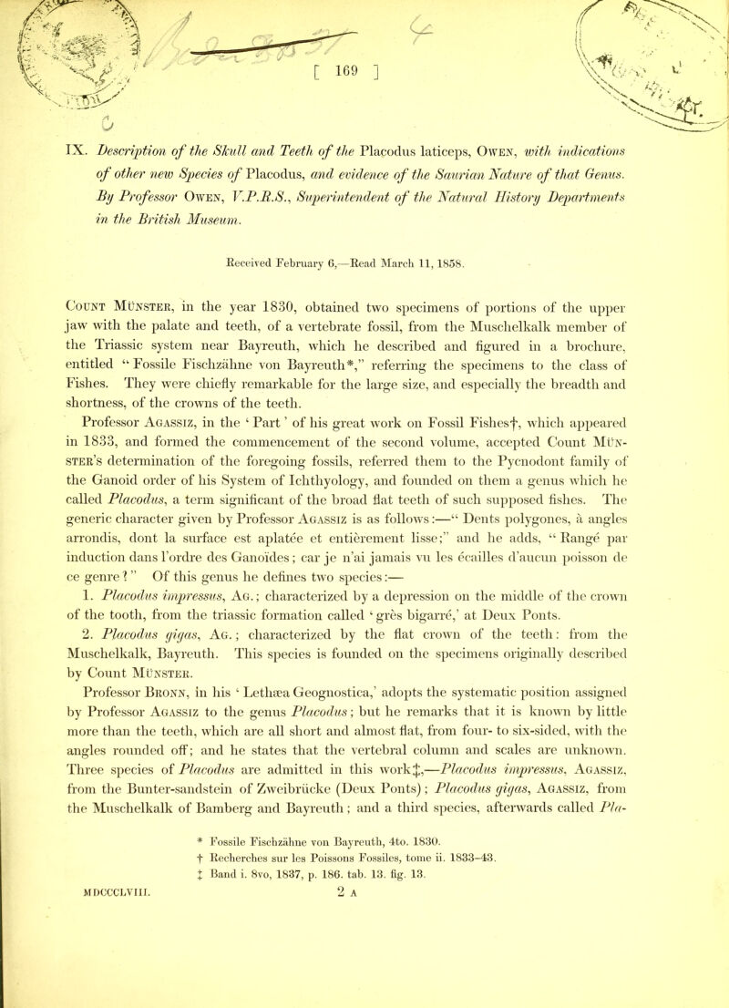 IX. Description of the Skull and Teeth of the Placodus laticeps, Owen, with indications of other new Species of Placodus, and evidence of the Saurian Nature of that Genus. By Professor Owen, V.P.B.S., Superintendent of the Natural History Departments in the British Museum. Beceived February 6,—Bead March 11,1858. Count Munster, in the year 1830, obtained two specimens of portions of the upper jaw with the palate and teeth, of a vertebrate fossil, from the Muschelkalk member of the Triassic system near Bayreuth, which he described and figured in a brochure, entitled “ Fossile Fischzahne von Bayreuth*,” referring the specimens to the class of Fishes. They were chiefly remarkable for the large size, and especially the breadth and shortness, of the crowns of the teeth. Professor Agassiz, in the 4 Part ’ of his great work on Fossil Fishesf, which appeared in 1833, and formed the commencement of the second volume, accepted Count Mun- ster’s determination of the foregoing fossils, referred them to the Pycnodont family of the Ganoid order of his System of Ichthyology, and founded on them a genus which he called Placodus, a term significant of the broad flat teeth of such supposed fishes. The generic character given by Professor Agassiz is as follows:—“ Dents polygones, a angles arrondis, dont la surface est aplatee et entierement lisse;” and he adds, “Range par induction dans l’ordre des Ganoides; car je n’ai jamais vu les ecailles d’aucun poisson de ce genre 1 ” Of this genus he defines two species:— 1. Placodus impressus, Ag. ; characterized by a depression on the middle of the crown of the tooth, from the triassic formation called 4 gres bigarre,’ at Deux Ponts. 2. Placodus gigas, Ag. ; characterized by the flat crown of the teeth: from the Muschelkalk, Bayreuth. This species is founded on the specimens originally described by Count Munster. Professor Bronn, in his 4 Lethsea Geognostica,’ adopts the systematic position assigned by Professor Agassiz to the genus Placodus; but he remarks that it is known by little more than the teeth, which are all short and almost flat, from four- to six-sided, with the angles rounded olf; and he states that the vertebral column and scales are unknown. Three species of Placodus are admitted in this work J,—Placodus impressus, Agassiz, from the Bunter-sandstein of Zweibriicke (Deux Ponts) ; Placodus gigas, Agassiz, from the Muschelkalk of Bamberg and Bayreuth; and a third species, afterwards called Pla- * Fossile Fischzahne von Bayreuth, 4to. 1880. f Becherches sur les Poissons Fossiles, tome ii. 1833-43. J Band i. 8vo, 1837, p. 186. tab. 13. fig. 13. 2 A MDCCCLVIII.