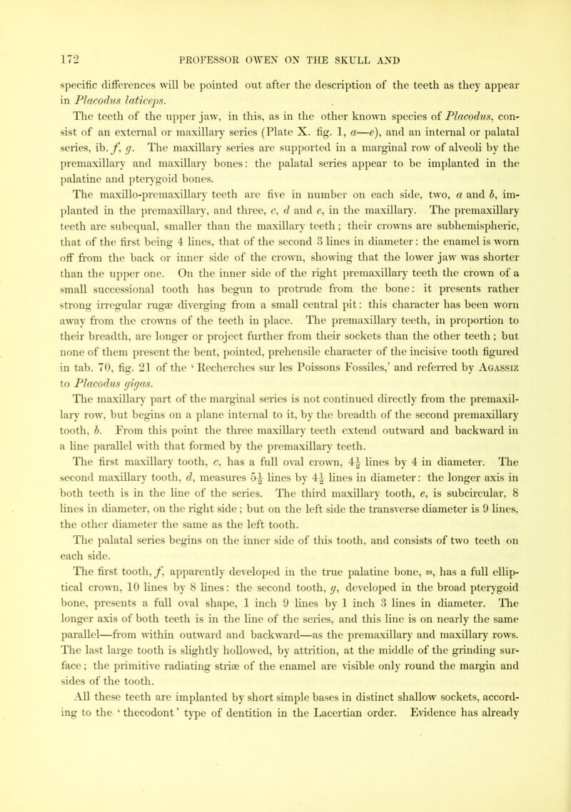specific differences will be pointed out after the description of the teeth as they appear in Placodus laticeps. The teeth of the upper jaw, in this, as in the other known species of Placodus, con- sist of an external or maxillary series (Plate X. fig. 1, a—e), and an internal or palatal series, ib. f, g. The maxillary series are supported in a marginal row of alveoli by the premaxillary and maxillary bones: the palatal series appear to be implanted in the palatine and pterygoid bones. The maxillo-premaxillary teeth are five in number on each side, two, a and b, im- planted in the premaxillary, and three, c, d and e, in the maxillary. The premaxillary teeth are subequal, smaller than the maxillary teeth; their crowns are subhemispheric, that of the first being 4 lines, that of the second 3 lines in diameter: the enamel is worn off from the back or inner side of the crown, showing that the lower jaw was shorter than the upper one. On the inner side of the right premaxillary teeth the crown of a small successional tooth has begun to protrude from the bone: it presents rather strong irregular rugae diverging from a small central pit: this character has been worn away from the crowns of the teeth in place. The premaxillary teeth, in proportion to their breadth, are longer or project further from their sockets than the other teeth; but none of them present the bent, pointed, prehensile character of the incisive tooth figured in tab. 70, fig. 21 of the ‘ Recherches sur les Poissons Fossiles,’ and referred by Agassiz to Placodus gigas. The maxillary part of the marginal series is not continued directly from the premaxil- lary row, but begins on a plane internal to it, by the breadth of the second premaxillary tooth, b. From this point the three maxillary teeth extend outward and backward in a line parallel with that formed by the premaxillary teeth. The first maxillary tooth, c, has a full oval crown, 4^ lines by 4 in diameter. The second maxillary tooth, d, measures 5^ lines by 4^ Hues in diameter: the longer axis in both teeth is in the line of the series. The third maxillary tooth, e, is subcircular, 8 fines in diameter, on the right side; but on the left side the transverse diameter is 9 fines, the other diameter the same as the left tooth. The palatal series begins on the inner side of this tooth, and consists of two teeth on each side. The first tooth, f, apparently developed in the true palatine bone, 20, has a full ellip- tical crown, 10 fines by 8 fines: the second tooth, g, developed in the broad pterygoid bone, presents a full oval shape, 1 inch 9 fines by 1 inch 3 fines in diameter. The longer axis of both teeth is in the fine of the series, and this fine is on nearly the same parallel—from within outward and backward—as the premaxillary and maxillary rows. The last large tooth is slightly hollowed, by attrition, at the middle of the grinding sur- face ; the primitive radiating striae of the enamel are visible only round the margin and sides of the tooth. All these teeth are implanted by short simple bases in distinct shallow sockets, accord- ing to the ‘ thecodont ’ type of dentition in the Lacertian order. Evidence has already
