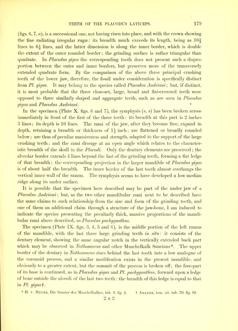 (figs. 6, 7,«), is a successional one, not having risen into place, and with the crown showing the fine radiating irregular rugae: its breadth much exceeds its length, being as 101- lines to 6^ lines, and the latter dimension is along the inner border, which is double the extent of the outer rounded border; the grinding surface is rather triangular than quadrate. In Placodus gigas the corresponding tooth does not present such a dispro- portion between the outer and inner borders, but preserves more of the transversely extended quadrate form. By the comparison of the above three principal crushing teeth of the lower jaw, therefore, the fossil under consideration is specifically distinct from PI. gigas. It may belong to the species called Placodus Andriani; but, if distinct, it is most probable that the three close-set, large, broad and flat-crowned teeth were opposed to three similarly shaped and aggregate teeth, such as are seen in Placodus gigas and Placodus Andriani. In the specimen (Plate X. figs. 6 and 7), the symphysis (s, s) has been broken across immediately in front of the first of the three teeth: its breadth at this part is 2 inches 3 lines; its depth is 10 lines. The rami of the jaw, after they become free, expand in depth, retaining a breadth or thickness of 1^ inch; are flattened or broadly rounded below; are thus of peculiar massiveness and strength, adapted to the support of the large crushing teeth; and the rami diverge at an open angle which relates to the character- istic breadth of the skull in the Placodi. Only the dentary elements are preserved; the alveolar border extends 4 lines beyond the last of the grinding teeth, forming a flat ledge of that breadth; the corresponding projection in the larger mandible of Placodus gigas is of about half the breadth. The inner border of the last tooth almost overhangs the vertical inner wall of the ramus. The symphysis seems to have developed a low median ridge along its under surface. It is possible that the specimen here described may be part of the under jaw of a Placodus Andriani; but, as the two other mandibular rami next to be described have the same claims to such relationship from the size and form of the grinding teeth, and one of them an additional claim through a structure of the jaw-bone, I am induced to indicate the species presenting the peculiarly thick, massive proportions of the mandi- bular rami above described, as Placodus pachygnathus. The specimen (Plate IX. figs. 3, 4, 5 and 6), is the middle portion of the left ramus of the mandible, with the last three large grinding teeth in situ: it consists of the dentary element, showing the same angular notch in the vertically extended back part which may be observed in Nothosaurus and other Muschelkalk Saurians*. The upper border of the dentary in Nothosaurus rises behind the last tooth into a low analogue of the coronoid process, and a similar modification exists in the present mandible, and obviously to a greater extent, but the summit of the process is broken off; the fore-part of its base is continued, as in Placodus gigas and PI. pachygnathus, forward upon a ledge of bone outside the alveoli of the last two teeth: the breadth of this ledge is equal to that in PI. gigasf. * H. v. Meyek, Die Saurier des Muschelkalkes, tab. 3. fig. 2. f Agas3IZ, tom. cit. tab. 70. fig. 16 2 b 2