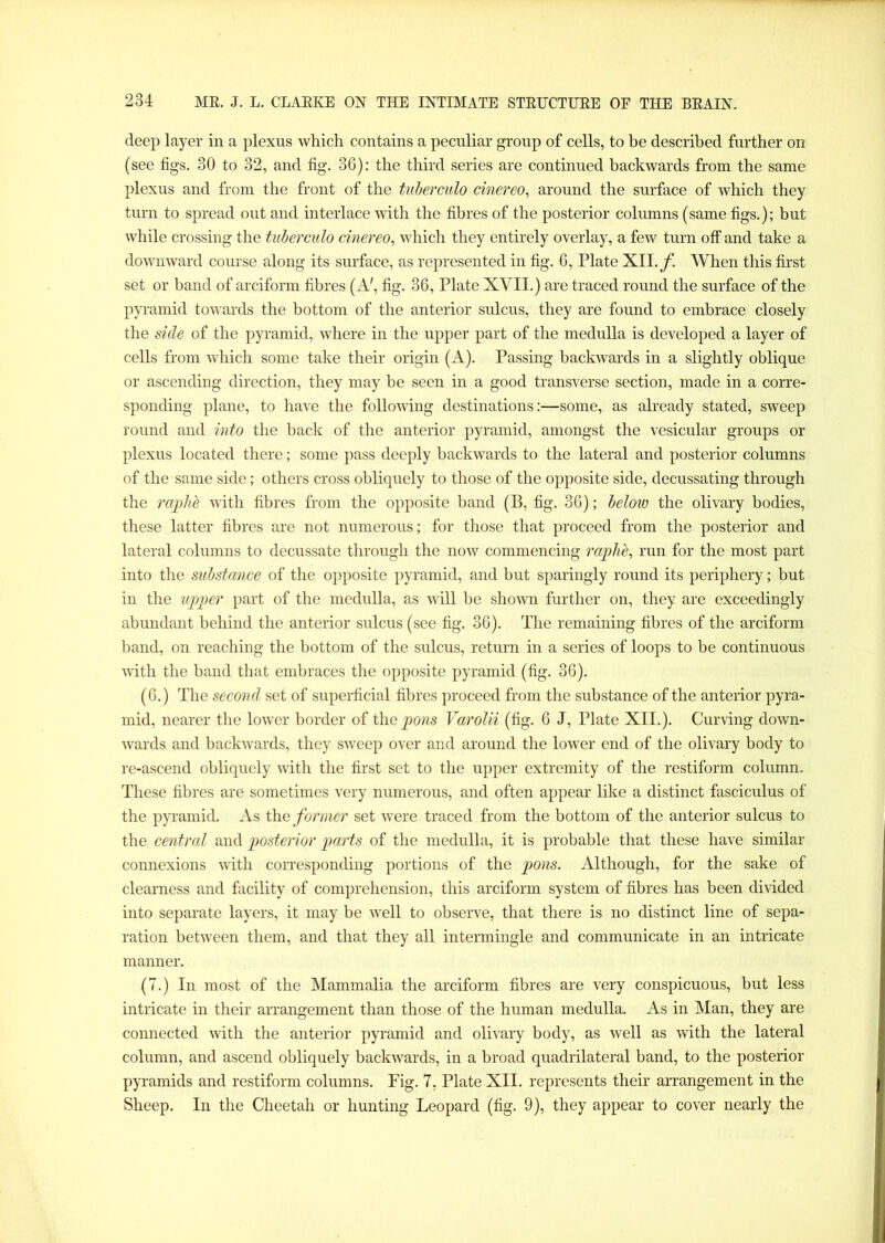 deep layer in a plexus which contains a peculiar group of cells, to be described further on (see figs. 30 to 32, and fig. 36): the third series are continued backwards from the same plexus and from the front of the tuberculo cinereo, around the surface of which they turn to spread out and interlace with the fibres of the posterior columns (same figs.); but while crossing the tuberculo cinereo, which they entirely overlay, a few turn off and take a downward course along its surface, as represented in fig. 6, Plate XII./. When this first set or band of arciform fibres (A', fig. 36, Plate XVII.) are traced round the surface of the pyramid towards the bottom of the anterior sulcus, they are found to embrace closely the side of the pyramid, where in the upper part of the medulla is developed a layer of cells from which some take their origin (A). Passing backwards in a slightly oblique or ascending direction, they may be seen in a good transverse section, made in a corre- sponding plane, to have the following destinations:—some, as already stated, sweep round and into the back of the anterior pyramid, amongst the vesicular groups or plexus located there; some pass deeply backwards to the lateral and posterior columns of the same side; others cross obliquely to those of the opposite side, decussating through the raphb with fibres from the opposite band (B, fig. 36); below the olivary bodies, these latter fibres are not numerous; for those that proceed from the posterior and lateral columns to decussate through the now commencing raphe, run for the most part into the substance of the opposite pyramid, and but sparingly round its periphery; but in the upper part of the medulla, as will be shown further on, they are exceedingly abundant behind the anterior sulcus (see fig. 36). The remaining fibres of the arciform band, on reaching the bottom of the sulcus, return in a series of loops to be continuous with the band that embraces the opposite pyramid (fig. 36). (6.) The second set of superficial fibres proceed from the substance of the anterior pyra- mid, nearer the lower border of the pons Varolii (fig. 6 J, Plate XII.). Curving down- wards and backwards, they sweep over and around the lower end of the olivary body to re-ascend obliquely with the first set to the upper extremity of the restiform column. These fibres are sometimes very numerous, and often appear like a distinct fasciculus of the pyramid. As the former set were traced from the bottom of the anterior sulcus to the central and posterior parts of the medulla, it is probable that these have similar connexions with corresponding portions of the pons. Although, for the sake of clearness and facility of comprehension, this arciform system of fibres has been divided into separate layers, it may be well to observe, that there is no distinct line of sepa- ration between them, and that they all intermingle and communicate in an intricate manner. (7.) In most of the Mammalia the arciform fibres are very conspicuous, but less intricate in their arrangement than those of the human medulla. As in Man, they are connected with the anterior pyramid and olivary body, as well as with the lateral column, and ascend obliquely backwards, in a broad quadrilateral band, to the posterior pyramids and restiform columns. Fig. 7, Plate XII. represents their arrangement in the Sheep. In the Cheetah or hunting Leopard (fig. 9), they appear to cover nearly the