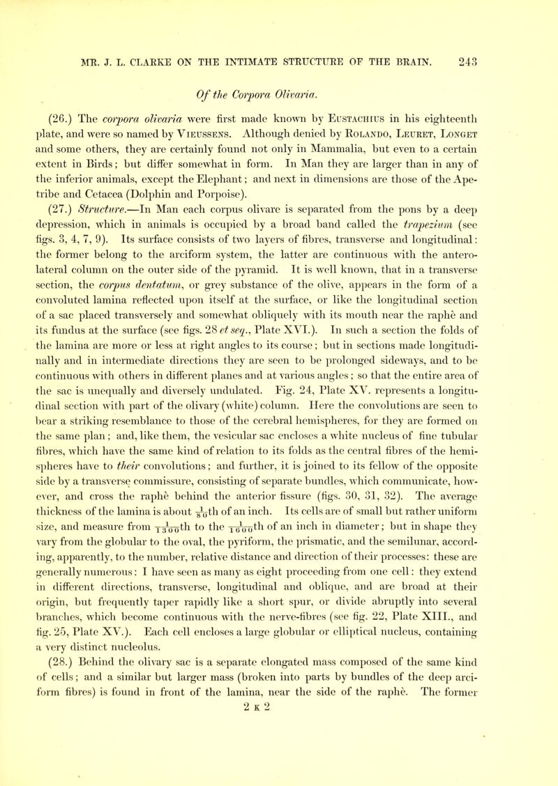 Of the Corpora Olivaria. (26.) The corpora olivaria were first made known by Eustachius in his eighteenth plate, and were so named by Vieussens. Although denied by Rolando, Leuret, Longet and some others, they are certainly found not only in Mammalia, but even to a certain extent in Birds; but differ somewhat in form. In Man they are larger than in any of the inferior animals, except the Elephant; and next in dimensions are those of the Ape- tribe and Cetacea (Dolphin and Porpoise). (27.) Structure.—In Man each corpus olivare is separated from the pons by a deep depression, which in animals is occupied by a broad band called the trapezium (see figs. 3, 4, 7, 9). Its surface consists of two layers of fibres, transverse and longitudinal: the former belong to the arciform system, the latter are continuous with the antero- lateral column on the outer side of the pyramid. It is well known, that in a transverse section, the corpus dentatum, or grey substance of the olive, appears in the form of a convoluted lamina reflected upon itself at the surface, or like the longitudinal section of a sac placed transversely and somewhat obliquely with its mouth near the raphe and its fundus at the surface (see figs. 28 etsep, Plate XVI.). In such a section the folds of the lamina are more or less at right angles to its course; but in sections made longitudi- nally and in intermediate directions they are seen to be prolonged sideways, and to be continuous with others in different planes and at various angles; so that the entire area of the sac is unequally and diversely undulated. Fig. 24, Plate XV. represents a longitu- dinal section with part of the olivary (white) column. Here the convolutions are seen to bear a striking resemblance to those of the cerebral hemispheres, for they are formed on the same plan; and, like them, the vesicular sac encloses a white nucleus of fine tubular fibres, which have the same kind of relation to its folds as the central fibres of the hemi- spheres have to their convolutions; and further, it is joined to its fellow of the opposite side by a transverse commissure, consisting of separate bundles, which communicate, how- ever, and cross the raphe behind the anterior fissure (figs. 30, 31, 32). The average thickness of the lamina is about -g^th of an inch. Its cells are of small but rather uniform size, and measure from TWoth to the Ytroo^ °f an inch in diameter; but in shape they vary from the globular to the oval, the pyriform, the prismatic, and the semilunar, accord- ing, apparently, to the number, relative distance and direction of their processes: these are generally numerous: I have seen as many as eight proceeding from one cell: they extend in different directions, transverse, longitudinal and oblique, and are broad at their origin, but frequently taper rapidly like a short spur, or divide abruptly into several branches, which become continuous with the nerve-fibres (see fig. 22, Plate XIII., and fig. 25, Plate XV.). Each cell encloses a large globular or elliptical nucleus, containing a very distinct nucleolus. (28.) Behind the olivary sac is a separate elongated mass composed of the same kind of cells; and a similar but larger mass (broken into parts by bundles of the deep arci- form fibres) is found in front of the lamina, near the side of the raphe. The former 2 k 2