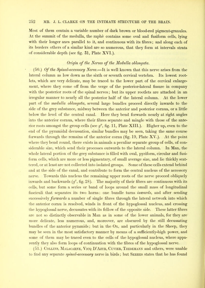 Most of them contain a variable number of dark brown or blood-red pigment-granules. At the summit of the medulla, the raphe contains some oval and fusiform cells, lying with their longer axes parallel to it, and continuous with its fibres; and along each of its borders others of a similar kind are so numerous, that they form at intervals strata of considerable depth (see fig. 31, Plate XVI.). Origin of the Nerves of the Medulla oblongata. (50.) Of the Spinal-accessory Nerve.—It is well known that this nerve arises from the lateral column as low down as the sixth or seventh cervical vertebra. Its lowest root- lets, which are very delicate, may be traced to the lower part of the cervical enlarge- ment, where they come off from the verge of the posterior-lateral fissure in company with the posterior roots of the spinal nerves; but its upper rootlets are attached in an irregular manner to nearly all the posterior half of the lateral column. At the lower part of the medulla oblongata, several large bundles proceed directly inwards to the side of the grey substance, midway between the anterior and posterior cornua, or a little below the level of the central canal. Here they bend forwards nearly at right angles into the anterior cornua, where their fibres separate and mingle with those of the ante- rior roots amongst the group cells (see g, fig. 11, Plate XIII.). Higher up, even to the end of the pyramidal decussation, similar bundles may be seen, taking the same course forwards through the remains of the anterior cornu (fig. 19, Plate XV.). At the point where they bend round, there exists in animals a peculiar separate group of cells, of con- siderable size, which send their processes outwards to the lateral column. In Man, the whole lateral portion of the grey substance is filled with oval, pyriform, circular and fusi- form cells, which are more or less pigmentary, of small average size, and lie thickly scat- tered, or at least are not collected into isolated groups. Some of these cells extend behind and at the side of the canal, and contribute to form the central nucleus of the accessory nerve. Towards this nucleus the remaining upper roots of the nerve proceed obliquely inwards and backwards (</, fig. 28). The majority of their fibres are continuous with its cells, but some form a series or band of loops around the small mass of longitudinal fasciculi that separates its two horns: one bundle turns inwards, and after sending successively forwards a number of single fibres through the lateral network into which the anterior cornu is resolved, winds in front of the hypoglossal nucleus, and crossing the hypoglossal nerve, decussates with its fellow of the opposite side. These latter fibres are not so distinctly observable in Man as in some of the lower animals, for they are more delicate, less numerous, and, moreover, are obscured by the still decussating bundles of the anterior pyramids; but in the Ox, and particularly in the Sheep, they may be seen in the most satisfactory manner by means of a sufficiently-high power, and some of them may be traced even to the cells of the hypoglossal nucleus, where appa- rently they also form loops of continuation with the1 fibres of the hypoglossal nerve. (51.) Collins, Malacarne, Vicq D’Aztr, Cuvier, Tiedemann and others, were unable to find any separate spinal-accessory nerve in birds; but Serres states that he has found