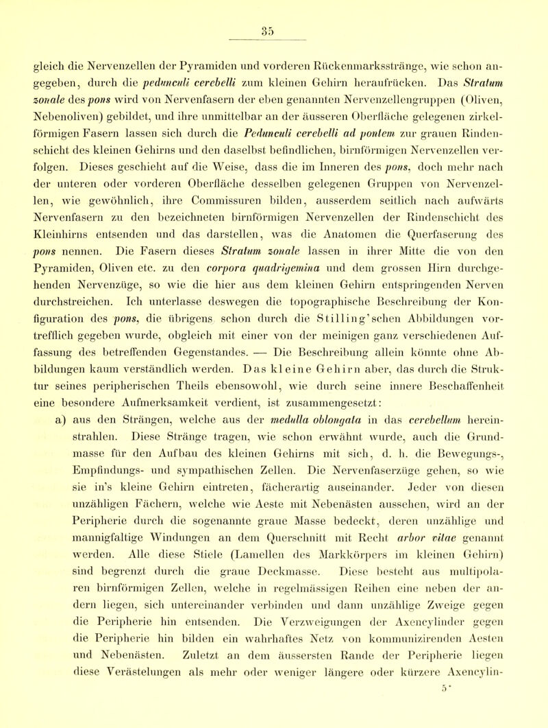 gleich die Nervenzellen der Pyramiden nnd vorderen Riickenmarksstränge, wie schon an- gegeben, durch die peduncidi cerebelU zum kleinen Gehirn hei-aulrücken. Das Stratum zonale despons wird von Nervenfasern der eben genannten Nervenzellengruppen (Oliven, Nebenoliven) gebildet, und ihre unmittelbar an der äusseren Ol)erfläche gelegenen zirkel- förmigen Fasern lassen sich durch die Pedunculi cereheUi ad pontem zur grauen Rinden- schicht des kleinen Gehirns und den daselbst befindlichen, birnförmigen Nervenzellen ver- folgen. Dieses geschieht auf die Weise, dass die im Inneren des pons, doch mehr nach der unteren oder vorderen Oberfläche desselben gelegenen Gruppen von Nervenzel- len, wie gewöhnlich, ihre Commissuren bilden, ausserdem seitlich nach aufwärts Nervenfasern zu den bezeichneten birnförmigen Nervenzellen der Rindenschicht des Kleinhirns entsenden und das darstellen, was die Anatomen die Querfaserung des pons nennen. Die Fasern dieses Stratum zonale lassen in ihrer Mitte die von den Pyramiden, Oliven etc. zu den corpora quadrigemina und dem grossen Hirn durchge- henden Nervenzüge, so wie die hier aus dem kleinen Gehirn entspringenden Nerven durchstreichen. Ich unterlasse deswegen die topographische Beschreibung der Kon- figuration des pons, die übrigens schon durch die S tili in g’sehen Abbildungen vor- trefflich gegeben wurde, obgleich mit einer von der mehligen ganz verschiedenen Auf- fassung des betreffenden Gegenstandes. — Die Beschreibung allein könnte ohne Ab- bildungen kaum verständlich werden. Das kleine Gehirn aber, das durch die Struk- tur seines peripherischen Theils ebensowohl, wie durch seine innere Beschaffenheit eine besondere Aufmerksamkeit verdient, ist zusammengesetzt: a) aus den Strängen, welche aus der medulla oblongata in das cerebellum herein- strahlen. Diese Stränge tragen, wie schon erwähnt wurde, auch die Grund- masse für den Aufbau des kleinen Gehirns mit sich, d. h. die Bewegungs-, Empfindungs- und sympathischen Zellen. Die Nervenfaserzüge gehen, so wie sie in’s kleine Gehirn eintreten, fächerartig auseinander. Jeder von diesen unzähligen Fächern, welche wie Aeste mit Nebenästen aussehen, wird an der Peripherie durch die sogenannte graue Masse bedeckt, deren unzählige und mannigfaltige Windungen an dem Querschnitt mit Recht arbor vilae geiiannt werden. Alle diese Stiele (Lamellen des Markkörpers im kleinen Gehirn) sind begrenzt durcli die graue Deckmasse. Diese liesteht aus multipola- ren birnförmigen Zellen, welche in regelmässigen Reihen eine neben der an- dern liegen, sieh untereinander verliinden und dann unzählige Zweige gegen die Peripherie hin entsenden. Die Verzweigungen der Axencylinder gegen die Peripherie hin bilden ein wahrhaftes Netz von kommunizirenden Aeslen und Nebenästen. Zuletzt an dem äussersten Rande der Peripherie liegen diese Verästelungen als mehr oder weniger längere oder kürzere Axencylin- 5‘
