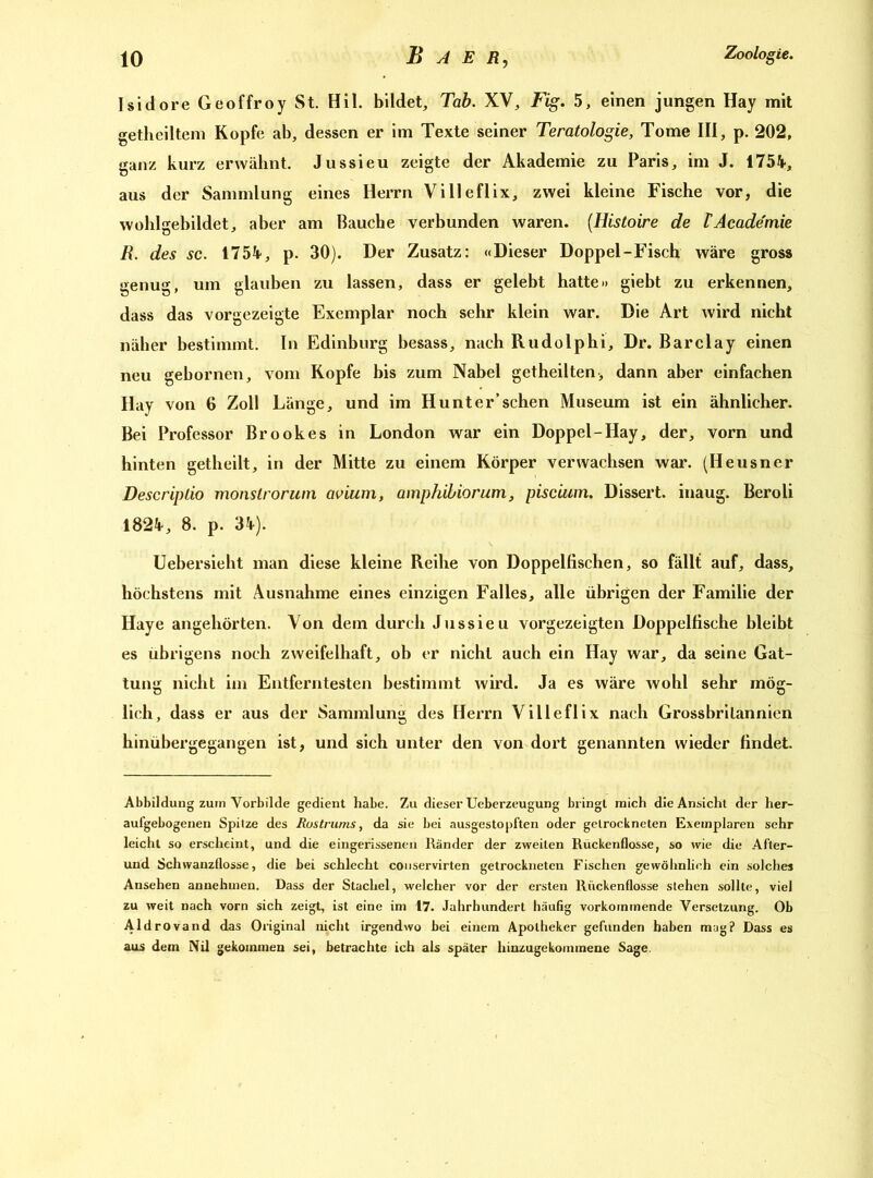 Isidore Geoffroy St. Hil. bildet, Tab. XV, Fig. 5, einen jungen Hay mit getheiltem Kopfe ab, dessen er im Texte seiner Teratologie, Tome III, p. 202, ganz kurz erwähnt. Jussieu zeigte der Akademie zu Paris, im J. 1754, aus der Sammlung eines Herrn Villeflix, zwei kleine Fische vor, die wohlgebildet, aber am Bauche verbunden waren. (.Histoire de lAcademie R. des sc. 1754-, p. 30). Der Zusatz: «Dieser Doppel-Fisch wäre gross genug, um glauben zu lassen, dass er gelebt hatte» giebt zu erkennen, dass das vorgezeigte Exemplar noch sehr klein war. Die Art wird nicht näher bestimmt. In Edinburg besass, nach Rudolphi, Dr. Barclay einen neu gebornen, vom Kopfe bis zum Nabel getheilten-, dann aber einfachen Hay von 6 Zoll Länge, und im Hu nt er’sehen Museum ist ein ähnlicher. Bei Professor Brookes in London war ein Doppel-Hay, der, vorn und hinten getheilt, in der Mitte zu einem Körper verwachsen war. (Heusner Descriplio monslrorum avium, amphibiorum, piscium. Dissert. inaug. Beroli 1824, 8. p. 34). Uebersieht man diese kleine Reihe von Doppelfischen, so fällt auf, dass, höchstens mit Ausnahme eines einzigen Falles, alle übrigen der Familie der Haye angehörten. Von dem durch Jussieu vorgezeigten Doppelfische bleibt es übrigens noch zweifelhaft, ob er nicht auch ein Hay war, da seine Gat- tung nicht im Entferntesten bestimmt wird. Ja es wäre wohl sehr mög- lich, dass er aus der Sammlung des Herrn Villeflix nach Grossbrilannien hinübergegangen ist, und sich unter den von dort genannten wieder findet. Abbildung zum Vorbilde gedient habe. Zu dieser Ueberzeugung bringt mich die Ansicht der her- aufgebogenen Spitze des Rostrums, da sie bei ausgestopften oder getrockneten Exemplaren sehr leicht so erscheint, und die eingerissenen Ränder der zweiten Rückenflosse, so wie die After- und Schwanzflosse, die bei schlecht couservirten getrockneten Fischen gewöhnlich ein solches Ansehen annehmen. Dass der Stachel, welcher vor der ersten Rückenflosse stehen sollte, viel zu weit nach vorn sich zeigt, ist eine im 17. Jahrhundert häufig vorkommende Versetzung. Ob Aldrovand das Original nicht irgendwo bei einem Apotheker gefunden haben mag? Dass es aus dem Nil gekommen sei, betrachte ich als später hinzugekommene Sage.