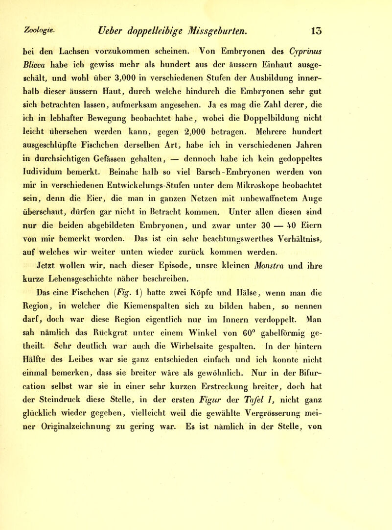 bei den Lachsen vorzukommen scheinen. Von Embryonen des Cyprinus Blicca habe ich gewiss mehr als hundert aus der äussern Einhaut ausge- schält, und wohl über 3,000 in verschiedenen Stufen der Ausbildung inner- halb dieser äussern Haut, durch welche hindurch die Embryonen sehr gut sich betrachten lassen, aufmerksam angesehen. Ja es mag die Zahl derer, die ich in lebhafter Bewegung beobachtet habe, wobei die Doppelbildung nicht leicht übersehen werden kann, gegen 2,000 betragen. Mehrere hundert ausgeschlüpfte Fischchen derselben Art, habe ich in verschiedenen Jahren in durchsichtigen Gefässen gehalten, — dennoch habe ich kein gedoppeltes Iudividum bemerkt. Beinahe halb so viel Barsch-Embryonen werden von mir in verschiedenen Entwickelungs-Stufen unter dem Mikroskope beobachtet sein, denn die Eier, die man in ganzen Netzen mit unbewaffnetem Auge überschaut, dürfen gar nicht in Betracht kommen. Unter allen diesen sind nur die beiden abgebildeten Embryonen, und zwar unter 30 — 40 Eiern von mir bemerkt worden. Das ist ein sehr beachtungswerthes Verhältnis, auf welches wir weiter unten wieder zurück kommen werden. Jetzt wollen wir, nach dieser Episode, unsre kleinen Monstra und ihre kurze Lebensgeschichte näher beschreiben. Das eine Fischchen (Fig. 1) hatte zwei Köpfe und Hälse, wenn man die Region, in welcher die Kiemenspalten sich zu bilden haben, so nennen darf, doch war diese Region eigentlich nur im Innern verdoppelt. Man sah nämlich das Rückgrat unter einem Winkel von 60° gabelförmig ge- theilt. Sehr deutlich war auch die Wirbelsaite gespalten. In der hintern Hälfte des Leibes war sie ganz entschieden einfach und ich konnte nicht einmal bemerken, dass sie breiter wäre als gewöhnlich. Nur in der Bifur- cation selbst war sie in einer sehr kurzen Erstreckung breiter, doch hat der Steindruck diese Stelle, in der ersten Figur der Tafel /, nicht ganz glücklich wieder gegeben, vielleicht weil die gewählte Vergrösserung mei- ner Originalzeichnung zu gering war. Es ist nämlich in der Stelle, von