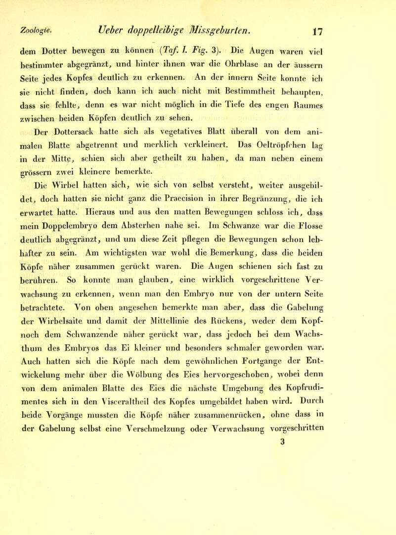 dem Dotter bewegen zu können (Taf. I. Fig. 3). Die Augen waren viel bestimmter abgegränzt, und hinter ihnen war die Ohrblase an der äussern Seite jedes Kopfes deutlich zu erkennen. An der innern Seite konnte ich sie nicht finden, doch kann ich auch nicht mit Bestimmtheit behaupten, dass sie fehlte, denn es war nicht möglich in die Tiefe des engen Raumes zwischen beiden Köpfen deutlich zu sehen. Der Dottersack hatte sich als vegetatives Blatt überall von dem ani- malen Blatte abgetrennt und merklich verkleinert. Das Oeltröpfchen lag in der Mitte, schien sich aber getheilt zu haben, da man neben einem grossem zwei kleinere bemerkte. Die Wirbel hatten sich, wie sich von selbst versteht, wreiter ausgebil- det, doch hatten sie nicht ganz die Praecision in ihrer Begränzung, die ich erwartet hatte. Hieraus und aus den matten Bewegungen schloss ich, dass mein Doppelembryo dem Absterhen nahe sei. Im Schwänze war die Flosse deutlich abgegränzt, und um diese Zeit pflegen die Bewegungen schon leb- hafter zu sein. Am wichtigsten war wohl die Bemerkung, dass die beiden Köpfe näher zusammen gerückt waren. Die Augen schienen sich fast zu berühren. So konnte man glauben, eine wirklich vorgeschrittene Ver- wachsung zu erkennen, wenn man den Embryo nur von der untern Seite betrachtete. Von oben angesehen bemerkte man aber, dass die Gabelung der Wirbelsaite und damit der Mittellinie des Rückens, weder dem Kopf- noch dem Schwanzende näher gerückt war, dass jedoch bei dem Wachs- thum des Embryos das Ei kleiner und besonders schmaler geworden war. Auch hatten sich die Köpfe nach dem gewöhnlichen Fortgange der Ent- wickelung mehr über die Wölbung des Eies hervorgeschoben, wobei denn von dem animalen Blatte des Eies die nächste Umgebung des Kopfrudi- mentes sich in den Visceraltheil des Kopfes umgebildet haben wird. Durch beide Vorgänge mussten die Köpfe näher zusammenrücken, ohne dass in der Gabelung selbst eine Verschmelzung oder Verwachsung vorgeschritten 3