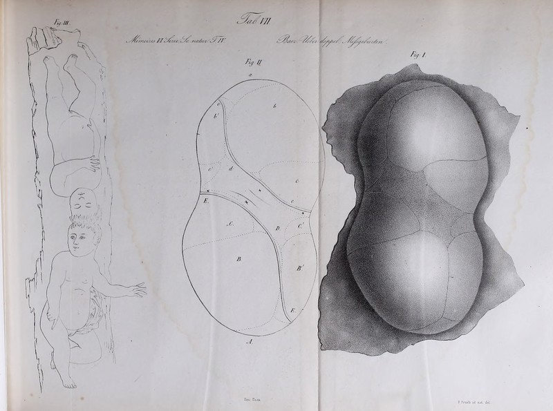 S&meczsj /'I/c ^LS // li$art . F/r/rr O^/t/zr/ 'tsrf^pt/ee rfs>. F Pratfs id