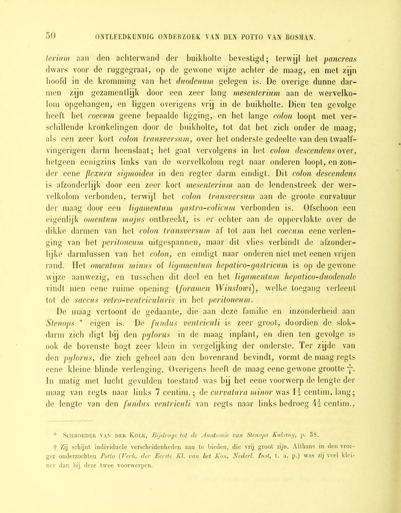 terium aan den achterwand der buikholte bevestigd; terwijl het pancreas dwars voor de ruggegraat, op de gewone wijze achter de maag, en met zijn hoofd in de kromming van het duodenum gelegen is. De overige dunne dar- men zijn gezamentlijk door een zeer lang mesenterium aan de wervelko- lom opgehangen, en liggen overigens vrij in de buikholte. Dien ten gevolge heeft het coecum geene bepaalde ligging, en het lange colon loopt met ver- schillende kronkelingen door de buikholte, tot dat het zich onder de maag, als een zeer kort colon transversum, over het onderste gedeelte van den tvvaalf- vingerigen darm heenslaat; het gaat vervolgens in het colon descendens over, hetgeen eenigzins links van de wervelkolom regt naar onderen loopt, en zon- der eene flcxura sigmoidea in den regter darm eindigt. Dit colon descendens is afzonderlijk door een zeer kort mesenterium aan de lendenstreek der wer- velkolom verbonden, terwijl het colon transversum aan de groote curvatuur der maag door een ligamentum gastro-colicum verbonden is. Ofschoon een eigenlijk omentum majus ontbreekt, is er echter aan de oppervlakte over de dikke darmen van het colon transversum af tot aan het coecum eene verlen- ging van het peritoneum uitgespannen, maar dit vlies verbindt de afzonder- lijke darmlussen van het colon, en eindigt naar onderen niet met eenen vrijen rand. Het omentum minus of ligamentum hepatico-gastricum is op de gewone wijze aanwezig, en tusschen dit deel en het ligamentum hepatico-duodenale vindt men eene ruime opening (foramen Winslowi), welke toegang verleent tot de saccus retro-ventricularis in het peritoneum. De maag vertoont de gedaante, die aan deze familie en inzonderheid aan Stenops * eigen is. De fundus ventriculi is zeer groot, doordien de slok- darm zich digt bij den pylorus in de maag inplant, en dien ten gevolge is ook de bovenste bogt zeer klein in vergelijking der onderste. Ter zijde van den pylorus, die zich geheel aan den bovenrand bevindt, vormt de maag regts eene kleine blinde verlenging. Overigens heeft de maag eene gewone grootte j*. In matig met lucht gevulden toestand was bij het eene voorwerp de lengte der maag van regts naar links 7centim.; de curvatura minor was \i centim, lang; de lengte van den fundus ventriculi van regts naar links bedroeg Ai centim.. * ScHROEDEit van DER Kolk, Bijdrage tot de Anatomie van Stenops Kulcang, p. 38. f Zij schijnt individuele verscheidenheden aan te bieden, die vrij groot zijn. Althans in den vroe- ger onderzochten Potto (Verh. der Eerste KI. van het Kon. Nederl. Inst. t. a, p.) was zij veel klei- ner dan bij deze twee voorwerpen.