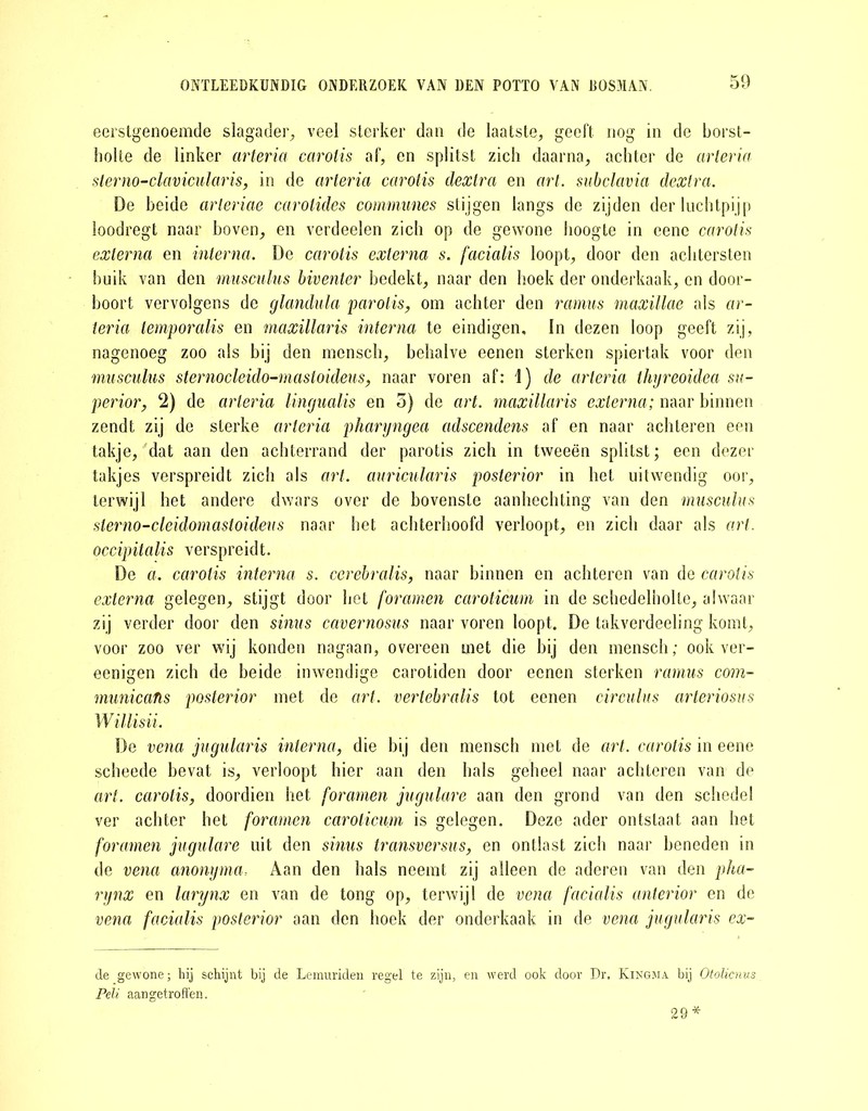 eerstgenoemde slagader, veel sterker dan de laatste, geeft nog in de borst- holte de linker arteria carolis af, en splitst zich daarna, achter de arteria sterno-clavicularis, in de arteria carotis dextra en art. subclavia dextra. De beide arleriae carotides communes stijgen langs de zijden der luchtpijp loodregt naar boven, en verdeelen zich op de gewone hoogte in eene carotis externa en interna. De carotis externa s. facialis loopt, door den achtersten huik van den musculus biventer bedekt, naar den hoek der onderkaak, en door- boort vervolgens de glandula parotis, om achter den ramus maxillae als ar- teria temporalis en maxillaris interna te eindigen, In dezen loop geeft zij, nagenoeg zoo als bij den mensch, behalve eenen sterken spiertak voor den musculus sternocleido-mastoideus, naar voren af: 1) de arteria thyreoidea su- perior, 2) de arteria lingualis en 5) de art. maxillaris externa; naar binnen zendt zij de sterke arteria phanjngea adscendens af en naar achteren een takje, dat aan den achterrand der parotis zich in tweeën splitst; een dezer takjes verspreidt zich als art. auricularis posterior in het uitwendig oor, terwijl het andere dwars over de bovenste aanhechting van den musculus sterno-cleidomastoideus naar het achterhoofd verloopt, en zich daar als art. occipitalis verspreidt. De a. carotis interna s. ccrebralis, naar binnen en achteren van de carolis externa gelegen, stijgt door het foramen caroticum in de schedelbotte, alwaar zij verder door den sinus cavernosus naar voren loopt. De takverdeeling komt, voor zoo ver wij konden nagaan, overeen met die bij den mensch; ook ver- eenigen zich de beide inwendige carotiden door eenen sterken ramus com- municafls posterior met de art. vertebralis tot eenen circulus arteriosus Willisii. De vena jugularis interna, die bij den mensch met de art. carotis in eene scheede bevat is, verloopt hier aan den hals geheel naar achteren van de art. carotis, doordien liet foramen jugulare aan den grond van den schedel ver achter het foramen caroticum is gelegen. Deze ader ontstaat aan het foramen jugulare uit den sinus transversus, en ontlast zich naar beneden in de vena anonyma Aan den hals neemt zij alleen de aderen van den pha- rynx en larynx en van de tong op, terwijl de vena facialis anterior en de vena facialis posterior aan den hoek der onderkaak in de vena jugularis ex- de gewone; hij schijnt bij de Lemuriden regel te zijn, en werd ook door Dr. Kingma bij Otolicnus Pelt aan getroffen. 29*