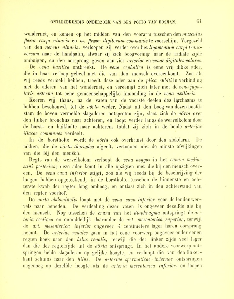 wondernet, en komen op het midden’ van den voorarm tusschen den musculus flexor carpi ulnaris en m. flexor digitorum communis te voorschijn. Vergezeld van den nervus ulnaris, verloopen zij verder over het ligamentum carpi trans- versum naar de handpalm, alwaar zij zich boogvormig naar de radiale zijde ombuigen, en den oorsprong geven aan vier arteriae en venae digitales volares. De vena basilica ontbreekt. De vena cephalica is eene vrij dikke ader, die in haar verloop geheel met die van den mensch overeenkomt. Zoo als wij reeds vermeld hebben, treedt deze ader aan de plica cubiti in verbinding met de aderen van het wondernet, en vereenigt zich later met devenajugu- laris externa tot eene gemeenschappelijke inmonding in de vena axillaris. Keeren wij thans, na de vaten van de voorste deelen des ligchaams te hebben beschouwd, tot de aorta weder. Nadat uit den boog van dezen hoofd- stam de boven vermelde slagaderen ontsproten zijn, slaat zich de aorta over den linker bronchus naar achteren, en loopt verder langs de wervelkolom door de borst- en buikholte naar achteren, totdat zij zich in de beide arteriae iliacae communes verdeelt. In de borstholte wordt de aorta ook overkruist door den slokdarm. De takken, die de aorta thonwica afgeeft, vertoonen niet de minste afwijkingen van die bij den mensch. Regts van de wervelkolom verloopt de vena azggos in het cavum media- stini posterius; deze ader komt in alle opzigten met die bij den mensch over- een. De vena cava inferior stijgt, zoo als wij reeds bij de beschrijving der longen hebben opgeteekend, in de borstholte tusschen de binnenste en ach- terste kwab der regter long omhoog, en ontlast zich in den achterwand van den regter voorhof. De aorta abdominalis loopt met de vena cava inferior voor de lendenwer- vels naar beneden. De verdeeling dezer vaten is ongeveer dezelfde als bij den mensch. Nog tusschen de crura van het diaphragma ontspringt de ar- teria coeliaca en onmiddellijk daaronder de art. mesenterica superior, terwijl de art. mesenterica inferior ongeveer 4 centimeters lager haren oorsprong neemt. De arteriae renales gaan in het eene voorwerp ongeveer onder eenen regten hoek naar den hilus renalis, terwijl die der linker zijde veel lager dan die der regterzijde uit de aorta ontspringt. In het andere voorwerp ont- springen beide slagaderen op gelijke hoogte, en verloopt die van den linker- kant schuins naar den hilus. De arteriae spermaticae internae ontspringen nagenoeg op dezelfde hoogte als de arteria mesenterica inferior, en loopen