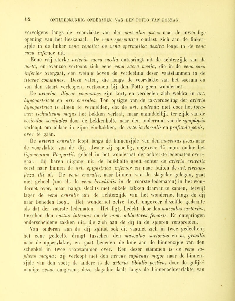 vervolgens langs de voorvlakte van den musculus psoas naar de inwendige opening van het lieskanaal. De vena spermatica ontlast zich aan de linker- zijde in de linker vena renalis; de vena spermatica clextra loopt in de vena cava inferior uit. Eene vrij sterke arteria sacra media ontspringt uit de achterzijde van de aorta, en evenzoo vertoont zich eene vena sacra media, die in de vena cavci inferior overgaat, een weinig hoven de verdeeling dezer vaatstammen in de iliacae communes. Deze vaten, die langs de voorvlakte van het sacrum en van den staart verloopen, vertoonen bij den Potto geen wondernet. De arteriae iliacae communes zijn kort, en verdeelen zich weldra in art. hypogastricae en art. crurales. Ten opzigte van de takverdeeling der arteria hypogaslrica is alleen te vermelden, dat de art. pudenda niet door het fora- men ischiaticum majus het bekken verlaat, maar onmiddellijk ter zijde van de vesiculae seminales door de bekkenholte naar den onderrand van de symphysis verloopt om aldaar in zijne eindtakken, de arteria dorsÈÊs en profundapenis, over te gaan. De arteria cruralis loopt langs de binnenzijde van den musculus psoas naar de voorvlakte van de dij, alwaar zij spoedig, ongeveer 15 m.m. onder het ligamentum Poupartii, geheel in het wondernet der achterste ledematen over- gaat. Bij haren uitgang uit de buikholte geeft echter de arteria cruralis eerst naar binnen de art. epigastrica inferior en naar buiten de art. circum- flexa ilii af. De vena cruralis, naar binnen van de slagader gelegen, gaat niet geheel (zoo als de vena brachialis in de voorste ledematen) in het won- dernet over, maar hangt slechts met enkele takken daarvan te zarnen, terwijl lager de vena cruralis aan de achterzijde van het wondernet langs de dij naar beneden loopt. Het wondernet zelve heeft ongeveer dezelfde gedaante als dat der voorste ledematen. Het ligt, bedekt door den musculus sartorius, tusschen den vastus interims en de m.m. adductores femoris. Er ontspringen onderscheidene takken uit, die zich aan de dij in de spieren verspreiden. Van onderen aan de dij splitst ook dit vaatnet zich in twee gedeelten; het eene gedeelte dringt tusschen den musculus sartorius en m. gracilis naar de oppervlakte, en gaat beneden de knie aan de binnenzijde van den schenkel in twee vaatstammen over. Een dezer stammen is de vena sa- phena rnagna; zij verloopt met den nervus saphems major naar de binnen- zijde van den voet; de andere is de arteria tibialis postica, door de gelijk- namige venae omgeven; deze slagader daalt langs de binnenachtervlakte van