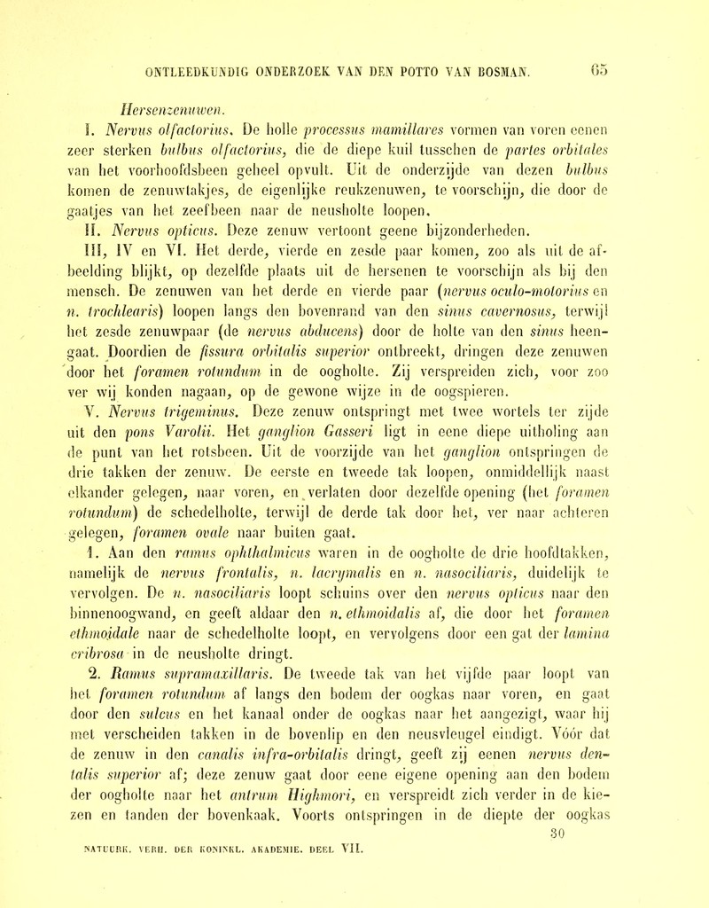 Hersenzenuwen. I. Nervus olfactorius. De holle processus mamillares vormen van voren ecnen zeer sterken bulbus olfactorius, die de diepe kuil tusschen de partes orbitales van het voorhoofdsbeen geheel opvult. Uit de onderzijde van dezen bulbus komen de zenuwtakjes, de eigenlijke reukzenuwen, te voorschijn, die door de gaatjes van het zeef been naar de neusholte loopen. !L Nervus opticus. Deze zenuw vertoont geene bijzonderheden. 111, IV en VI. Het derde, vierde en zesde paar komen, zoo als uil de af- beelding blijkt, op dezelfde plaats uit de hersenen te voorschijn als bij den mensch. De zenuwen van het derde en vierde paar (nervus oculo-motorius en n. trochlearis) loopen langs den bovenrand van den sinus cavernosus, terwijl het zesde zenuwpaar (de nervus abducens) door de holte van den sinus heen- gaat. Doordien de fissura orbitalis superior ontbreekt, dringen deze zenuwen door het foramen rotundum in de oogholte. Zij verspreiden zich, voor zoo ver wij konden nagaan, op de gewone wijze in de oogspieren. V. Nervus trigeminus. Deze zenuw ontspringt met twee wortels ter zijde uit den pons Varolii. Het ganglion Gasseri ligt in eene diepe uitholing aan de punt van het rotsbeen. Uit de voorzijde van het ganglion ontspringen de drie takken der zenuw. De eerste en tweede tak loopen, onmiddellijk naast elkander gelegen, naar voren, en verlaten door dezelfde opening (het foramen rotundum) de schedelholte, terwijl de derde tak door het, ver naar achteren gelegen, foramen ovale naar buiten gaat. 1. Aan den ramus ophthalmicus waren in de oogholte de drie hoofdtakken, namelijk de nervus frontalis, n. lacrymalis en n. nasociliaris, duidelijk te vervolgen. De n. nasociliaris loopt schuins over den nervus opticus naar den binnenoogwand, en geeft aldaar den n. elhmoidalis af, die door het foramen ethmojidale naar de schedelholte loopt, en vervolgens door een gat der lamina cribrosa in de neusholte dringt. 2. Ramus supramaxillaris. De tweede tak van het vijfde paar loopt van het foramen rotundum af langs den bodem der oogkas naar voren, en gaat door den sulcus en het kanaal onder de oogkas naar het aangezigt, waar hij met verscheiden takken in de bovenlip en den neusvleugel eindigt. Vóór dat de zenuw in den canalis infra-orbitalis dringt, geeft zij eenen nervus den- talis superior af; deze zenuw gaat door eene eigene opening aan den bodem der oogholte naar het antrum Highmori, en verspreidt zich verder in de kie- zen en tanden der bovenkaak. Voorts ontspringen in de diepte der oogkas 30 NATUCRK. VERH. DER KONIKKL. AKADEM1E. DEEL VII.