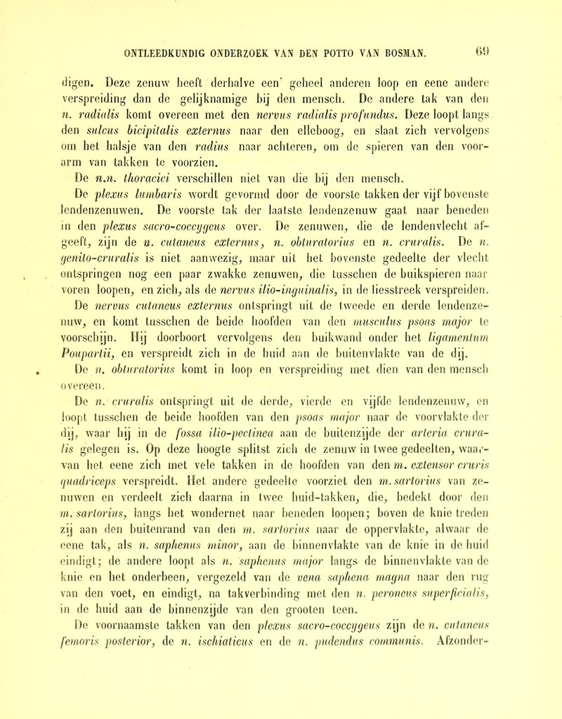 digen. Deze zenuw heeft derhalve een' geheel anderen loop en eene andere verspreiding dan de gelijknamige bij den mensch. De andere tak van den n. radialis komt overeen met den nervus radialis profundus. Deze loopt langs den sulcus bicipitalis externus naar den elleboog, en slaat zich vervolgens om het halsje van den radius naar achteren, om de spieren van den voor- arm van takken te voorzien. De n.n. thoracici verschillen niet van die bij den ïnenseh. De plexus lumbaris wordt gevormd door de voorste takken der vijf bovenste lendenzenuwen. De voorste tak der laatste iendenzenuw gaat naar beneden in den plexus sacro-coccygeus over. De zenuwen, die de lendenvlecht af- geeft, zijn de n. cutaneus externus, n. obturatorius en n. cruralis. De n, genito-cruralis is niet aanwezig, maar uit het bovenste gedeelte der vlecht ontspringen nog een paar zwakke zenuwen, die tusschen de buikspieren naar voren loopen, en zich, als de nervus ilio-inguinalis, in de liesstreek verspreiden. De nervus cutaneus externus ontspringt uit de tweede en derde lendenze- nuw, en komt tusschen de beide hoofden van den musculus psoas major te voorschijn. Hij doorboort vervolgens den buikwand onder het ligamentum Poupartii, en verspreidt zich in de huid aan de buitenvlakte van de dij. De n. obturatorius komt in loop en verspreiding met dien van den mensch overeen. De n. cruralis ontspringt uit de derde, vierde en vijfde lendenzenuw, en loopt tusschen de beide hoofden van den psoas major naar de voorvlakte der dij, waar hij in de fossa ilio-pectinea aan de buitenzijde der arteria crura- lis gelegen is. Op deze hoogte splitst zich de zenuw in twee gedeelten, waar- van het eene zich met vele takken in de hoofden van den m. extensor cruris quadriceps verspreidt. Het andere gedeelte voorziet den m.sartorius van ze- nuwen en verdeelt zich daarna in twee huid-takken, die, bedekt door den m. sartorius, langs het wondernet naar beneden loopen; boven de knie treden zij aan den buitenrand van den m. sartorius naar de oppervlakte, alwaar de eene tak, als n. saphenus minor, aan de binnenvlakte van de knie in de huid eindigt; de andere loopt als n. saphenus major langs de binnenvlakte van de knie en het onderbeen, vergezeld van de vena saphena magna naar den rug van den voet, en eindigt, na takverbinding met den n, peroneus superficialis, in de huid aan de binnenzijde van den grooten teen. De voornaamste takken van den plexus sacro-coccygeus zijn de n. cutaneus femoris posterior, de n. ischiaticus en de n. pudendus communis. Afzonder-