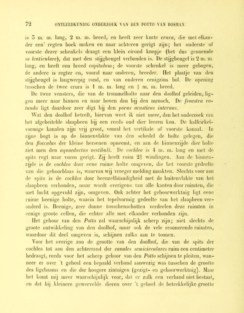 is 5 m. m. lang, 2 m. m. breed, en heeft zeer korte crxira, die met elkan- der een’ regten hoek maken en naar achteren gerigt zijn; het onderste of voorste dezer schenkels draagt een klein eirond knopje (het dus genoemde os lenticulare), dat met den stijgbeugel verbonden is. De stijgbeugel is 2 m. m. lang, en heeft een breed capitulum; de voorste schenkel is meer gebogen, de andere is regter en, vooral naar onderen, breeder. Het plaatje van den stijgbeugel is langwerpig rond, en van onderen eenigzins bol. De opening tusschen de twee crura is 1 m. m. lang en f m. m. breed. De twee vensters, die van de trommelholte naar den doolhof geleiden, lig- gen meer naar binnen en naar boven dan bij den mensch. De fenestra ro- tunda ligt daardoor zeer digt bij den porus acusticus interms. Wat den doolhof betreft, hiervan weet ik niet meer, dan het onderzoek van het afgebeitelde slaapbeen bij een reeds oud dier leeren kon. De halfcirkel- vormige kanalen zijn vrij groot, vooral het vertikale of voorste kanaal. In zijne bogt is op de binnenvlakte van den schedel de holte gelegen, die den flocculus der kleine hersenen opneemt, en aan de binnenzijde dier holle ziet men den aqmeduclus vestibuli. De cochlea is 4 m. m. lang en met de spits regt naar voren gerigt. Zij heeft ruim 2i windingen. Aan de binnen- zijde is de cochlea door eene ruime holte omgeven, die het voorste gedeelte van die gehoorblaas is, waarvan wij vroeger melding maakten. Slechts voor aan de spits is de cochlea door beenzelfstandigheid met de buitenvlakte van het slaapbeen verbonden, maar wordt overigens van alle kanten door ruimten, die met lucht opgevuld zijn, omgeven. Ook achter het gehoorwerktuig ligt eene ruime beenige holte, waarin het tepelvormig gedeelte van het slaapbeen ver- anderd is. Beenige, zeer dunne tusschenschotten verdeelen deze ruimten in eenige groote cellen, die echter alle met elkander verbonden zijn. Het gehoor van den Potlo zal waarschijnlijk scherp zijn; niet slechts de groote ontwikkeling van den doolhof, maar ook de vele resonerende ruimten, waardoor dit deel omgeven is, schijnen zulks aan te toonen. Voor het overige zou de grootte van den doolhof, die van de spits der cochlea tot aan den achterrand der canales semicirculares ruim een centimeter bedraagt, reeds voor het scherp gehoor van den Potlo schijnen te pleiten, wan- neer er over ’t geheel een bepaald verband aanwezig was tusscben de grootte des ligchaams en die der hoogere zintuigen (gezigt- en gehoorwerktuig). Maar het komt mij meer waarschijnlijk voor, dat er zulk een verband niet bestaat, en dat bij kleinere gewervelde dieren over ’L geheel'de betrekkelijke grootte
