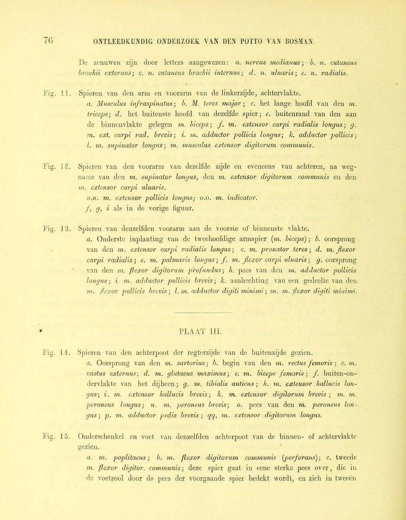 De zenuwen zijn door letters aangewezen: a. nervus medianus; b. n. cutaneus brachii externus; c. n. cutaneus brachii internus; d. n. ulnaris; e. n. radialis. Mg. 11. Spieren van den arm en voorarm van de linkerzijde, achtervlakte. a. Musculus infraspinatus; b. M. ter es major-, c. het lange hoofd van den m. triceps; d. het buitenste hoofd van dezelfde spier; e. buitenrand van den aan de binnenvlakte gelegen m. biceps-, f. m. extensor carpi radialis longus; g. m. ext. carpi rad. brevis; i. m. adductor pollicis longus-, k. adductor pollicis; l. m. supinator longus-, m. musculus extensor digitorum communis. Mg. 12. Spieren van den voorarm van dezelfde zijde en eveneens van achteren, na weg- name van den m. supinator longus, den rn. extensor digitorum communis en den m. extensor carpi ulnaris. n.n. m. extensor pollicis longus; o.o. m. indicator. ƒ, g, i als in de vorige figuur. Mg. 13. Spieren van denzelfden voorarm aan de voorste of binnenste vlakte. a. Onderste inplanting van de tweehoofdige armspier [m. biceps); b. oorsprong van den m. extensor carpi radialis longus-, c. m. pronator teres-, d. m. flexor carpi radialis; e. m. palmaris longus; f. m. flexor carpi ulnaris; g. oorsprong van den rn. flexor digitorum profundus; h. pees van den tri. adductor pollicis longus-, i. m. adductor pollicis brevis-, k. aanhechting van een gedeelte van den rn. flexor pollicis brevis-, l.m. adductor digiti minimi; m. rn. flexor digiti mvnimi. * PLAAT III. Mg. 14. Spieren van den achterpoot der regterzijde van de buitenzijde gezien. a. Oorsprong van den m. sartorius; b. begin van den rn. rectus femoris; c. rn. vastus externus; d. m. glutaeus maximus; e. m. biceps femoris-, f. buiten-on- dervlakte van het dijbeen; g. m. tibialis anticus; h. m. extensor hallucis lon- gus-, i. m. extensor hallucis brevis-, k. m. extensor digitorum brevis-, m. m. peroneus longus-, n. rn. peroneus brevis-, o. pees van den rn. peroneus lon- gus; p. m. adductor pedis brevis; qq, m. extensor digitorum longus. Mg. 15. Onderschenkel en voet van denzelfden achterpoot van de binnen- of achtervlakte gezien. a. m. poplitaeus; b. m. flexor digitorum communis (perforans); c. tweede m. flexor digitor. communis; deze spier gaat in eene sterke pees over, die in de voetzool door de pees der Voorgaande spier bedekt wordt, en zich in tweeën