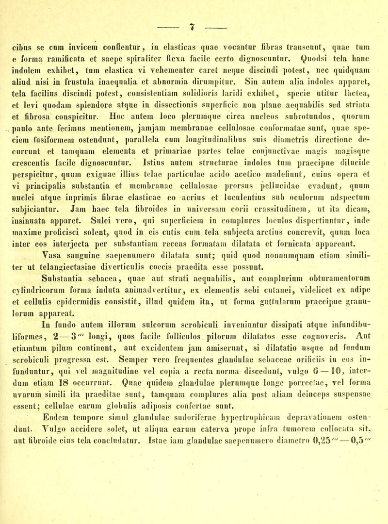 1 cibus se cura invicem conflentur, in elasticas quae vocantur fibras transeunt, quae tura e forma ramificata et saepe spiraliter flexa facile certo dignoscuntur. Quodsi tela hanc indolem exliibet, tura elastica vi vehementer caret neque discindi potest, nec quidquam aliud nisi in frustula inaequalia et abnormia dirumpitur. Sin autem alia indoles apparet, tela facilius discindi potest, consistentiam solidioris laridi exhibet, specie utitur lactea, et levi quodam splendore atque in dissectionis superficie non plane aequabilis sed striata et fibrosa conspicitur. Hoc autem loco plerumque circa nucleos subrotundos, quorum paulo ante fecimus mentionem, jam jam membranae cellulosae conformatae sunt, quae spe- ciem fusiformem ostendunt, parallela cum longitudinalibus suis diametris directione de- currunt et tamquam elementa et primariae partes telae conjunctivae magis magisque crescentis facile dignoscuntur. Istius autem structurae indoles tum praecipue dilucide perspicitur, quum exiguae illius telae particulae acido acetico madefiunt, cuius opera et vi principalis substantia et membranae cellulosae prorsus pellucidae evadunt, quum nuclei atque inprimis fibrae elasticae eo acrius et luculentius sub oculorum adspectum subjiciantur. Jam haec tela fibroides in universam corii crassitudinem, ut ita dicam, insinuata apparet. Sulci vero, qui superficiem in complures loculos dispertiuntur, inde maxime proficisci solent, quod in eis cutis cum tela subjecta arctius concrevit, quum loca inter eos interjecta per substantiam recens formatam dilatata et fornicata appareant. Vasa sanguine saepenumero dilatata sunt; quid quod nonnumquam etiam simili- ter ut telangiectasiae diverticulis coecis praedita esse possunt. Substantia sebacea, quae aut strati aequabilis, aut complurium obturamentorum cylindricorum forma induta animadvertitur, ex elementis sebi cutanei, videlicet ex adipe et cellulis epidermidis consistit, illud quidem ita, ut forma guttularum praecipue granu- lorum appareat. In fundo autem illorum sulcorum scrobiculi inveniuntur dissipati atque infundibu- lifornies, 2 — 3' longi, quos facile folliculos pilorum dilatatos esse cognoveris. Aut etiamtum pilum continent, aut excidentem jam amiserunt, si dilatatio usque ad fundum scrobiculi progressa est. Semper vero frequentes glandulae sebaceae orificiis in eos in- funduntur, qui vel magnitudine vel copia a recta norma discedunt, vulgo 6—10, inter- dum etiam 18 occurrunt. Quae quidem glandulae plerumque longe porrectae, vel forma uvarum simili ita praeditae sunt, tamquam complures alia post aliam deinceps suspensae essent; cellulae earum globulis adiposis confertae sunt. Eodem tempore simul glandulae sudoriferae hypertrophicam depravationem osten- dunt. Yulgo accidere solet, ut aliqua earum caterva prope infra tumorem collocata sit,