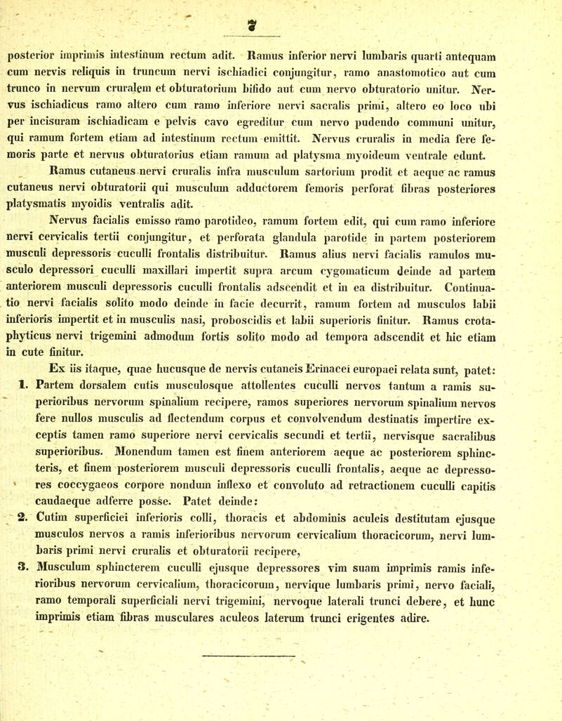 9 posterior imprimis intestinum rectum adit. Ramus inferior nervi lumbaris quarti antequam cum nervis reliquis in truncum nervi ischiadici conjungitur, ramo anastomotico aut cum trunco in nervum cruralem et obturatorium bifido aut cum nervo obturatorio unitur. Ner- vus ischiadicus ramo altero cum ramo inferiore nervi sacralis primi, altero eo loco ubi per incisuram ischiadicam e pelvis cavo egreditur cum nervo pudendo communi unitur, qui ramum fortem etiam ad intestinum rectum emittit. Nervus cruralis in media fere fe- moris parte et nervus obturatorius etiam ramum ad platysma myoideum ventrale edunt. Ramus cutaneus nervi cruralis infra musculum sartorium prodit et aeque ac ramus cutaneus nervi obturatorii qui musculum adductorem femoris perforat fibras posteriores platysmatis myoidis ventralis adit. Nervus facialis emisso ramo parotideo, ramum fortem edit, qui cum ramo inferiore nervi cervicalis tertii conjungitur, et perforata glandula parotide in partem posteriorem musculi depressoris cuculli frontalis distribuitur. Ramus alius nervi facialis ramulos mu- sculo depressori cuculli maxillari impertit supra arcum cygomaticum deinde ad partem anteriorem musculi depressoris cuculli frontalis adscendit et in ea distribuitur. Continua- tio nervi facialis solito modo deinde in facie decurrit, ramum fortem ad musculos labii inferioris impertit et in musculis nasi, proboscidis et labii superioris finitur. Ramus crota- phyticus nervi trigemini admodum fortis solito modo ad tempora adscendit et hic etiam in cute finitur. Ex iis itaque, quae hucusque de nervis cutaneis Erinacei europaei relata sunt, patet: 1. Partem dorsalem cutis musculosque attollentes cuculli nervos tantum a ramis su- perioribus nervorum spinalium recipere, ramos superiores nervorum spinalium nervos fere nullos musculis ad flectendum corpus et convolvendum destinatis impertire ex- ceptis tamen ramo superiore nervi cervicalis secundi et tertii, nervisque sacralibus superioribus. Monendum tamen est finem anteriorem aeque ac posteriorem sphinc- teris, et finem posteriorem musculi depressoris cuculli frontalis, aeque ac depresso- 5 res coccygaeos corpore nondum inflexo et convoluto ad retractionem cuculli capitis caudaeque adferre posse. Patet deinde: 2. Cutim superficiei inferioris colli, thoracis et abdominis aculeis destitutam ejusque musculos nervos a ramis inferioribus nervorum cervicalium thoracicorum, nervi lum- baris primi nervi cruralis et obturatorii recipere, 3. Musculum sphincterem cuculli ejusque depressores vim suam imprimis ramis infe- rioribus nervorum cervicalium, thoracicorum, nervique lumbaris primi, nervo faciali, ramo temporali superficiali nervi trigemini, nervoque laterali trunci debere, et hunc imprimis etiam fibras musculares aculeos laterum trunci erigentes adire.