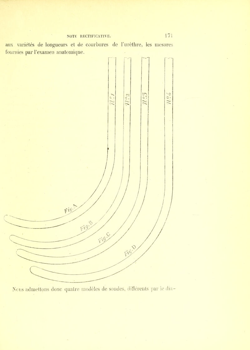 aux variétés de longueurs et de courbures de Furètlire, les mesures fournies par l’examen anatorai(|ue.