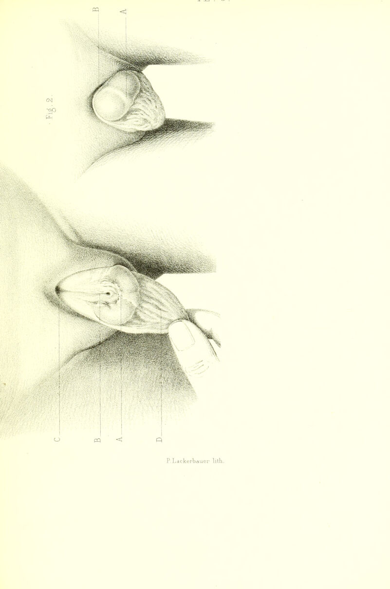 Fig. 2 m <1