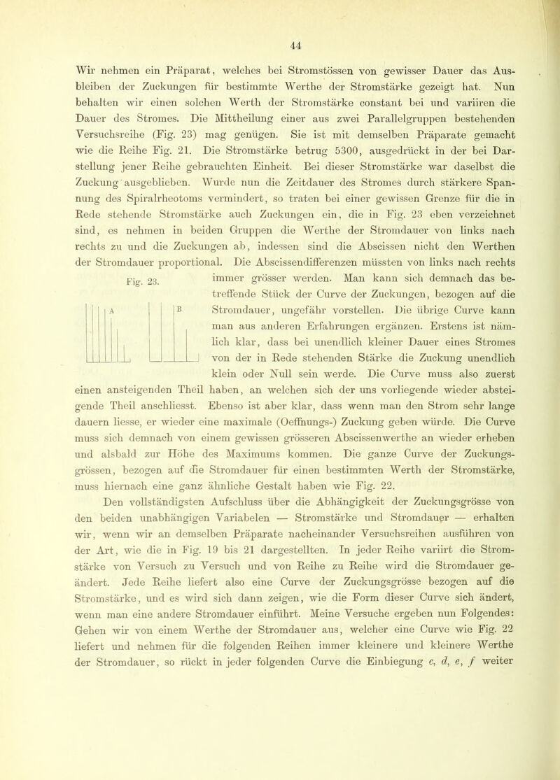 Wii’ nehmen ein Präparat, welches bei Stromstössen von gewisser Dauer das Aus- bleiben der Zuckungen für bestimmte Werthe der Stromstärke gezeigt hat. Nun behalten wir einen solchen Werth der Stromstärke constant bei und variiren die Dauer des Stromes. Die Mittheilung einer aus zwei Parallelgruppen bestehenden Versuchsreihe (Fig. 23) mag genügen. Sie ist mit demselben Präparate gemacht wie die Reihe Fig. 21. Die Stromstärke betrug 5300, ausgedrückt in der bei Dar- stellung jener Reihe gebrauchten Einheit. Bei dieser Stromstärke war daselbst die Zuckung'ausgeblieben. Wurde nun die Zeitdauer des Stromes durch stärkere Span- nung des Spiralrheotoms vermindert, so traten bei einer gewissen Grenze für die in Rede stehende Stromstärke auch Zuckungen ein, die in Fig. 23 eben verzeichnet sind, es nehmen in beiden Gruppen die Werthe der Stromdauer von links nach rechts zu und die Zuckungen ab, indessen sind die Abscissen nicht den Werthen der Stromdauer proportional. Die Abscissendilferenzen müssten von links nach rechts pjg 23 immer grösser werden. Man kann sich demnach das be- trefiende Stück der Curve der Zuckungen, bezogen auf die A B Stromdauer, ungefähr vorstellen. Die übrige Curve kann man aus anderen Erfahrungen ergänzen. Ei'stens ist näm- lich klar, dass bei unendlich kleiner Dauer eines Stromes I I I I M I I I I I von der in Rede stehenden Stärke die Zuckung unendlich klein oder Null sein werde. Die Curve muss also zuerst einen ansteigenden Theil haben, an welchen sich der uns vorliegende wieder abstei- gende Theil anschliesst. Ebenso ist aber klar, dass wenn man den Strom sehr lange dauern Hesse, er wieder eine maximale (Oeffnungs-) Zuckung geben würde. Die Curve muss sich demnach von einem gewissen gi’össeren Abscissenwerthe an wieder erheben und alsbald zur Höhe des Maximums kommen. Die ganze Curve der Zuckungs- grössen, bezogen auf die Stromdauer für einen bestimmten Werth der Stromstärke, muss hiernach eine ganz ähnliche Gestalt haben wie Fig. 22. Den vollständigsten Aufschluss über die Abhängigkeit der Zuckungsgrösse von den beiden unabhängigen Variabelen — Stromstärke und Stromdauer — erhalten wir, wenn wir an demselben Präparate nacheinander Versuchsreihen ausführen von der Art, wie die in Fig. 19 bis 21 dar gestellten. In jeder Reihe variirt die Strom- stärke von Versuch zu Versuch und von Reihe zu Reihe wird die Stromdauer ge- ändert. Jede Reihe liefert also eine Curve der Zuckungsgrösse bezogen auf die Stromstärke, und es wird sich dann zeigen, wie die Form dieser Curve sich ändert, wenn man eine andere Stromdauer einführt. Meine Versuche ergeben nun Folgendes: Gehen wir von einem Werthe der Stromdauer aus, welcher eine Curve wie Fig. 22 liefert und nehmen für die folgenden Reihen immer kleinere und kleinere Werthe der Stromdauer, so rückt in jeder folgenden Curve die Einbiegung c, d, e, f weiter