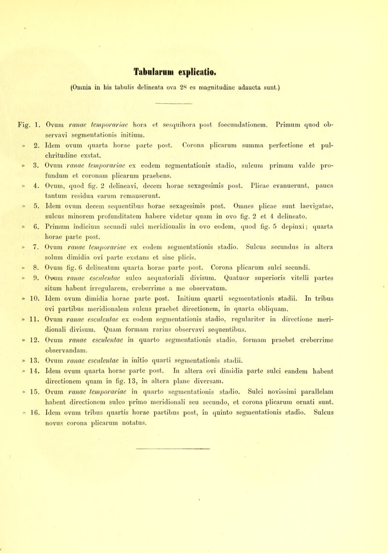 Tabularum explicatio. (Omnia in his tabulis delineata ova 28 es magnitudine adaucta sunt.) Fig. 1. Ovum ranae temporariae hora et sesquihora post foecundationem. Primum quod ob- servavi segmentationis initium. » 2. Idem ovum quarta horae parte post. Corona plicarum summa perfectione et pul- chritudine exstat. » 3. Ovum ranae temporariae ex eodem segmentationis stadio, sulcum primum valde pro- fundum et coronam plicarum praebens. » 4. Ovum, quod fig. 2 delineavi, decem horae sexagesimis post. Plicae evanuerunt, pauca tantum residua earum remanserunt. » 5. Idem ovum decem sequentibus horae sexagesimis post. Omnes plicae sunt laevigatae, sulcus minorem profunditatem habere videtur quam in ovo fig. 2 et 4 delineato. » 6. Primum indicium secundi sulci meridionalis in ovo eodem, quod fig. 5 depinxi; quarta horae parte post. » 7. Ovum ranae temporariae ex eodem segmentationis stadio. Sulcus secundus in altera solum dimidia ovi parte exstans et sine plicis. » 8. Ovum fig. 6 delineatum quarta horae parte post. Corona plicarum sulci secundi. » 9. Ovum ranae esculentae sulco aequatoriali divisum. Quatuor superioris vitelli partes situm habent irregularem, creberrime a me observatum. » 10. Idem ovum dimidia horae parte post. Initium quarti segmentationis stadii. In tribus ovi partibus meridionalem sulcus praebet directionem, in quarta obliquam. » 11. Ovum ranae esculentae ex eodem segmentationis stadio, regulariter in directione meri- dionali divisum. Quam formam rarius observavi sequentibus. » 12. Ovum ranae esculentae in quarto segmentationis stadio, formam praebet creberrime observandam. » 13. Ovum ranae esculentae in initio quarti segmentationis stadii. » 14. Idem ovum quarta horae parte post. In altera ovi dimidia parte sulci eandem habent directionem quam in fig. 13, in altera plane diversam. » 15. Ovum ranae temporariae in quarto segmentationis stadio. Sulci novissimi parallelam habent directionem sulco primo meridionali seu secundo, et corona plicarum ornati sunt. » 16. Idem ovum tribus quartis horae partibus post, in quinto segmentationis stadio. Sulcus novus corona plicarum notatus.