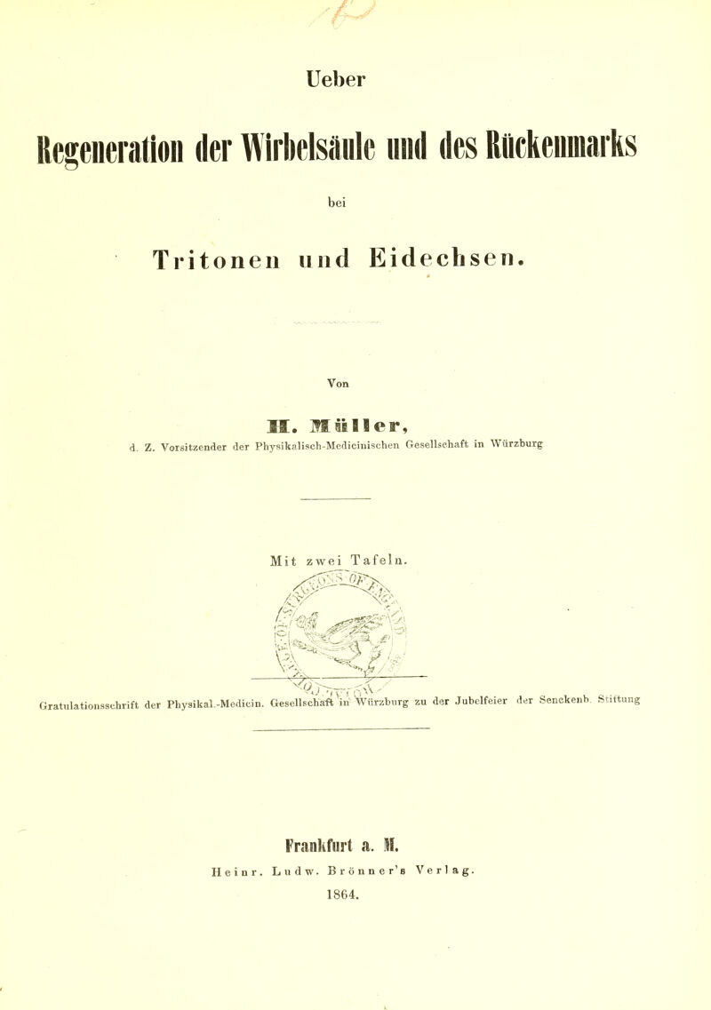 Ueber Regeneration der Wirbelsäule und des Rückenmarks bei Tritonen und Eidechsen. Von IS. Müller, d. Z. Vorsitzender der Physikalisch-Medicinischen Gesellschaft in Würzburg Mit zwei Tafeln. ?h<& P 5fr' 'vil ät ,#j **—y^~ ^ÜJ -rrT^ y Gratulationsschrift der Physikal.-Medicin. Gesellschaft in Würzburg zu der Jubelfeier der Senckenb Stiftung Frankfurt a. Bf. Ileinr. Ludw. Brönner’s Verlag. 1864.