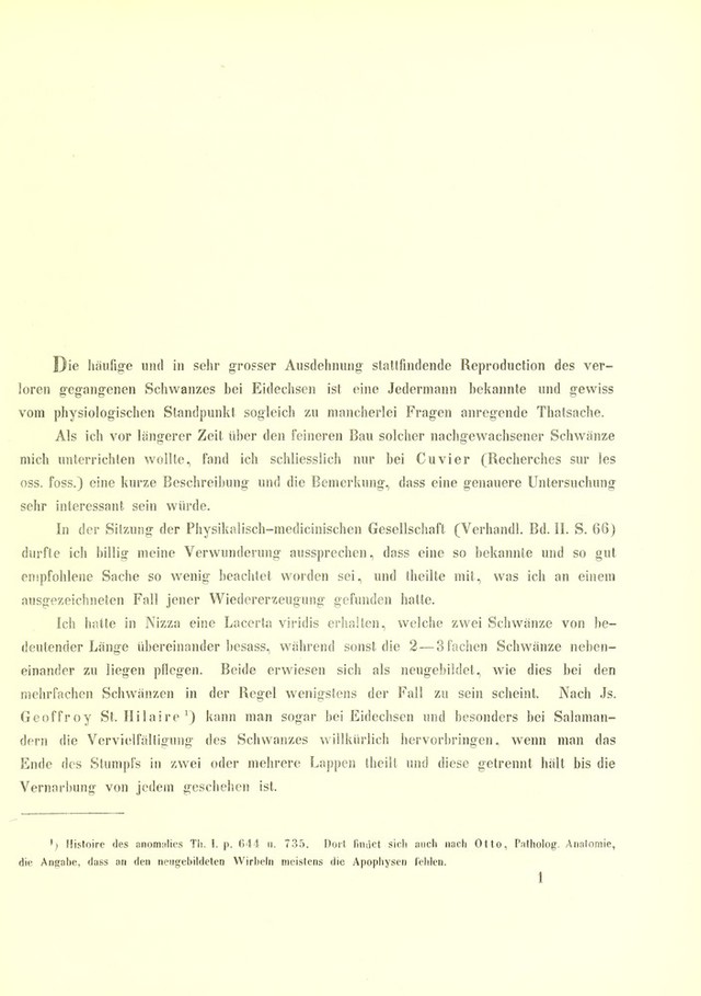 digitised image 3