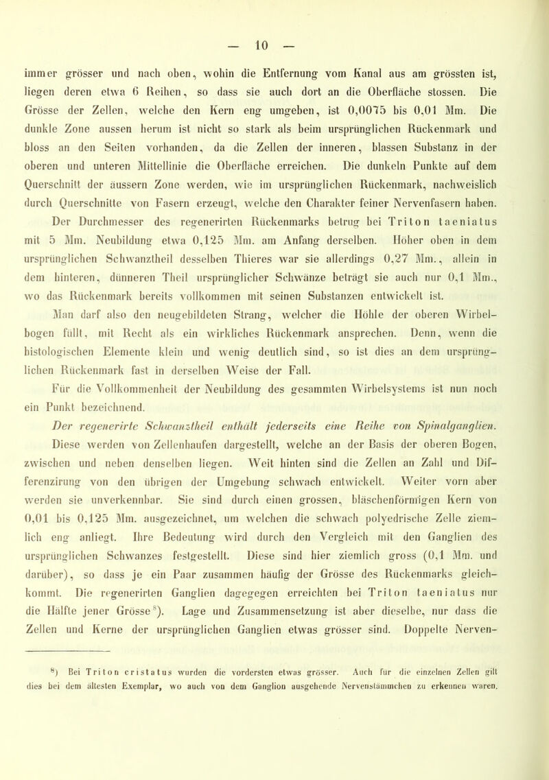 immer grösser und nach oben, wohin die Entfernung vom Kanal aus am grössten ist, liegen deren etwa 6 Reihen, so dass sie auch dort an die Oberfläche stossen. Die Grösse der Zellen, welche den Kern eng umgeben, ist 0,0075 bis 0,01 Mm. Die dunkle Zone aussen herum ist nicht so stark als beim ursprünglichen Rückenmark und bloss an den Seiten vorbanden, da die Zellen der inneren, blassen Substanz in der oberen und unteren Mittellinie die Oberfläche erreichen. Die dunkeln Punkte auf dem Querschnitt der äussern Zone werden, wie im ursprünglichen Rückenmark, nachweislich durch Querschnitte von Fasern erzeugt, welche den Charakter feiner Nervenfasern haben. Der Durchmesser des regenerirten Rückenmarks betrug bei Triton taeniatus mit 5 Mm. Neubildung etwa 0,125 Mm. am Anfang derselben. Höher oben in dem ursprünglichen Schwanztheil desselben Thieres war sie allerdings 0,27 Mm., allein in dem hinteren, dünneren Theil ursprünglicher Schwänze beträgt sie auch nur 0,1 Mm., wo das Rückenmark bereits vollkommen mit seinen Substanzen entwickelt ist. Man darf also den neugebildeten Strang, welcher die Höhle der oberen Wirbel- bogen füllt, mit Recht als ein wirkliches Rückenmark ansprechen. Denn, wenn die histologischen Elemente klein und wenig deutlich sind, so ist dies an dem ursprüng- lichen Rückenmark fast in derselben Weise der Fall. Für die Vollkommenheit der Neubildung des gesammten Wirbelsystems ist nun noch ein Punkt bezeichnend. Der regenerirte Schwanztheil enthält jederseits eine Reihe von Spinalganglien. Diese werden von Zellenhaufen dargestellt, welche an der Basis der oberen Bogen, zwischen und neben denselben liefen. Weit hinten sind die Zellen an Zahl und Dif- ferenzirung von den übrigen der Umgebung schwach entwickelt. Weiter vorn aber werden sie unverkennbar. Sie sind durch einen grossen, bläschenförmigen Kern von 0,01 bis 0,125 Mm. ausgezeichnet, um welchen die schwach polyedrische Zelle ziem- lich eng anliegt. Ihre Bedeutung wird durch den Vergleich mit den Ganglien des ursprünglichen Schwanzes festgestelll. Diese sind hier ziemlich gross (0,1 Mm. und darüber), so dass je ein Paar zusammen häufig der Grösse des Rückenmarks gleich- kommt. Die regenerirten Ganglien dagegegen erreichten bei Triton taeniatus nur die Hälfte jener Grösse8). Lage und Zusammensetzung ist aber dieselbe, nur dass die Zellen und Kerne der ursprünglichen Ganglien etwas grösser sind. Doppelte Nerven- 8) Bei Triton er i Status wurden die vordersten etwas grösser. Auch für die einzelnen Zellen gilt dies bei dem ältesten Exemplar, wo auch von dem Ganglion ausgehende Nervenstämmchen zu erkennen waren.