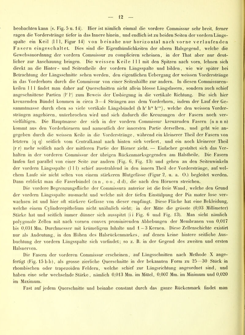 beobachten kann (s. Fig. 5 u. 14). Hier ist nämlich einmal die vordere Commissur sehr breit, ferner ragen die Vorderstränge tiefer in das Innere hinein, und endlich ist zu beiden Seiten der vordem Längs- spalte ein Keil (111, Figur 14) von beinahe nur horizontal nach vorne verlaufenden Fasern eingeschaltet. Dies sind die Eigenthümlichkeiten der obern Halsgegend, welche die Gewebsanordnung der vordem Commissur zu compliciren scheinen, in der That aber nur deut- licher zur Anschauung bringen. Die weissen Keile 11 1 mit den Spitzen nach vorn, lehnen sich direkt an die Hinter- und Seitentheile der vordem Längsspalte und bilden, wie wir später bei Betrachtung der Längsschnitte sehen werden, den eigentlichen Uebergang der weissen Vorderstränge in das Vorderhorn durch die Commissur von einer Seitenhälfte zur andern. In diesen Commissuren- keilen 1 1 1 findet man daher auf Querschnitten nicht allein blosse Längsfasern, sondern auch schief angeschnittene Partien (Y 1') zum Beweis der Umbiegung in die vertikale Richtung. Die sich hier kreuzenden Bündel kommen in circa 3—4 Strängen aus dem Vorderhorn, indem der Lauf der Ge- sammtmasse durch eben so viele vertikale Längsbündel (h h' h h'), welche den weissen Vorder- strängen angehören, unterbrochen wird und sich dadurch die Kreuzungen der Fasern noch ver- vielfältigen. Die Hauptmasse der sich in der vordem Commissur kreuzenden Fasern (n n n n) kommt aus den Vorderhörnern und namentlich der innersten Partie derselben, und geht wie an- gegeben durch die weissen Keile in die Vorderstränge, während ein kleinerer Theil der Fasern von letztem (q q) seitlich vom Centralkanal nach hinten sich verliert, und ein noch kleinerer Theil (r r) mehr seitlich nach der mittleren Partie der Hörner zieht. — Einfacher gestaltet sich das Ver- halten in der vorderen Commissur der übrigen Rückenmarksgegenden am Halstheile. Die Fasern laufen fast parallel von einer Seite zur andern (Fig. 6, Fig. 13) und gehen an den Seitenwinkeln der vordem Längsspalte (111) schief ausstrahlend in den innern Theil der Vorderstränge, auf wel- chem Laufe sie nicht selten von einem stärkeren Blutgefässe (Figur 2, u. a. 0.) begleitet werden. Dann erblickt man die Faserbündel (n n , oo, dd), die nach den Hörnern streichen. Die vordere Begrenzungsfläche der Commissura anterior ist die freie Wand, welche den Grund der vordem Längsspalte ausmacht und welche mit der tiefen Einstülpung der Pia mater lose ver- wachsen ist und hier oft stärkere Gefässe von dieser empfängt. Diese Fläche hat eine Bekleidung, welche einem Cylinderepithelium nicht unähnlich sieht; in der Mitte die grösste (0,03 Millimeter) Stärke hat und seitlich immer dünner sich ausspitzt (i i Fig. 6 und Fig. 13). Man sieht nämlich polygonale Zellen mit nach vornen convex prominirenden Abhebungen der Membranen von 0,017 bis 0,031 Mm. Durchmesser mit krümeligem Inhalte und 1—3 Kernen. Diese Zellenschichte existirt nur als Andeutung, in den Höhen des Halsrückenmarkes, auf denen keine hintere seitliche Aus- buchtung der vordem Längsspalte sich vorfindet; so z. B. in der Gegend des zweiten und ersten Halsnerven. Die Fasern der vorderen Commissur erscheinen, auf Längsschnitten nach Methode X ange- fertigt (Fig. 15 bb), als grosse zierliche Querschnitte in der bekannten Form zu 25—30 Stück in rhombischen oder trapezoiden Feldern, welche schief zur Längsrichtung angeordnet sind, und haben eine sehr wechselnde Stärke, nämlich 0,013 Mm. im Mittel, 0,007 Mm. im Minimum und 0,020 im Maximum. Fast auf jedem Querschnitte und beinahe constant durch das ganze Rückenmark findet man