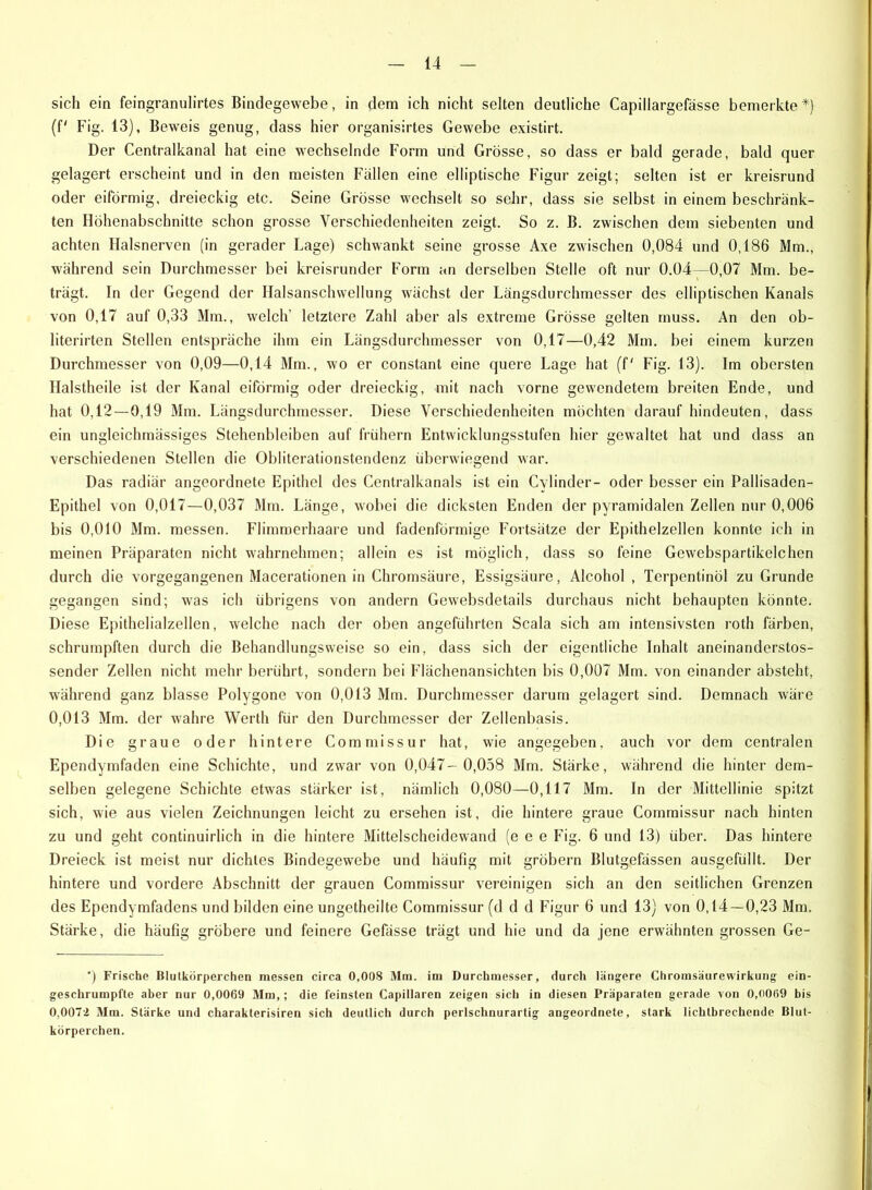 sich ein feingranulirtes Bindegewebe, in dem ich nicht selten deutliche Capillargefässe bemerkte *) (f' Fig. 13), Beweis genug, dass hier organisirtes Gewebe existirt. Der Centralkanal hat eine wechselnde Form und Grösse, so dass er bald gerade, bald quer gelagert erscheint und in den meisten Fällen eine elliptische Figur zeigt; selten ist er kreisrund oder eiförmig, dreieckig etc. Seine Grösse wechselt so sehr, dass sie selbst in einem beschränk- ten Höhenabschnitte schon grosse Verschiedenheiten zeigt. So z. B. zwischen dem siebenten und achten Ilalsnerven (in gerader Lage) schwankt seine grosse Axe zwischen 0,084 und 0,186 Mm., während sein Durchmesser bei kreisrunder Form an derselben Stelle oft nur 0.04 -0,07 Mm. be- trägt. In der Gegend der Halsanschwellung wächst der Längsdurchmesser des elliptischen Kanals von 0,17 auf 0,33 Mm., welch’ letztere Zahl aber als extreme Grösse gelten muss. An den ob- literirten Stellen entspräche ihm ein Längsdurchmesser von 0,17—0,42 Mm. bei einem kurzen Durchmesser von 0,09—0,14 Mm., wo er constant eine quere Lage hat (f' Fig. 13). Im obersten Halstheile ist der Kanal eiförmig oder dreieckig, mit nach vorne gewendetem breiten Ende, und hat 0,12—0,19 Mm. Längsdurchmesser. Diese Verschiedenheiten möchten darauf hindeuten, dass ein ungleichrnässiges Stehenbleiben auf frühem Entwicklungsstufen hier gewaltet hat und dass an verschiedenen Stellen die Obliterationstendenz überwiegend war. Das radiär angeordnete Epithel des Centralkanals ist ein Cylinder- oder besser ein Pallisaden- Epithel von 0,017—0,037 Mm. Länge, wobei die dicksten Enden der pyramidalen Zellen nur 0,006 bis 0,010 Mm. messen. Flimmerhaare und fadenförmige Fortsätze der Epithelzellen konnte ich in meinen Präparaten nicht wahrnehmen; allein es ist möglich, dass so feine Gewebspartikelchen durch die vorgegangenen Macerationen in Chromsäure, Essigsäure, Alcohol , Terpentinöl zu Grunde gegangen sind; was ich übrigens von andern Gewebsdetails durchaus nicht behaupten könnte. Diese Epithelialzellen, welche nach der oben angeführten Scala sich am intensivsten roth färben, schrumpften durch die Behandlungsweise so ein, dass sich der eigentliche Inhalt aneinanderstos- sender Zellen nicht mehr berührt, sondern bei Flächenansichten bis 0,007 Mm. von einander absteht, während ganz blasse Polygone von 0,013 Mm. Durchmesser darum gelagert sind. Demnach wäre 0,013 Mm. der wahre Werth für den Durchmesser der Zellenbasis. Die graue oder hintere Commissur hat, wie angegeben, auch vor dem centralen Ependymfaden eine Schichte, und zwar von 0,047- 0,058 Mm. Stärke, während die hinter dem- selben gelegene Schichte etwas stärker ist, nämlich 0,080—0,117 Mm. In der Mittellinie spitzt sich, wie aus vielen Zeichnungen leicht zu ersehen ist, die hintere graue Commissur nach hinten zu und geht continuirlich in die hintere Mittelscheidewand (e e e Fig. 6 und 13) über. Das hintere Dreieck ist meist nur dichtes Bindegewebe und häufig mit grobem Blutgefässen ausgefüllt. Der hintere und vordere Abschnitt der grauen Commissur vereinigen sich an den seitlichen Grenzen des Ependymfadens und bilden eine ungetheilte Commissur (d d d Figur 6 und 13) von 0,14—0,23 Mm. Stärke, die häufig gröbere und feinere Gefässe trägt und hie und da jene erwähntengrossen Ge- ') Frische Blutkörperchen messen circa 0,008 Mm. im Durchmesser, durch längere Chrorasäurewirkung ein- geschrumpfte aber nur 0,0069 Mm,; die feinsten Capillaren zeigen sich in diesen Präparaten gerade von 0,0069 bis 0,002 Mm. Stärke und charakterisiren sich deutlich durch perlschnurartig angeordnete, stark lichtbrechende Blut- körperchen.